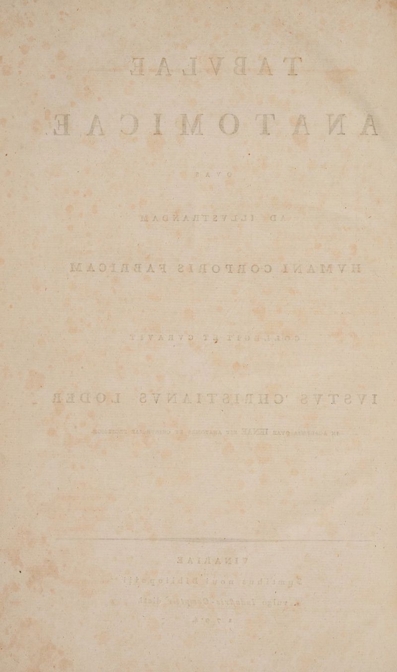 . * Ae E NMeNEV, ug a 77 P mn NP v  Ea * Miet ra o do : tunc. PE s E &amp; CNOUUt  auteurs da AC ME esce» 210 At Pe 5^ i afi ON: e Aer de. e EM IM D du € m7 LA OPEP T i $. » E-. AN ANNE . ASENS, AT vla 7 dio : MN ik Ue Mn : » IU y ES E uec - es ; d .'o|'U - aus cif uo d y ] L 7 £ e &amp; LI rL s d Uu 9,34 ^ g » 7 : y  M e e : T A » ! E «^ : E | usd e io doe E. z | ) É ; a | : » | : APO TE RIMOTAMA TDI SLADAAI &amp;AYOOAUWGRGAOAC WES. o   , j  7 c / * . ^ia AM E $ vt ua T6os uL VUE. d »3 xk obf S a e á » em P » * . * e DR 2 « SS, eomm zt S M yr rU » Pt pt wu o.