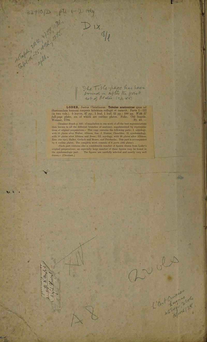 942 TO fan c deese v. Zu hs pe E P4 ncs Chev) with 15 anis after Walter, E with 10 plates after Albinus. and Bonn; II . Zinn (the eye), Haller, Gerlach and] by 6 outline. ae The vs aM syndesmologic re drawn.» (Choulant.)