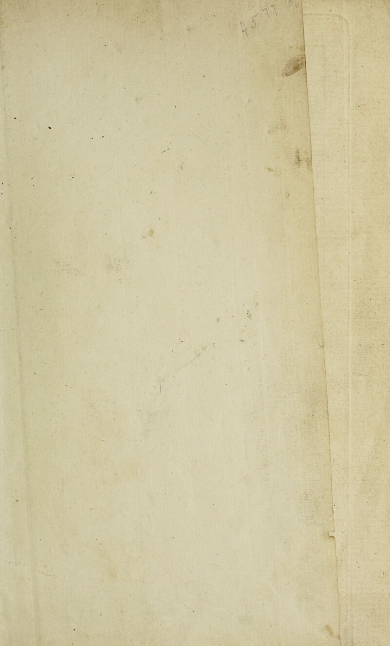 y . ? > •- ' . ■ * , ‘.4. • v ' 1 1 . -a-' „ - v • 1 * ■ -2 . ■ , . t. x. • • } . • • *, i 1