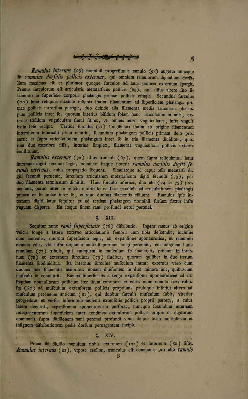 Ramullti internus (68) nonnihil progreffus a ramulo (98) augetur nuncque fit ramulus dorfalis pollicis externus, qui omnium ramulorum digitalium dorfa- lium maximus eft et plurimos quoque furculos ad latus pollicis externum fpargit* Primus furculorum eft articularis metatarficus pollicis (69), qui fiffus altero fuo fi¬ lamento in fuperficie corporis phalangis primae pollicis effugit. Secundus furculus (70) inter reliquos maxime infignis ftatim filamentum ad fuperficiem phalangis pri¬ mae pollicis introrfum porrigit, duo deinde alia filamenta media articularia phalan- gum pollicis inter fe, quorum interius bifidum folam hanc articulationem adit ^ ex¬ terius trifidum vnguiculare limul fit et, vti omnes nervi vnguiculares , infra vnguis bafin fefe recipit. Tertius furculus (71) longiffimus ftatim ab origine filamentum interofleum interualli primi emittit, fecundum phalangem pollicis primam dein pro¬ currit et fiipra articulationem phalangum inter fe in tria filamenta diuiditur, quo¬ rum duo exteriora fiffa, interius fimplex, filamenta vnguicularia pollicis externa conftituunt. Ramulus externus (72) iftius trunculi (67), quem fupra reliquimus, latus internum digiti fecundi legit, nominari itaque poterit ramulus dorfalis digiti fe- eundi internus, cuius propagatio fequens. Simulatque ad caput olfis metatarfi di¬ giti fecundi peruenit, furculum articularem metatarficum digiti fecundi (73), per duo filamenta terminatum dimittit. Huic furculo inferius, duo alii (74 et 75) pro- ueniunt, paruo inter fe relido interuallo et fere paralleli ad articulationem phalangis primae et fecundae inter fe, vterque duobus filamentis effluunt. Ramulus ipfe in¬ ternum digiti latus fequitur et ad tertiam phalangem nonnihil furfum flexus infra ynguem disparet. En itaque finem rami profundi nerui peronei. §. XIII. Sequitur nunc rami fllperfidalis (76) diftributio. Ingens ramus ab origine Vnicus longe a latere externo articulationis femoris cum tibia defeendit, inclufus cum mufculis, quorum fuperficiem legit, ab expanfione aponeurotica, et ramulum demum edit, vbi infra originem mufculi peronei longi peruenit, cui infignem hunc ramulum (77) tribuit, qui antequam in mufculum fe immergit, primum in inter¬ num (78) et externum furculum (79) finditur, quorum quilibet in duo iterum filamenta fubdiuiditur. Ita internus furculus mufculum intrat; externus vero cum duobus fuis filamentis maioribus nouam diuifionem in duo minora init, quibuscum mufculo fe committit. Ramus fuperficialis a tergo expanfionis aponeuroticae ad di- ftantiam nonnullorum pollicum iter fuum continuat et editis nunc ramulo fatis robu- Ito (80) ad mufculum extenforem pollicis proprium, pauloque inferius altero ad mufculum peroneum anticum (81)5 qui duobus furculis mufculum fubit, vlterius progreditur et verfus inferiorem mufculi extenforis pollicis proprii partem, a cuius latere decurrit, expanfionem aponeuroticam perforat, nuncque fecundum internam integumentorum fuperficiem inter tendines extenforum pollicis proprii et digitorum communis fupra diuifionem rami peronei profundi venit ibique luam multiplicem et infignem diftributionem pedis dorfum peruagantem incipit. , §. XIV. Prima ibi diuifio ramulum nobis externum (102) et internum (82) fiftit. Ramulus internus (82), vtpote craffior, trunculus eft communis pro alio ramulo B