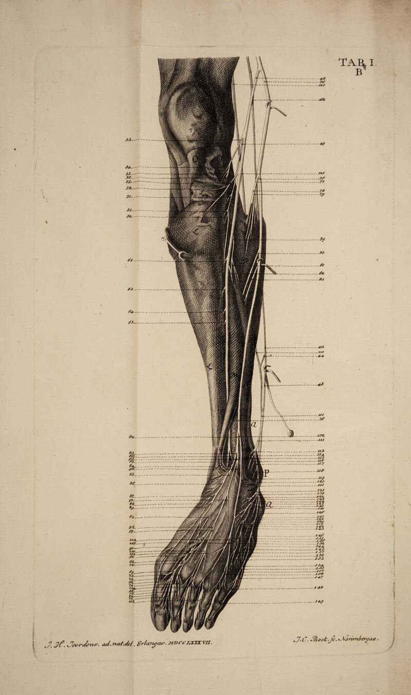 Tari. i J. 3f. JoerJetu?- aJ.rurf-.Jel. grUtyae. JMBCCZXXZVTI. , J. C. d&ock-Ji.^orunierttat i