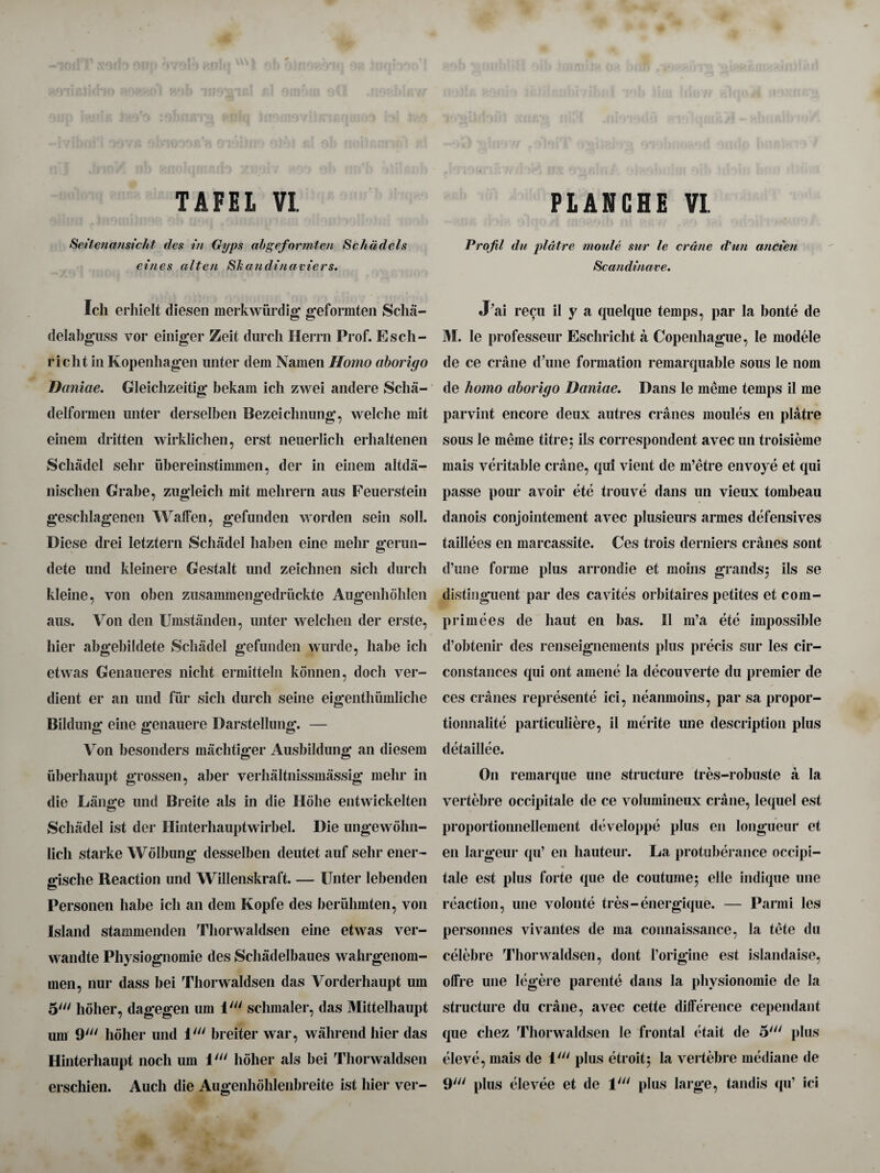 Seitenansicht des in Gyps abgeformten Scitadels eines alten Sh a u din a v ie rs. Icli erhielt diesen merkwiirdig geformten Scha- delabguss vor einiger Zeit durcli Herrn Prof. Esch- richt in Kopenhagen unter dem Namen Homo aborigo Daniae. Gleichzeitig bekam icli zwei andere Scha- delfonnen unter derselben Bezeiclmung, welche mit einem dritten wirklichen, erst neuerlich erlialtenen Scliadcl sebr iibereinstimmen, der in einem altda- nisclien Grabe, zugleich mit melirern aus Feuerstein geschlagenen Waffen, gefunden worden sein soli. Diese drei letztern Scliadel liaben eine mehr geruu- dete und kleinere Gestalt und zeichnen sicli durcli kleine, von oben zusammengedriickte Augenhohlcn aus. Von den Umstanden, unter welclien der erste, bier abgebildete Scliadel gefunden wurde, babe icli etvvas Genaueres niclit ermitteln konnen, dock ver- dient er an und fur sicli durch seine eigentliumliche Bildung eine genauere Darstellung. — Von besonilers machtiger Ausbildung an diesem iiberliaupt grossen, aber verhaltnissmassig mehr in die Lange und Breite als in die Hdhe entwickelten Schadel ist der Hinterhauptwirbel. Die ungevvdlin- licli starke Wolbung desselben deutet auf sebr ener- gische Reaction und Willenskraft-Unter lebenden Personen babe icb an dem Kopfe des berubmten, yon Island stammenden Tborwaldsen eine etwas ver- wandte Pbysiognomie des Schadelbaues wahrgenom- men, nur dass bei Tborwaldsen das Vorderhaupt um 5' holier, dagegen um illt sclimaler, das Mittelhaupt um 9y// holier und itu breiter war, wabrendbier das Hinterhaupt nocli um I' holier als bei Tborwaldsen erschien. Audi die Augenhbhlenbreite ist bier yer- Profil dn pldtre motile stir le crane d'un ancien Scandinave. J’ai recu il y a quelque temps, par la bonte de M. le professeur Escbricbt a Copenhague, le modele de ce crane dhme formation remarquable sous le nom de homo aborigo Daniae. Dans le meme temps il me parvint encore deux autres cranes monies en platre sous le meme titre^ ils correspondent avec un troisieme mais veritable crane, qui vient de m’etre envoye et qui passe pour avoir ete trouve dans un vieux tombeau danois conjointement avec plusieurs armes defensives taillees en marcassite. Ces trois derniers cranes sont d’une forme plus arrondie et moins grands; ils se distinguent par des cavites orbitaires petites et com- primees de baut en bas. 11 m’a ete impossible d’obtenir des renseignements plus precis sur les cir- constances qui ont amene la decouverte du premier de ces cranes represente ici, neanmoins, par sa propor- tionnalite particuliere, il merite une description plus detaillee. On remarque une structure tres-robuste a la vertebre occipitale de ce volumineux crane, lequel est proportionnellement developpe plus en longueur et en largeur qu’ en hauteur. La protuberance occipi¬ tale est plus forte que de coutume; elle indique une reaction, une volonte tres-energique. — Parmi les personnes vivantes de ma connaissance, la tete du celebre Tborwaldsen, dont l’origine est islandaise, olfre une legere parente dans la pbysionomie de la structure du crane, avec cette difference cependant que chez Tborwaldsen le frontal etait de 5/y/ plus eleve, mais de 1' plus etroit; la vertebre mediane de 9y// plus elevee et de \li> plus large, tandis qu’ ici