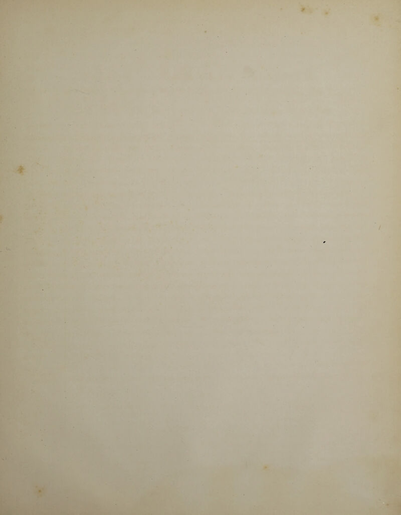 - - . . * ' /. §V -