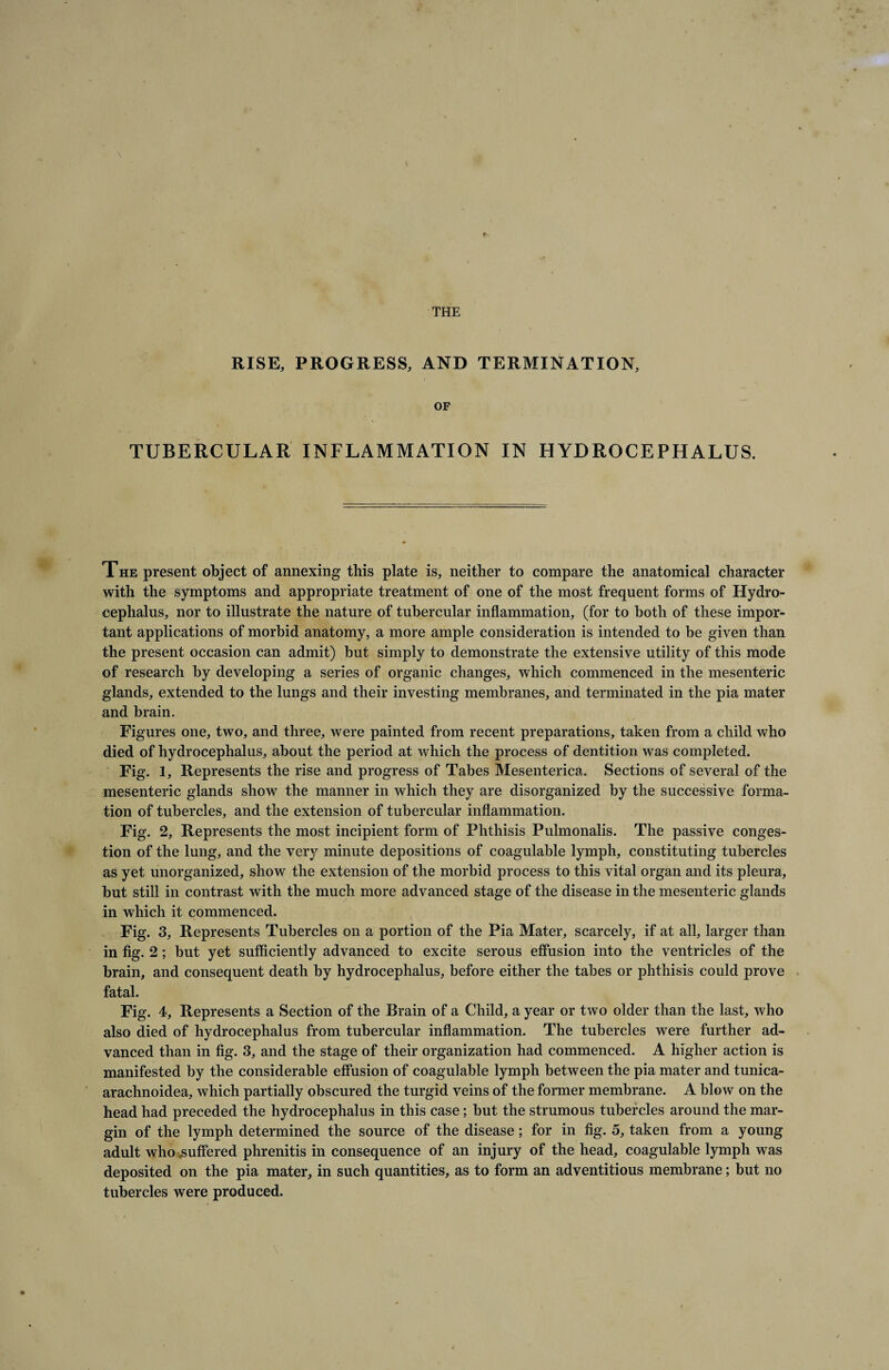 THE RISE, PROGRESS, AND TERMINATION, OF TUBERCULAR INFLAMMATION IN HYDROCEPHALUS. The present object of annexing this plate is, neither to compare the anatomical character with the symptoms and appropriate treatment of one of the most frequent forms of Hydro¬ cephalus, nor to illustrate the nature of tubercular inflammation, (for to both of these impor¬ tant applications of morbid anatomy, a more ample consideration is intended to be given than the present occasion can admit) but simply to demonstrate the extensive utility of this mode of research by developing a series of organic changes, which commenced in the mesenteric glands, extended to the lungs and their investing membranes, and terminated in the pia mater and brain. Figures one, two, and three, were painted from recent preparations, taken from a child who died of hydrocephalus, about the period at which the process of dentition was completed. Fig. 1, Represents the rise and progress of Tabes Mesenterica. Sections of several of the mesenteric glands show the manner in which they are disorganized by the successive forma¬ tion of tubercles, and the extension of tubercular inflammation. Fig. 2, Represents the most incipient form of Phthisis Pulmonalis. The passive conges¬ tion of the lung, and the very minute depositions of coagulable lymph, constituting tubercles as yet unorganized, show the extension of the morbid process to this vital organ and its pleura, but still in contrast with the much more advanced stage of the disease in the mesenteric glands in which it commenced. Fig. 3, Represents Tubercles on a portion of the Pia Mater, scarcely, if at all, larger than in fig. 2; but yet sufficiently advanced to excite serous effusion into the ventricles of the brain, and consequent death by hydrocephalus, before either the tabes or phthisis could prove fatal. Fig. 4, Represents a Section of the Brain of a Child, a year or two older than the last, who also died of hydrocephalus from tubercular inflammation. The tubercles were further ad¬ vanced than in fig. 3, and the stage of their organization had commenced. A higher action is manifested by the considerable effusion of coagulable lymph between the pia mater and tunica- arachnoidea, which partially obscured the turgid veins of the former membrane. A blow on the head had preceded the hydrocephalus in this case; but the strumous tubercles around the mar¬ gin of the lymph determined the source of the disease; for in fig. 5, taken from a young adult who .suffered phrenitis in consequence of an injury of the head, coagulable lymph was deposited on the pia mater, in such quantities, as to form an adventitious membrane; but no tubercles were produced.