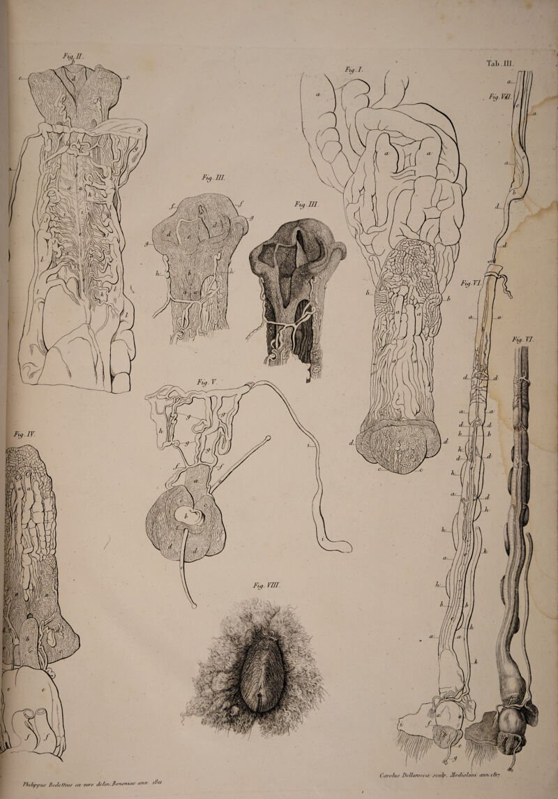 Caro huc D&Ihiwcoav scufp. Mediolani' cauvitk’] Phihp-puiT Bedettius <xc vero i/e fin. Bononiae anri u u