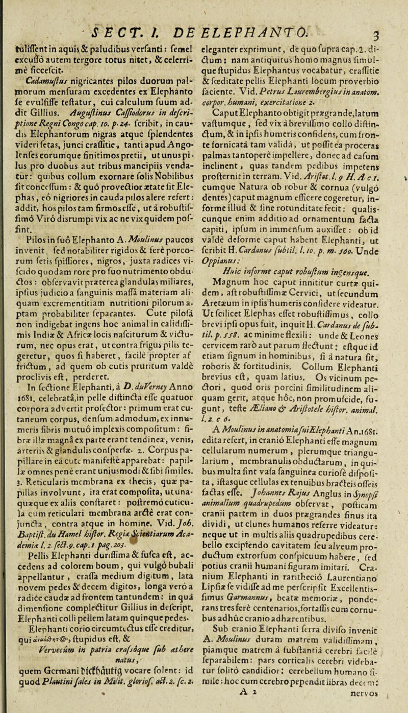 tuliflent in aquis &amp; paludibus verfanti: femel cxcuflo autem tergore totus nitet, &amp; celerri¬ me ficcefcit. Cadamuflus nigricantes pilos duorum pal¬ morum menfuram excedentes ex Elephanto (e evulfiffe teftatur, cui calculum fuum ad¬ dit Gillius. Auguflinus Cajfodorus in deferi- ptione Regni Congocap. io. p• 24• feribit, in cau¬ dis Elephantorum nigras atque fplendentcs videri fetas, junci craffitie, tanti apud Ango* lenfcscorumque finitimos pretii, utunuspi- lus pro duobus aut tribus mancipiis venda¬ tur: quibus collum exornare folis Nobilibus lit concefium : &amp;quo pro vedior aetate fit Ele¬ phas , eo nigriores in cauda pilos alere refert: addit, hos pilos tam firmos ede, utarobuftif- limo Virodisrumpi vix ac ne vixquidem pof- fint. Pilos in fuo Elephanto A. Moulinus paucos invenit, fed notabiliter rigidos &amp; fere porco¬ rum fetis fpiffiores, nigros, juxta radices vi- fcidoquodam rore pro fuonutrimentoobdu- «flos: obfervavitpratercaglandulasmiliares, ipfius judicioa fanguinis mafla materiam ali¬ quam excrementitiam nutritioni pilorum a- ptam probabiliter feparantes. Cute pilofa non indigebat ingens hoc animal in calidiffi- mis Indiae &amp; Africae locis nafeiturum &amp; vidu- rum, nec opus erat, utcontra frigus pilis te¬ geretur, quos fi haberet, facile propter af iridum , ad quem ob cutis pruritum valde proclivis eft, perderet. In fedione Elephanti, a D. duVerney Anno 16S1. celebrata,in pelle diftinda cfle quatuor corpora advertit profedor: primum erat cu¬ taneum corpus, denfum admodum, ex innu¬ meris fibris mutuo implexis compofitum : fi¬ brae illa magna ex parte erant tendinea’, venis, arteriis &amp; glandulisconfperfae- 2. Corpus pa¬ pillare in ea cute mamfeile apparebat: papil¬ la omnes pene erant uniusmodi &amp; libi limiles. 3. Reticularis membrana ex thecis, quae pa¬ pillas involvunt, ira erat compofita, ut una¬ quaque ex aliis conftaret: poftremdcuticu¬ la cum reticulari membrana arde erat con- junda, contra atque in homine. Vid.Joh. Baptifl. du Bamel hiflor. Regis. Scientiarum Aca¬ demi s l. 2. feti.9. cap. / pag. 203. Pellis Elephanti durifiima&amp; fufea eft, ac¬ cedens ad colorem boum, qui vulgo bubali appellantur, craffa medium digitum, lata novem pedes &amp; decem digitos, longa vero a radiCe caudar ad frontem tantundem: in qua dimenfione compleditur Gillius in defeript. Elephanti colli pellem latam quinque pedes* Elephanti corio circumtidus die creditur, quidvciicSriT&amp;y ftupidus eft, &amp; Vervecum in patria crafoque fub st here natus quem Germani vocare folent: id quod Plautini fales in Mi!it. gloriof atf. 2. fc, 2, eleganter exprimunt, de quo fupra cap. 2. di* dum: nam antiquitus homo magnus fimul- que ftupidus Elephantus vocabatur, craffitie &amp; foeditate pellis Elephanti locum proverbio faciente. Vid. Petrus Laurembergius in anatom. corpor. humani, exercitatione 2. Caput Elephanto obtigit praegrande, latum vaftumque , fed vix a breviffimo collo diftin- dum, &amp; in ipfis humeris confidens, cum fron¬ te fornicata tam valida, ut poflit ea proceras palmas tantopere impellere, donec ad cafum inclinent, quas tandem pedibus impetens profternitin terram. Vid. Arijlot.l. 9 H.A c.r, cumque Natura ob robur &amp; cornua (vulgo dentes) caput magnum efficere cogeretur, in¬ forme illud &amp; fine rotunditate fecit: qualis¬ cunque enim additio ad ornamentum fada capiti, ipfum in immenfum auxiffet: ob id valde deforme caput habent Elephanti, ut feribit H.Cardanus fitbtil. 1.10. p. m. s6o. Unde Oppianus: Huic informe caput robuflum ingens que. Magnum hoc caput innititur curt* qui¬ dem, aftrobuftillima: Cervici, ut fecundum Aretaeum in ipfis humeris confidere videatur. Ut fcilicet Elephas effet robuftiffimus, collo brevi ipfi opus fuit, inquit H. Cardanusde fub- til.p.ssS. ac minime flexili: unde &amp; Leones cervicem raro aut parum fledunt j eftque id etiam fignum in hominibus, fi a natura fit, roboris &amp; fortitudinis. Collum Elephanti brevius eft, quam latius. Os vicinum pe¬ dori , quod oris porcini fimilitudinem ali¬ quam gerit, atque hoc,non promufeide, fu- gunt, tcfte Mliatto &amp; Ariflotele hiflor. animal. 1.2. c 6» A Moultnus in anatomiafuiElephanti A n.i 6S1. edita refert, in cranio Elephanti efie magnum cellularum numerum , plerumque triangu¬ larium , membranulisobdudarum, in qui¬ bus multa iint vafa fanguinea curiofe difpoli- ta, iftasquc cellulas ex tenuibus bradeis ofieis facias efie. Johannes Rajus Anglus in Synopfi animalium quadrupedum obfervat, pofticam cranii partem in duos praegrandes finus ita dividi, ut clunes humanos referre videatur: neque ut in multis aliis quadrupedibus cere¬ bello excipiendo cavitatem feu alveum pro- dudum extrorfum confpicuum habere, fed potius cranii humani figuram imitari. Cra¬ nium Elephanti in rarithecio Laurentiano Lipfiacfe vidifleadme pcrfcripfit Exccllentis- fimus Garmannus, beatae memoriae, ponde¬ rans tres fere centenarios,fortaffis cura cornu- bus adhuc cranioadbaerentibus. Sub cranio Elephanti ferra divifo invenit A. Moulinus duram matrem validiUlmam , piamque matrem a (ubftantia cerebri facile feparabilem: pars corticalis cerebri videba¬ tur (olito candidior: cerebellum humano li- nule: hoc cum cerebro pependit libras dect m: A 1 nervos