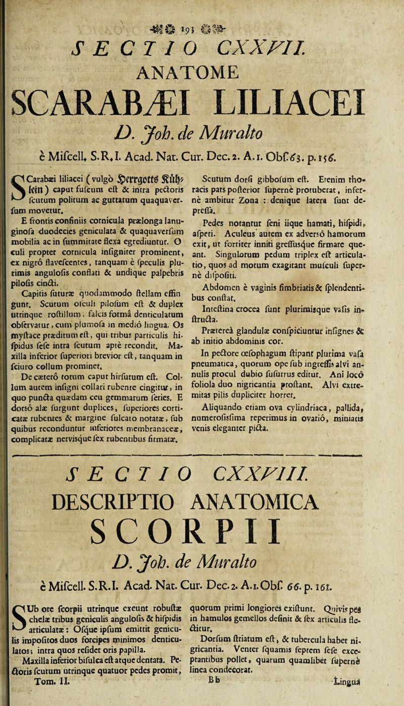 -*§i@ 19i $8&gt;Wr SE C7IO CXX/7J. ANATOME SCARABAEI LILIACEI D. Joh. de Muralto £ Mifcelb S.R*I. Acad. Nat. Cur. Dec.2. A.r. Obf &lt;^3. p. SCarabaei liliacei ( vulgo jpcrnjOtfg kin ) eaput fufeum eft &amp; intra pedoris fcutum politum ae guttatum quaquaver- fum movetur. E frontis confiniis cornicula praelonga lanu- ginofa duodecies geniculata &amp; quaquaverfum mobilia ac in fummitate flexa egrediuntur. O culi propter cornicula infigniter prominent, cx nigro flavcfeentcs, tanquam e fpeculis plu¬ rimis angulofis conflati &amp; undique palpebris pilofls cindi. Capitis futurae quodammodo ftellam effin gunr. Scutum olculi pilofum eft &amp; duplex utrinque roftillum . falcis forma denticulatum obfervatur, cum plumofa in medio lingua. Os myftace prxditum eft, qui tribus particulis hi- fpidus fefe intra fcutum apte recondit. Ma¬ xilla inferior fupenori brevior eft, tanquam in fciuro collum prominer. De caetero totum caput hirfutum eft. Col¬ lum autem infigni collari rubente cingitur, in quo punda quadam ceu gemmarum feries. E dorso alae furgunt duplices, fuperiorcs corti¬ catae rubentes &amp; margine fulcato notatae, fub quibus reconduntur inferiores membranaceae, complicatae nervisque fex rubentibus firmatae. Scutum dorfi gibbofum eft. Etenim tho* racis pars pofterior fuperne protuberat, infer¬ ne ambitur Zona : denique latera funt de- prefla. Pedes notantur feni iique hamati, hifpidi, afperi. Aculeus autem ex adverso hamorum exit, ut fortiter inniti greflus^uc firmare que¬ ant. Singulorum pedum triplex eft articula¬ tio, quos ad motum exagitant mufculi fuper¬ ne difpofiti. Abdomen e vaginis fimbriatis &amp; fplendenti- bus conflat. Inteftina crocea funt plurimisque vafis in- ftruda. Pranerei glandulae confpiciuntur infignes &amp; ab initio abdominis cor. In pedore oefophagum ftipant plurima vafa pneumatica, quorum ope fub ingreffisalvi an- nulis procul dubio fufurrus editur. Ani locd foliola duo nigricantia proflant. Alvi extre¬ mitas pilis dupliciter horret. Aliquando etiam ova cylindriaca, pallida, numerofisflma reperimus in ovario, minians venis eleganter pida. se ciio cxxriii DESCRIPTIO ANATOMICA SCORPII D. Joh. de Muralto c Mifcell. S.R.I. Acad. Nac. Cur. Dec.2. A.i.ObC 66. p. i6t. SUb ore fcorpii utrinque exeunt robuftae quorum primi longiores exiftunt. Quivi* peg chelae tribus geniculis angulofis &amp; hifpidis in hamulos gemellos definit &amp; flx articulis fle- articulatae: Ofque ipfum emittit genicu- ditur. lis impolitos duos forcipes minimos dentieu- Dorfum ftriatum eft, &amp; tubercula habet ni- latosj intra quos refidet oris papilla. gricantia. Venter fquamis feptem fefe exce- Maxilla inferior bifulca eft atque dentata. Pe- ptantibus pollet, quarum quamlibet fuperne! doris fcutum utrinque quatuor pedes promit, linea condecorat,