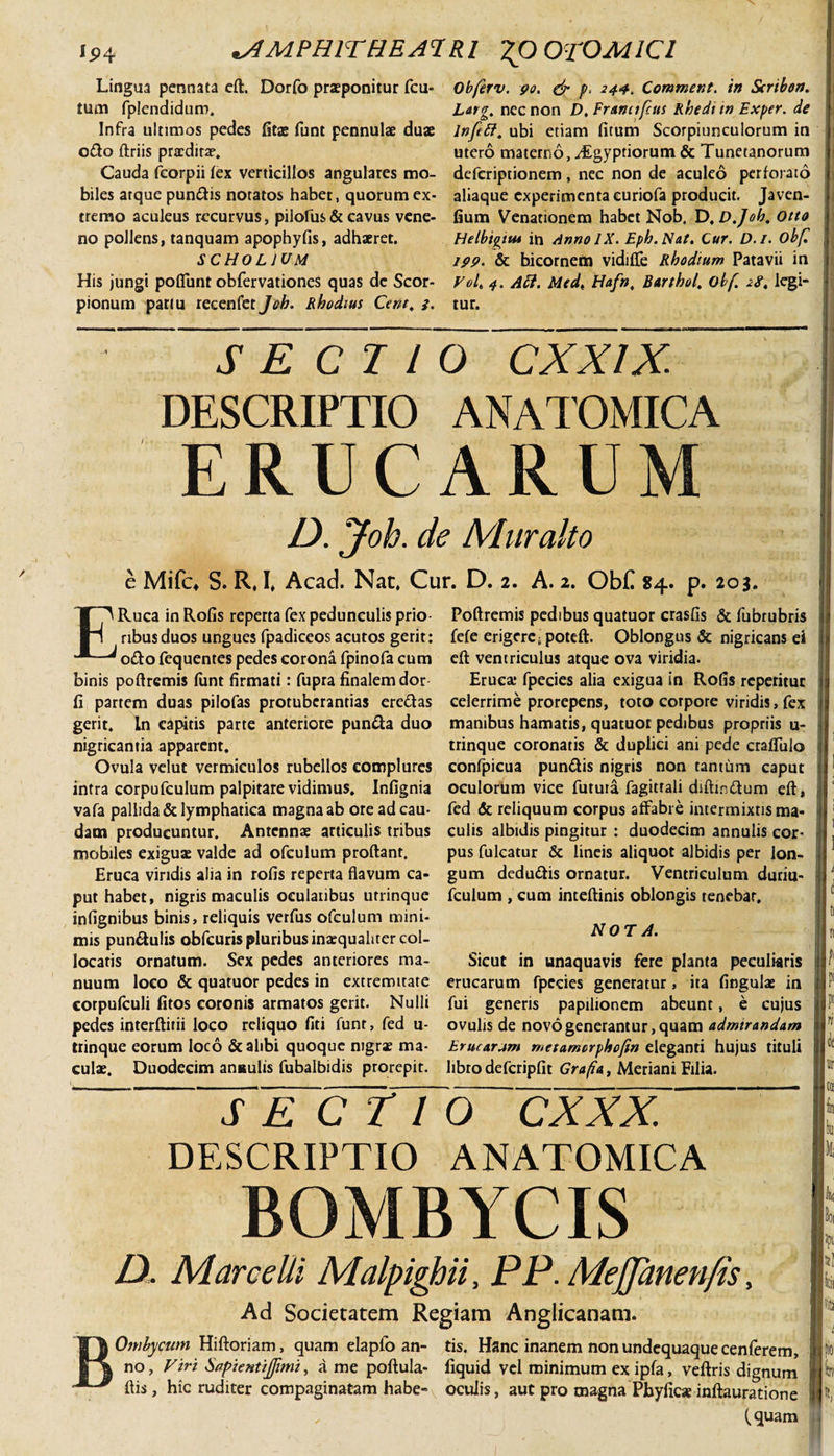 ip4 ^AMPHITHEATRI 20 0T0MICI Lingua pennata efl. Dorfo praeponitur fcu- tum fplendidum. Infra ultimos pedes fitae funt pennulae duae odo flriis praedirae. Cauda feorpii fex verticillos angulares mo¬ biles arque pundis notatos habet, quorum ex¬ tremo aculeus recurvus, pilofus &amp; cavus vene¬ no pollens, tanquam apophyfis, adhaeret. SCHOLJUM His jungi poflfunt obfervationes quas de Scor¬ pionum partu recenfet Joh. Rhodius Cent, i. Obferv. 90. &amp; p‘ Comment. in Scribon. L&amp;rg. nec non D. Fmnufcus Rhedi in Exper. de lnfett. ubi etiam fitum Scorpiunculorum in utero materno, jLgyptiorum &amp; Tunetanorum deferiptionem, nec non de aculeo perforato aliaque experimenta curiofa producit. Javen- fium Venationem habet Nob. D.D.Job, Otto Helbigttu in Anno IX. Eph.Naf. Cur. D.i. obfl 199. &amp; bicornem vidiffe Rhodium Patavii in VoU 4. Att. Med, Hafn, Bartholobf. 2S, legi¬ tur. SECTIO CXX1X DESCRIPTIO ANATOMICA ERUCARUM D. Joh. de Muralto e Mifc% S. R, I, Acad. Nat, Cur. D. 2. A. 2. ObC 84. p. 203. ERuca in Rofis reperta fex pedunculis prio nbusduos ungues fpadiceos acutos gerit: odo fequentes pedes corona fpinofa cum binis poflremis funt firmati: fupra finalem dor fi partem duas pilofas protubcrantias eredas gerit. In capitis parte anteriore punda duo nigricantia apparent. Ovula velut vermiculos rubellos complures intra corpufculum palpitare vidimus. Infignia vafa pallida &amp; lymphatica magna ab ore ad cau¬ dam producuntur. Antennae articulis tribus mobiles exiguse valde ad ofculum proflant. Eruca viridis alia in rofis reperta flavum ca¬ put habet, nigris maculis ocularibus utrinque infignibus binis, reliquis verfus ofculum mini¬ mis pundulis obfcuris pluribus inaequaliter col¬ locatis ornatum. Sex pedes anteriores ma¬ nuum loco &amp; quatuor pedes in extremitate corpufculi fitos coronis armatos gerit. Nulli pedes interflitii loco reliquo fiti funt, fed u- trinque eorum loco &amp; alibi quoque nigrae ma¬ culae. Duodecim angulis fubalbidis prorepit. Poftremis pedibus quatuor crasfis &amp; fubrubris fefe erigere; potefl. Oblongus &amp; nigricans ei efl ventriculus atque ova viridia. Eruca: fpecies alia exigua in Rofis repetitur celerrime prorepens, toto corpore viridis, fex manibus hamatis, quatuor pedibus propriis u- trinque coronatis &amp; duplici ani pede craffulo confpieua pundis nigris non tantum caput oculorum vice fututa fagittali diflindum efl, fed &amp; reliquum corpus affabre intermixtis ma¬ culis albidis pingitur : duodecim annulis cor¬ pus fulcatur &amp; lineis aliquot albidis per lon¬ gum dedudis ornatur. Ventriculum duriu- fculum , cum inteflinis oblongis tenebar. NOTA. Sicut in unaquavis fere planta peculiaris erucarum fpecies generatur, ita fingulae in fui generis papilionem abeunt, e cujus ovulis de novo generantur, quam admtrandam Erue Aram metamcrphofin eleganti hujus tituli libro defcripfit Gra(iAt Meriani Filia. S E C T1O CXXX DESCRIPTIO ANATOMICA D. Marcelli Malpighii, PP. Mefjanenfis, Ad Societatem Regiam Anglicanam. BOmbycum Hifloriam, quam elapfo an- tis. Hanc inanem non undequaqueeenferem, no. Viri Sapientiffimi, a me poflula- fiquid vel minimum ex ipfa, veflris dignum flis, hic ruditer compaginatam habe» oculis, aut pro magna Pbyficae inflauratione (quam