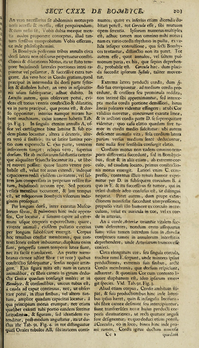 IS, 4 c SECX CXXX DE &amp;OMBrC&amp; ro3 An vero neceffarius fit abdominis motuspro ftuatos; quare ex inferius etiam dicendis du- aeris aceeffu &amp; receffu, effet perquirendum; bitari pottft, tot Corcula efTe , fibi mutuam &amp; Cum nefas lit, Vobis dubia meseque men- Opem ferentia. Ipforum numerus multiplex 'ris nudos proponere conceptus, illud tan¬ gam 'fenfibus comprobatum Vobis offeram, «Ut inde philofophcmini. In Bombycis poftremis tribus annulrs circa dorli Jatera non obfcurusperpetuaturconftri- dionis &amp; dilatationis Motus, ita ut flato tem¬ pore hujufmodi laterales portiones intro ra¬ piantur vel pellantur, &amp; fucceffive extra tur¬ geant. An vero hoc in Cordis gratiam,quod praecipue in intermedia ibi dorli parte fyfto- leti &amp; diaftolen habet; an vero in refpiratio- nis ulum fubfequatur, adhuc dubito. In Locuftis autem, quas Obfcrvare potui, evi¬ dens eft totius ventris conftridio&amp; dilatatio, *ea in parte praecipue, qu* prona eft, &amp;dor- io opponitur; interius namque miram ha¬ bent machinam, cujus iconem habetis Tab. 92. Fig. 5. In lingulis etenim annulis A, ol- fie* vel cartilagineae bina: laminae B. fub eo¬ dem plano locanturaltera a dexteris, alte¬ ra vero a finiftris; ita Ut latior lamina: por¬ tio cum exporrecia C. ejus parte, ventrem inferiorem tangatreliqua vero , fuperius dorfum. ft* ab mcifurarum fubftantia ca teris- que aliqualiter fiejunda locantur ita , ut libe¬ ri moveri pdffirit: quare laxato ventre pro¬ babile eft, velut tot arcus extendi, indeqtre capaciorem reddi ejufdem cavitatem , vel fal- tem jam comprelfam in proprium reiilire fla¬ tum, hujufmodi arcuum ope. Sed potiora veflris mentibus occurrent, &amp; jam tempus eft, ut reliquorum Bombycis vilcerum inda¬ ginem .profequaf. Per longum dorli, inter exaratas Mufcu- lorum libras, &amp; pulmones hirrC inde appen- Eos, Cor locatur , a lumino capite ad extre¬ mum ufque corporis exporredum; quare, vivente animali, ejufdem pullatio exterius per longum fubobfcure emergit. Corpus hoc tenuibus conflat membranis, qua: con¬ tenti Iceris colore imbuuntur; diaphansc enim funt, progreffu tamen temporis lute* fiunt, nec ita facile translutent. An prater mem¬ branas carne* adflnt fibra: ( ut reor) quibus conftridtio fubfequatur, fenilis nequit attin¬ gere. Ejus figura mira eft; nam in cateris animalibus, ex fibris carneis in gyrum dedu- dis Conica quaedam confurgit moles ; at iri Bombyce i &amp; confimilibus, unicus tubiis eft, a cauda ad caput continuus, nec&gt; ut obfer^ vare potui, in iftius finibus * Vel altero tan¬ tum , amplior quaedam capacitas locatur , i qua principium motuS erumpat; net etiam quaelibet exarati tubi portio eartdem lbrtitur latitudine», &amp; figuram, fed identidem ex¬ tenditur , poft-mOdum anguftatur, ita ut du- dus ifte Tab. 91. Fig. 4- in tot diftinguatur quafi Ovales tubulos AB, fibi invicem eonti- efl, adhuc tamen non omnino mihi notus; nam ex vario cordis rhythmo in pullu, ex va¬ lida infuper convulflone , qua ledi Bomby¬ ces tentantur, diflindio non ita patet. Tot autem effe, quot annulos, vel faltem pul¬ monum paria, ex his, qua faepius deprehen¬ di , probabile eft. Corcula haec , dum placi¬ da fuccedit ipforum Sy/ldle, taliter moven¬ tur. Extrema latera produdi cordis, dum fy- Hole fua corripiuntur, ad medium cordis pro¬ cedunt, &amp; cralfiora feu prominula reddita, fion intime fibi approximantur, fed interce¬ pta media cordis portione demilfiori, binas lineas paleares videntur effingere; at ubi Cor validius movetur, concurrunt exarat* line*, &amp; in ardiori cordis parte D. fe fuperequitare videntur; quo cafu elatio quaedam five tu¬ mor in cordis medio fulcifcatur: ubi autem deficiente animalis Vita , fola cordium latera parum verius medium lente deducuntur, tunc nulla fere fenfibilis confurgit elatio. Cordium motus non eadem omnino tem¬ poris differentia fuccedunt, fed in Bombyci¬ bus, ficut &amp; in aliis etiam , ab extremo cor¬ culo, ad caudam locato, primus conftridio- nis motus emergit. Latiori enim C. ccm- preffo, contentus iltico tenuis humor expri¬ mitur per D. in fubfequens corculum B. a quo in E. &amp; ita fuccdfivus fit tumor, qui in celeri diaftole adeo confufus eft, ur diftingui nequeat. Patet autem , dum prope extin- dionem rrianifeft* llfccedunt compreffiones, propullb vitali illo humore ex corculo incor- culum, velut ex auricula in cor , vel ex cor¬ de in arterias. An a corde Arteria oriantur vitalem luo cum deferentes , nondum certo affequutus fum; vifus tamen interdum tum in Aurelia. conlpicuos ramos in annulorum interftitiis deprehendere , unde Arteriarum tnmcosefie conjeci. Circa elongatuni cor ; feu fingula cdrcuiay. trachea rami E. ferpunt , unde minores ipfius prOdudiones, extremis fuis finibus, arde Cordis membranis, qu* dorfiim reipiciunt, adhaerent, &amp; quoniam Cor cum contento li¬ quore diaphanum eft, ideo ipfarum emer¬ git fpedes. Vid. Tab. 91. Fig. 5. Aliud etiam coipus, Cordis ambitum fti» pat, &amp; fuis produdionibus hinc inde lateri¬ bus ipfius haret, quin &amp; in Ungulis Incilufis * ubi fibri carne* definunt feu intercipiuntur, fiunt tranfverfilles nov* hujus produdi cor¬ poris diramationes, ut redi quatuor anguli fere defignentur; ex quo deduci etiam poteftv a Corculis, eo in loco, binos hinc inde pro¬ mi ramos. Cordis igitur dudum mucofie Cc * quadairi