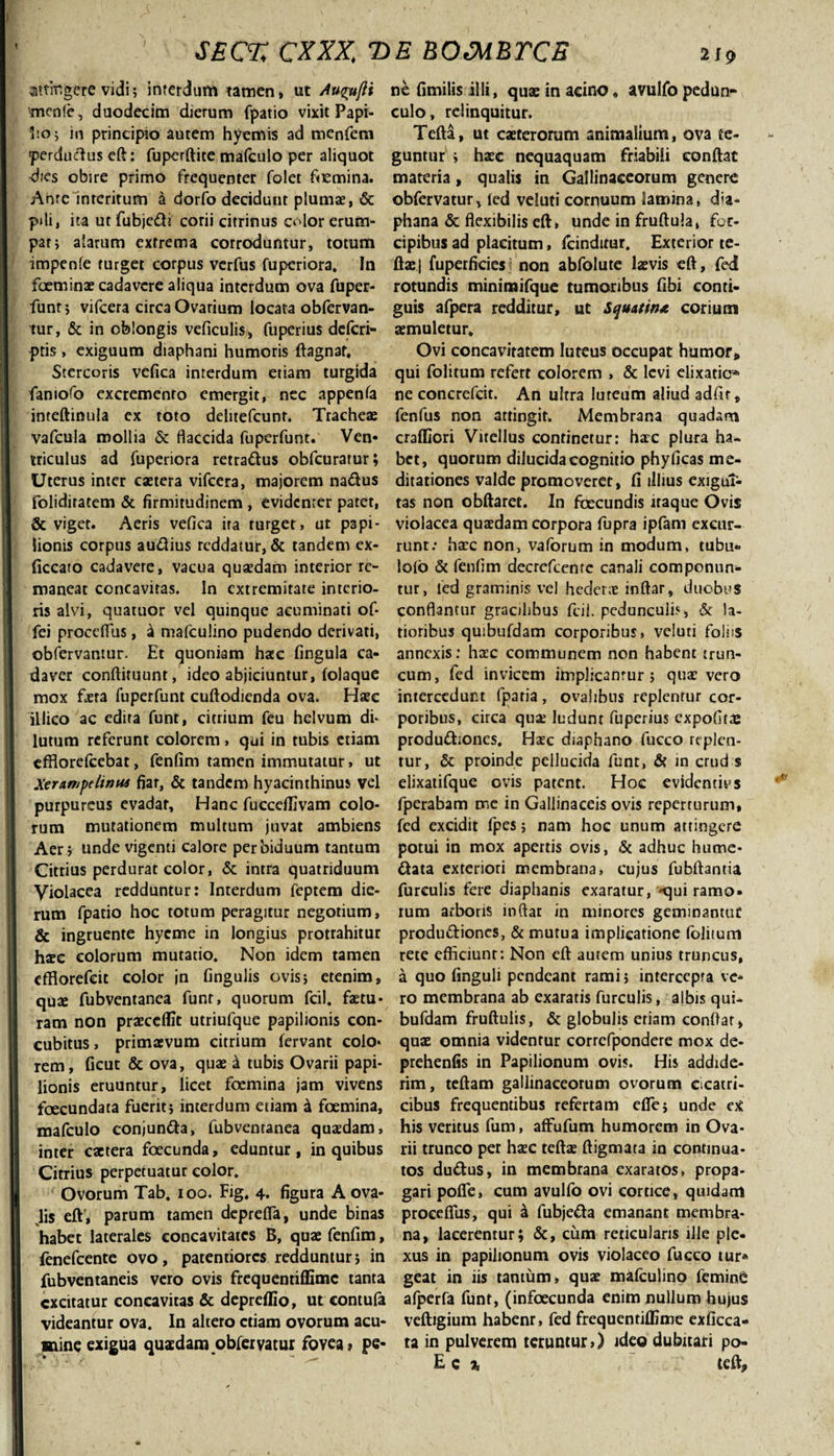 SECT, CXXX, T&gt;E BOMBYCE 210 attingere vidi; interdum tamen, ut Au^ufli mente, duodecim dierum fpatio vixit Papi- Eo; in principio autem hyemis ad menfem perdudus eft: fuperftite mafculo per aliquot dies obire primo frequenter folet fiemina. Anrc interitum a dorfo decidunt plumae, &amp; pili, ita ut fubjedi corii citrinus color erum¬ par; alarum extrema corroduntur, totum impenfe turget corpus verfus fuperiora. In foeminae cadavere aliqua interdum ova fuper- funr; vifcera circa Ovarium locata obfervan- tur, &amp; in oblongis veficulis, fuperius deferi- ptis, exiguum diaphani humoris ftagnaf. Stercoris vefica interdum etiam turgida faniofo excremento emergit, nec appenfa inteftinula ex toto delitefcunt. Tracheae vafcula mollia &amp; flaccida fuperfunt. Ven- triculus ad fuperiora retradus obfcuratur; Uterus inter caetera vifcera, majorem nadus folidiratem &amp; firmitudinem , evidenter patet, &amp; viget. Aeris vefica ita turget, ut papi¬ lionis corpus audius reddatur, &amp; tandem ex- ficcaro cadavere, vacua quaedam interior re¬ maneat concavitas. In extremitate interio¬ ris alvi, quatuor vel quinque acuminati of- fei procdTus, a mafculino pudendo derivati, obfervantur. Et quoniam haec fingula ca¬ daver conftituunt, ideo abjiciuntur, folaque mox faeta fuperfunt cuftodienda ova. Haec illico ac edita funt, citrium feu helvum dU lutum referunt colorem, qui in tubis etiam efflorefeebat, fenfim tamen immutatur, ut Xeraffjpelimti fiar, &amp; tandem hyacinthinus vel purpureus evadar. Hanc fuccdlivam colo¬ rum mutationem multum juvat ambiens Aer; unde vigenti calore per biduum tantum Cittius perdurat color, &amp; intra quatriduum Violacea redduntur: Interdum feptem die¬ rum fpatio hoc totum peragitur negotium, &amp; ingruente hyeme in longius protrahitur h$c eoiorum mutatio. Non idem tamen effiorefeit color in lingulis ovis; etenim, quse fubventanea funt, quorum fcil. faetu- ram non praecellit utriufque papilionis con¬ cubitus , primaevum citrium fervant colo* rem, ficuc &amp; ova, quae 4 tubis Ovarii papi¬ lionis eruuntur, licet foemina jam vivens foecundata fuerit; interdum etiam d foemina, mafculo conjunda, fubventanea quaedam, inter cactera foecunda, eduntur, in quibus Citrius perpetuatur color. Ovorum Tab, ioo. Fig, 4. figura A ova- lis eft, parum tamen deprefla, unde binas habet laterales concavitates B, quae fenfim, fenefeente ovo, patentiores redduntur; in fubventaneis vero ovis frequentiflime tanta excitatur concavitas &amp; depreflio, ut contufa videantur ova. In altero etiam ovorum acu¬ mine exigua quaedam obfervatur fovea» pe¬ ne fimilis illi, quae in acino. avulfo pedun¬ culo, relinquitur. Tefta, ut caeterorum animalium, ova te¬ guntur ; haec nequaquam friabili conftat materia, qualis in Gallinaceorum genere obfervatur, led veluti cornuum lamina, dia- phana &amp; flexibilis eft, unde in fruftula, for¬ cipibus ad placitum, fcinditur. Exterior te- ftae| fuperficiesi non abfolute laevis eft, fedl rotundis minimifque tumoribus fibi conti¬ guis afpera redditur, ut Squama corium aemuletur. Ovi concavitatem luteus occupat humor» qui folitum refert eoiorem , &amp; levi elixatio* ne concrefcit. An ultra luteum aliud adfir, fenfus non attingit. Membrana quadam craffiori Vitellus continetur: haec plura ha¬ bet, quorum dilucida cognitio phyficas me¬ ditationes valde promoveret, fi illius exigui¬ tas non obftaret. In foecundis itaque Ovis violacea quaedam corpora fupra ipfam excur¬ runt: haec non, vaforum in modum, tubu- iolb &amp; fenfim decrefcenre canali componun¬ tur, led graminis vel hederae inftar, duobus conflantur gracilibus fcil. pedunculis, &amp; la¬ tioribus quibtifdam corporibus, veluti foliis annexis: haec communem non habent trun¬ cum, fed invicem implicantur; quae vero intercedunt fpatia, ovalibus replentur cor¬ poribus, circa quae ludunt fuperius expofitas produdiones. Haec diaphano fucco replen¬ tur, &amp; proinde pellucida funt, &amp; in crud s elixatifque ovis patent. Hoc evidentius fperabam me in Gallinaceis ovis reperrurum, fed excidit fpes; nam hoc unum attingere potui in mox apertis ovis, &amp; adhuc hume- data exteriori membrana, cujus fubftantia furculis fere diaphanis exaratur, &lt;qui ramo¬ rum arboris inftar in minores geminantur produdiones, &amp; mutua implicatione folitum rete efficiunt: Non eft autem unius truncus, a quo finguli pendeant rami; intercepta ve¬ ro membrana ab exaratis furculis, albis qui¬ bufdam fruftulis, &amp; globulis etiam conflat, quae omnia videntur correfpondere mox de- prehenfis in Papilionum ovis. His addide¬ rim, teftam gallinaceorum ovorum cicatri¬ cibus frequentibus refertam elfe; unde ex his veritus fum, afFufum humorem in Ova¬ rii trunco per haec teftae ftigmata in continua¬ tos dudus, in membrana exaratos, propa¬ gari pofle, cum avulfo ovi cortice, quidam procdTus, qui a fubjeda emanant membra¬ na, lacerentur; &amp;, cum reticularis ille ple¬ xus in papilionum ovis violaceo fucco tur* geat in iis tantum, quae mafculino femine afperfa funt, (infoecunda enim nullum hujus veftigium habenr, fed frequentiflime exficca- ta in pulverem teruntur,) ideo dubitari po- E c % teft»