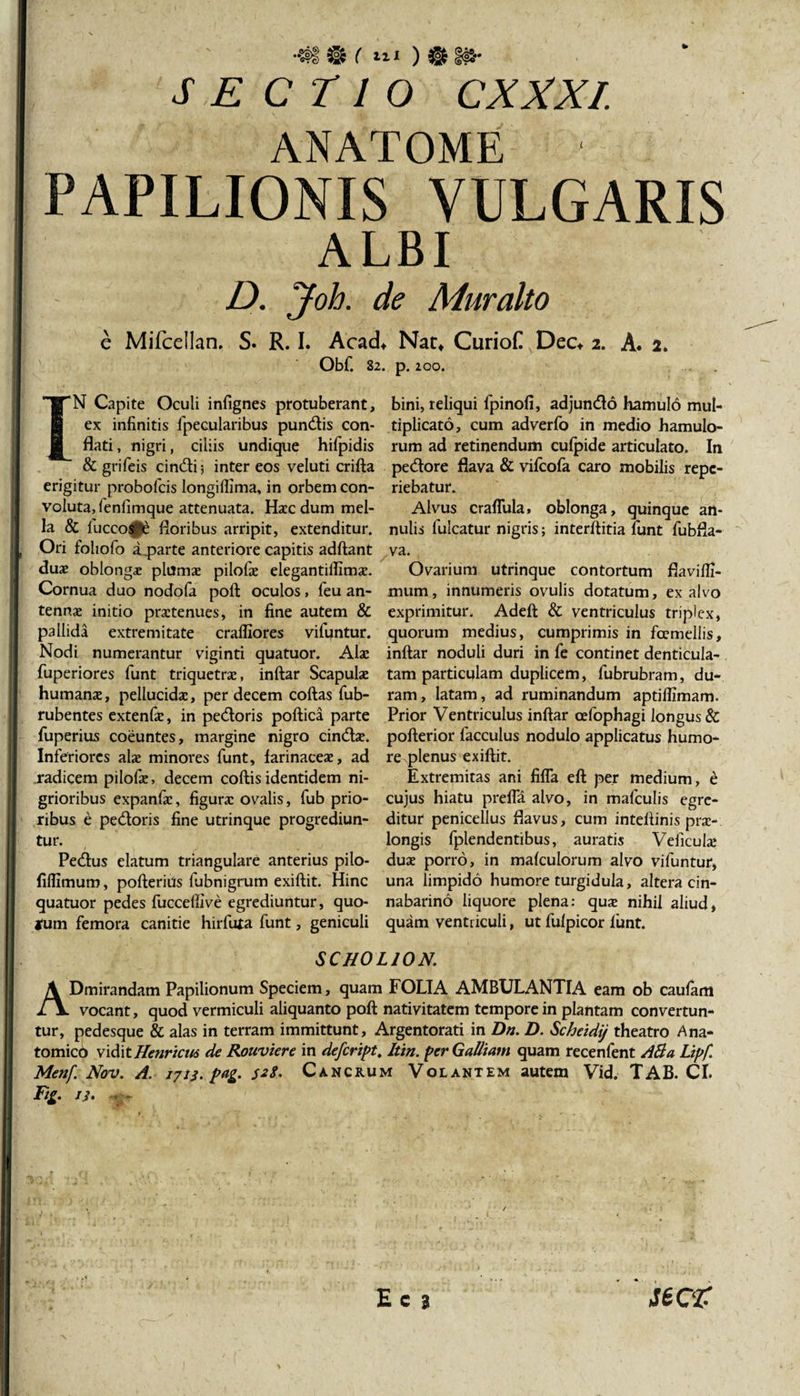 SECTIO CXXXI. ANATOME - PAPILIONIS VULGARIS ALBI D. Joh. de Muralto e Mifcellan. S. R. I. Acad, Nat, Curiof Dec, z. A. a. Obf. 82. p. 200. ... . IN Capite Oculi infignes protuberant, ex infinitis fpecularibus pundis con¬ flati, nigri, ciliis undique hifpidis &amp; grifeis cindij inter eos veluti crifta erigitur probofcis longiflima, in orbem con¬ voluta, lenlimque attenuata. Haec dum mel¬ la &amp; jfuccosAe floribus arripit, extenditur. Ori foliofo a parte anteriore capitis adftant duae oblongae plumee pilofae elegantilfimae. Cornua duo nodofa poft oculos, feu an¬ tennae initio praetenues, in fine autem &amp; pallida extremitate craffiores vifijntur. Nodi numerantur viginti quatuor. Alae fuperiores fiunt triquetrae, inftar Scapulae humanae, pellucidae, per decem coftas fub- rubentes extenfiae, in pedoris poftica parte fiuperius coeuntes, margine nigro cindae. Inferiores alae minores fiunt, farinaceae, ad radicem pilofae, decem coftis identidem ni¬ grioribus expanfiac, figurae ovalis, fiub prio¬ ribus e pedoris fine utrinque progrediun¬ tur. Pedus elatum triangulare anterius pilo- fiflimum, pofterius fubnigrum exiftit. Hinc quatuor pedes fucceffive egrediuntur, quo¬ jum femora canitie hirfiuta fiunt, geniculi bini, reliqui fipinofi, adjundo hamulo mul¬ tiplicato, cum adverfio in medio hamulo¬ rum ad retinendum cufipide articulato. In pedore flava &amp; vifcofa caro mobilis repc- riebatur. Alvus craflula, oblonga, quinque an- nulis fiulcatur nigris; interftitia fiunt fiubfla- va. Ovarium utrinque contortum flaviffi- mum, innumeris ovulis dotatum, ex alvo exprimitur. Adeft &amp; ventriculus triplex, quorum medius, cumprimis in foemeliis, inftar noduli duri in fie continet denticula¬ tam particulam duplicem, fiubrubram, du¬ ram, latam, ad ruminandum aptilfimam. Prior Ventriculus inftar cefophagi longus&amp; pofterior fiacculus nodulo applicatus humo¬ re plenus exiftit. Extremitas ani fifla eft per medium, e cujus hiatu prefla alvo, in maficulis egre¬ ditur penicellus flavus, cum intellinis przc- longis fiplendentibus, auratis Veficube duae porro, in mafculorum alvo vifiuntur, una limpido humore turgidula, altera cin- nabarino liquore plena: quae nihil aliud, quam ventriculi, ut fiulpicor fiunt. SCH0L10N. ADmirandam Papilionum Speciem, quam FOLIA AMBULANTIA eam ob caufam vocant, quod vermiculi aliquanto poft nativitatem tempore in plantam convertun¬ tur, pedesque &amp; alas in terram immittunt, Argentorati in Dn. D. Scheidij theatro Ana¬ tomico vidit ffenricus de Rouviere in defcript. Itin. per Galliam quam recenfient AB a Lipf. Menf Nov. A. 1713. pag. /.?&lt;?. Cancrum Volantem autem Vid. TAB. CI. F‘t- &gt;}•