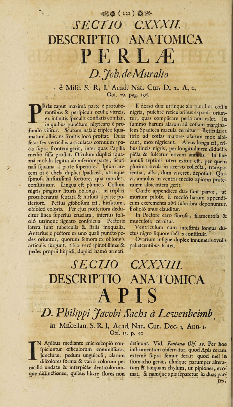 •#!$ ( 111) St fis- SECTIO CXXXII. DESCRIPTIO ANATOMICA P E R L M D. Joh. de Miuralto * c Mifc. S. R* I. Acad. Nat, Cur, D, 2♦ A, 2, Ob(. 79. pag. ipf. PErlae caput maxima parte e protube¬ rantibus &amp; perfpicuis oculis, vitreis, ex infinitis fpeculis conflatis conftat, in quibus pundum nigricans e pro¬ fundo vifitur. Scutum nalale triplex fqua- matum albicans frontis loco proftat. Duas fetas fex verticillis articulatas cornuum fpa- tio lupra frontem gerit, inter quas Papilla medio fifla proftat. Ofculum duplici fqua- ma mobilis legitur ab inferiore parte, ficuti nali fquama a parte fuperiore. Ipfum au¬ tem os e chela duplici fpadicea, utrinque lpinofa hirfutiflima fortiore, qua mordet, conftituitur. Lingua eft plumea. Collum nigris pingitur lituris oblongis, in triplici protuberantia fcutata &amp; hirfuta a parte po- lleriore. Pedus gibbofum eft, hirfutum, obfoleti coloris. Per ejus pofteriora dedu¬ citur linea fuperius cruciata, inferius foli¬ olo utrinque lignato confpicua. Pedoris latera funt tuberculis &amp; ftriis inaequalia. Anterius e pedore ex uno quali pundo pe¬ des oriuntur, quorum femora ex oblongis articulis furgunt, tibiae vero fpinoliflimae &amp; pedes proprii hiipidi, duplici hamo armati. E dorso duae utrinque alae pluribus coftis nigris, pulchre reticularibus expanfic oriun¬ tur, quas complicare perja non valet. In fummo harum alarum ad coftam margina¬ lem Spadicea macula cernitur. Reticulares ftriae ad coftas majores alarum mox albi¬ cant, mox nigricant. Alvus longa eft, tri¬ bus lineis nigris, per longitudinem didudis pida &amp; fulcatur novem annilis. In fine annuli leptimi uteri exitus eft, per quem plurima ovula in acervo colleda, transpa- rentia, alba, dum viveret, depofuit. Qui¬ vis annulus in ventris medio apicem prate- nuem albicantem gerit. Caudae appendices duae funt parvae , ut murium pilofae. E medio harum appendi¬ cum excrementa alvi fubrubra deponuntur. Foliolo anus clauditur. In Pedore caro fibrofa, filamentofa &amp; mufculofa cernitur. Ventriculum cum inteftinis longus du- dus nigro liquore fados conftituit. Ovarium infigne duplex innumeris ovulis pallelcentibus fcatet. SE CTIO CXXXII1. DESCRIPTIO ANATOMICA APIS D. Philippi Jacohi Sachs d Lewenheimb in Mifcellan, S. R. I, Acad, Nat, Cur. Dec. i, Ann. 1. Obi. 13. p. 42. IN Apibus mediante microlcopio con- fpiciuntur ofliculorum commiflurae, jundurae, pedum unguiculi, alarum difcolores formae &amp; varid colorum pe¬ nicillo undatae &amp; interpidae denticulorum¬ que diftindiones, quibus libare flores non delinunt. Vid. Fontana Ohf. is. Per hoc inftrumentum obfervatur, quod Apis ceram externi fupra femur ferat: quod mei in ftomacho gerat, illudque parumper altera- tum &amp; tanquam chylum, ut pipiones, evo¬ mat, Si namque apis feparetur in duas par- ! ,*es.