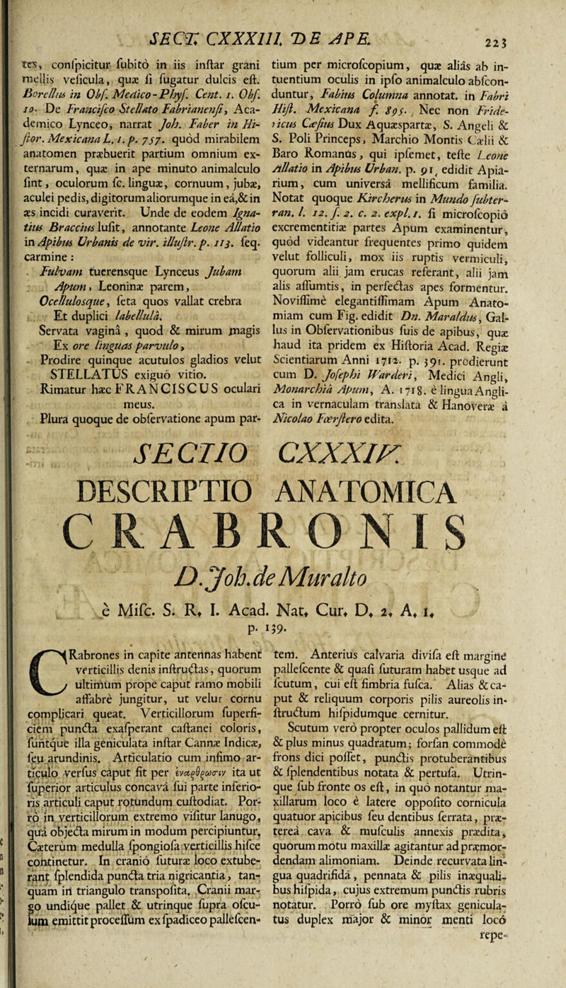 SEOZ CXXXlll T&gt;E JPE&gt; tes, confpicitur fubito in iis inftar grani mellis veficula, quae ii fugatur dulcis eft. Borcllus in Obf. Medico - Phy f. Cent. i. Obf. io- De Francifco Stellato Fabri anenji, Aca¬ demico Lynceo, narrat Joh. Faber in lli- fior. Mexicana L. i. p. 737. quod mirabilem anatomen praebuerit partium omnium ex¬ ternarum , quae in ape minuto animalculo fint, oculorum fc. linguae, cornuum, jubae, aculei pedis, digitorum aliorumque in ea,&amp; in aes incidi curaverit. Unde de eodem lgna- itus Braecius luiit, annotante Leone Allatio in Apibus Urbanis de vir. illujlr.p. 113. feq. carmine: Fulvam tuerensque Lynceus Jubam Apum&gt; Leoninae parem, Oceilulosque, feta quos vallat crebra Et duplici labellula. Servata vagina , quod &amp; mirum magis Ex ore linguas parvulo, Prodire quinque acutulos gladios velut STELLATUS exiguo vitio. Rimatur haec FRANCISCUS oculari meus. Plura quoque de obfervatione apum par- SECTIO DESCRIPTIO tium per microfcopium, quae alias ab in- tuentium oculis in ipfo animalculo abfeon- duntur, Fabius Columna annotat, in Fabri Hijl. Mexicana f. Sps- Nec non Fride- ficus Crffins Dux Aquaespartae, S. Angeli &amp; S. Poli Princeps, Marchio Montis Caelii &amp; Baro Romanos, qui ipfemet, tefte Leone /illatio in Apibus Urban. p. pit edidit Apia¬ rium, cum universa mellificum familia. Notat quoque Kircherm in Mundo fubter- ran. I. 12. f. 2. c. 2. expl. /. fi microlcopid excrementitiae partes Apum examinentur, quod videantur frequentes primo quidem velut folliculi, mox iis ruptis vermiculi, quorum alii jam erucas referant, alii jam alis alfumtis, in perfedas apes formentur. Novilfime elegantiflimam Apum Anato- miam cum Fig. edidit Dn. Maraldiis, Gal¬ lus in Obfervationibus fuis de apibus, quae haud ita pridem ex Hiftoria Acad. Regis Scientiarum Anni 1712. p. 391. prodierunt cum D. Jofephi Warderi, Medici Angli, Monarchia Apu?ni A. 1718. e lingua Angli- ca in vernaculam translata &amp; Hanoverae a Nicolao Fcerjlero edita. cxxxir. ANATOMICA CRABRON I S D.jfob. de Muralto e Mifc. S. R* I. Acad. Nat* Cur* D* 2♦ A* i* p. • 1 - CRabrones in capite antennas habent verticillis denis inftru#as, quorum ultimum prope caput ramo mobili affabre jungitur, ut velur cornu complicari queat. Verticillorum fuperfi- ciem punda exafperant caftanei coloris, furitque illa geniculata inftar Cannas Indicas, leu arundinis. Articulatio cum infimo ar¬ ticulo verfus caput fit per ivafycoriv ita ut fuperior articulus concavi fui parte inferio¬ ris articuli caput rotundum cuftodiat. Por¬ ro in verticillorum extremo vifitur lanugo, qua objeda mirum in modum percipiuntur. Caeterum medulla fpongiofa verticillis hifce continetur. In cranio futurae loco extube¬ rant fplendida punda tria nigricantia, tan- quam irt triangulo transpofita. Cranii mar¬ go undique pallet &amp; utrinque fupra ofeu- fum emittit proceffum exfpadiceopallefcen- 39- tem. Anterius calvaria divifa eft margine pallefcente &amp; quafi futuram habet usque ad fcutum, cui eft fimbria fufea. Alias &amp; ca¬ put &amp; reliquum corporis pilis aureolis in- ftrudum hilpidumque cernitur. Scutum vero propter oculos pallidum eft &amp; plus minus quadratum; forfan commode frons dici poffet, pundis protuberantibus &amp; fplendentibus notata &amp; pertufa. Utrin¬ que fub fronte os eft, in quo notantur ma¬ xillarum loco e latere oppofito cornicula quatuor apicibus feu dentibus ferrata, prae¬ terea cava &amp; mufculis annexis praedita, quorum motu maxillae agitantur ad praemor¬ dendam alimoniam. Deinde recurvata lin¬ gua quadrifida, pennata &amp; pilis inaequali¬ bus hilpida, cujus extremum pundis rubris notatur. Porro fub ore myftax genicula¬ tus duplex major &amp; minor menti loco repe-