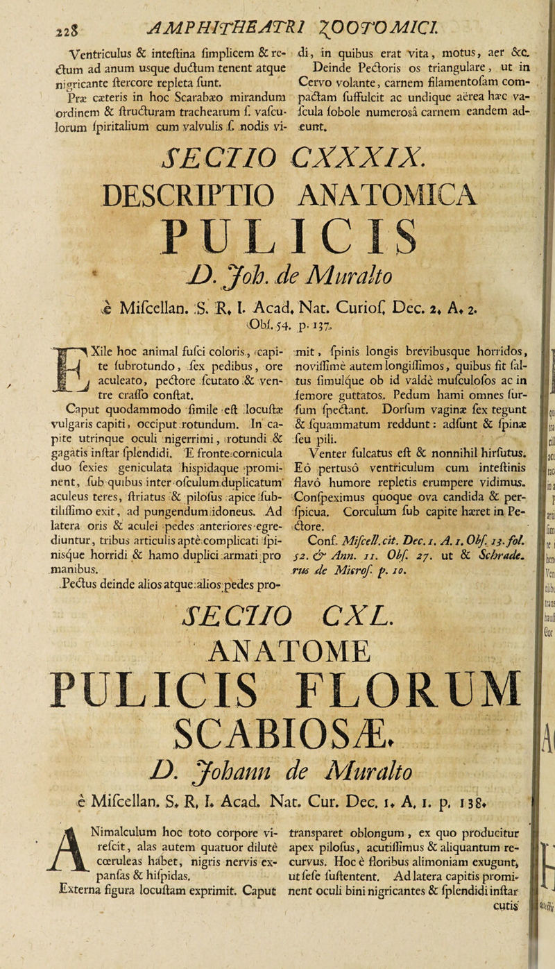 22$ AMPHITHEATRI 2007'O MIC i Ventriculus &amp; inteftina fimplicem &amp; re- di, in quibus erat vita, motus, aer &amp; c. uflum ad anum usque dudum tenent atque Deinde Pedoris os triangulare, ut in nigricante ftercore repleta funt. Cervo volante, carnem filamentofam com- Prse cacteris in hoc Scarabaeo mirandum padam fuffulcit ac undique aerea haec va- ordinem &amp; ftruduram trachearum f. vafcu- icula fobole numerosa carnem eandem ad- lorum fpiritalium cum valvulis f. nodis vi- eunt. SECTIO CXXXIX. DESCRIPTIO ANATOMICA P ULICIS D. 'Yoh. de Muralto i Mifcellan. ;S. R» L Acad* Nat. CurioC De c. 24 A» 2. ;Obi. 54. p- 137- r^ Xile hoc animal fufci coloris, capi- mit, fpinis longis brevibusque horridos, i te lubrotundo, fex pedibus, ore novillime autemlongiffimos, quibus fit fal- aculeato, pedore fcutato ,&amp; ven- tus fimulque ob id valde mulcuiofos ac in tre cralfo conflat. femore guttatos. Pedum hami omnes fiur- Caput quodammodo fimile eft locufhe fum fpedant. Dorfum vaginae fex tegunt vulgaris capiti, occiput rotundum. In ca- &amp; fquammatum reddunt: adfunt &amp; fpinae pite utrinque oculi nigerrimi, cotundi &amp; feu pili. gagatis inftar fplendidi. E frontecornicuia Venter fulcatus efi: &amp; nonnihil hirfutus. duo fexies geniculata hispidaque ;promi- Eo pertuso ventriculum cum inteftinis nent, fub quibus inter ofcuium.duplicatum flavo humore repletis erumpere vidimus, aculeus teres, ftriatus &amp; pilofus apice ;fub- Confpeximus quoque ova candida &amp; per- tiliffimo exit, ad pungendum.idoneus,. Ad fpicua. Corculum fub capite haeret in Pe- latera oris &amp; aculei pedes anteriores-egre- dore. diuntur, tribus articulis apte complicati fpi- Conf MifceU.cit. Dec. i. A. i. Obf. jj.fol. nisque horridi &amp; hamo duplici armati pro s^.&amp;Ann. u. Obf. 27. ut &amp; Schradc. manibus. rus de Mierof p. 10. Pedus deinde alios atque :alios;pedes pro- SECTIO CXL. ANATOME PULICIS FLORUM SCABIOSA. D. Johann de Muralto e Mifcellan. S* R, L Acad. Nat. Cur. Dec. u A, i. p, 138* ANimalculum hoc toto corpore vi- transparet oblongum, ex quo producitur refcit, alas autem quatuor dilute apex pilofus, acutiflimus &amp; aliquantum re- cceruleas habet, nigris nervis ex- curvus. Hoc e floribus alimoniam exugunt* panfas &amp; hifpidas. utfefe fuftentent. Ad latera capitis promi- Externa figura locuftam exprimit. Caput nent oculi bini nigricantes &amp; fplendidi inftar catis \