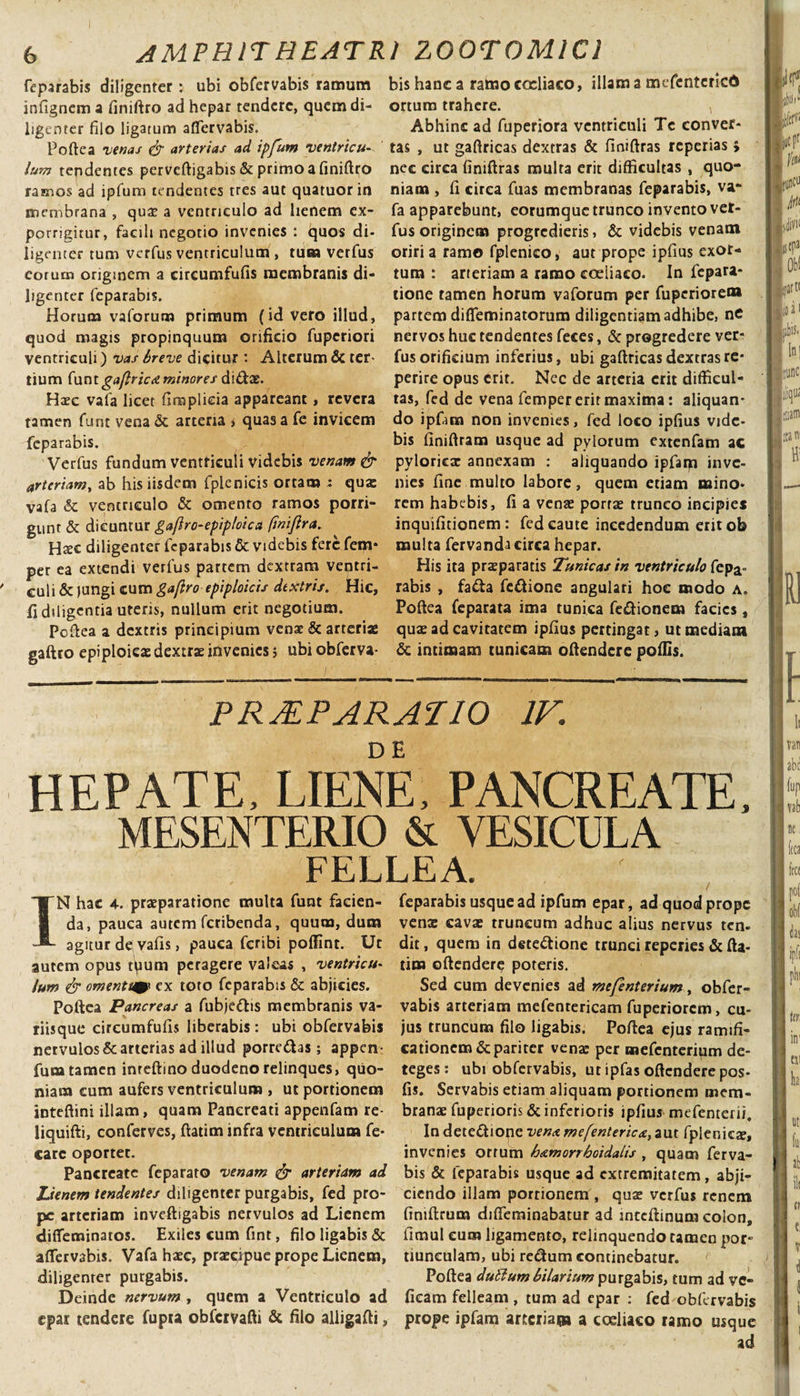 feparabis diligenter: ubi obfervabis ramum infignem a finiftro ad hepar tendere, quem di¬ ligenter filo ligatum affervabis. Poftea venas &amp; arterias ad ipfum ventricu¬ lum tendentes perveftigabis &amp; primo a finiftro ramos ad ipfum tendentes tres aut quatuorin membrana , qua? a ventriculo ad lienem ex¬ porrigitur, facili negotio invenies : quos di¬ ligenter tum verfus ventriculum, tum verfus eorum originem a circumfufis membranis di¬ ligenter feparabis. Horum vaforuro primum (id vero illud, quod magis propinquum orificio fuperiori ventriculi) vas breve dicitur : Alterum &amp; ter¬ tium (unt gaflrica minores diCtae. Haec vafa licet fimplieia appareant, revera tamen funt vena &amp; arteria &gt; quas a Te invicem feparabis. Verfus fundum ventriculi videbis venam &amp; arteriam, ab his iisdem fpienicis ortam : qua: vafa &amp; ventriculo &amp; omento ramos porri¬ gunt &amp; dicuntur gaflro-epip/oica finijlra. Hxc diligenter feparabis &amp; videbis fere fem* per ea extendi verfus partem dextram ventri¬ culi &amp; jungi cum gafiro epiploicis dextris. Hic, fi diligentia uteris, nullum erit negotium. poftea a dextris principium venae &amp; arteriae gaftto epiploicae dextrae invenies5 ubi obferva¬ bis hanc a ramo coeliaco, illam a mefcntcricd ortum trahere. Abhinc ad fuperiora ventriculi Te conver¬ tas , ut gaftricas dextras &amp; finiftras reperias &gt; nec circa finiftras multa erit difficultas , quo¬ niam , fi circa fuas membranas feparabis, va¬ fa apparebunt, eorumque trunco invento ver¬ fus originem progredieris, &amp; videbis venam oriri a ramo fplenico, aut prope ipfius exor¬ tum : arteriam a ramo coeliaco. In fepara- tione tamen horum vaforum per fuperiorem partem difleminatorum diligentiam adhibe, nc nervos huc tendentes feces, &amp; progredere ver¬ fus orificium inferius, ubi gaftricas dextras re* perire opus erit. Nec de arteria erit difficul¬ tas, fed de vena femper erit maxima: aliquan¬ do ipfam non invenies, fed loco ipfius vide¬ bis finiftram usque ad pylorum extenfam ac pyloricae annexam : aliquando ipfam inve¬ nies fine multo labore, quem etiam mino¬ rem habebis, fi a venae portae trunco incipies inquifitionem: fed caute incedendum eritob multa fervanda circa hepar. His ita praeparatis ‘Tunicas in ventriculo fepa¬ rabis , fa&amp;a feCtione angulari hoc modo a. Poftea feparata ima tunica fe&amp;ionem facies, quae ad cavitatem ipfius pertingat, ut mediam &amp; intimam tunicam offendere poffis. PRTEP ARATIO IV. HEPATE, LIENE, PANCREATE, MESENTERIO &amp; VESICULA FELLEA. IN hac A. praeparatione multa funt facien¬ da, pauca autem feribenda, quum, dum agitur de vafis, pauca feribi poffint. Ut autem opus tpum peragere valeas , ventricu¬ lum &amp; omentim ex toto feparabis &amp; abjicies. Poftea Pancreas a fubjeCtis membranis va¬ riisque circumfufis liberabis : ubi obfervabis nervulos &amp; arterias ad illud porre £t as; appen fum tamen inteftino duodeno relinques, quo¬ niam cum aufers ventriculum , ut portionem inteftini illam, quam Pancreati appenfam re liquifti, conferves, ftatim infra ventriculum fe* care oportet. Pancreate feparato venam &amp; arteriam ad Lienem tendentes diligenter purgabis, fed pro¬ pe arteriam inveftigabis nervulos ad Lienem difleminatos. Exiles cum fint, filo ligabis &amp; affervabis. Vafa haec, praecipue prope Lienem, diligenter purgabis. Deinde nervum, quem a Ventriculo ad epar tendere fupra obfcrvafti &amp; filo alligafti, feparabis usque ad ipfum epar, ad quod prope venae cavae truncum adhuc alius nervus ren- dit, quem in detectione trunci reperies &amp; fta¬ tim oftenderc poteris. Sed cum devenies ad mefenterium, obfer¬ vabis arteriam mefenrericam fuperiorem, cu¬ jus truncum filo ligabis. Poftea ejus ramifi- cationem&amp; pariter venae per mefenterium de¬ teges : ubi obfervabis, ut ipfas offendere pos* fis. Servabis etiam aliquam portionem mem¬ branae fuperioris &amp; inferioris ipfius mefenterii. In deteCtione ven&lt;t mefentericx, aut fplenicae, invenies ortum h&amp;morrhoidaiis , quam ferva- bis &amp; feparabis usque ad extremitatem, abji¬ ciendo illam portionem , quae verfus renem fimftrum diffeminabatur ad inteftinum colon, fimul eum ligamento, relinquendo tamen por¬ tiunculam, ubi reiftum continebatur. Poftea duttum bilarium purgabis, tum ad vc- fieam felleam , tum ad epar : fed obfervabis prope ipfam arteria» a coeliaco ramo usque ad