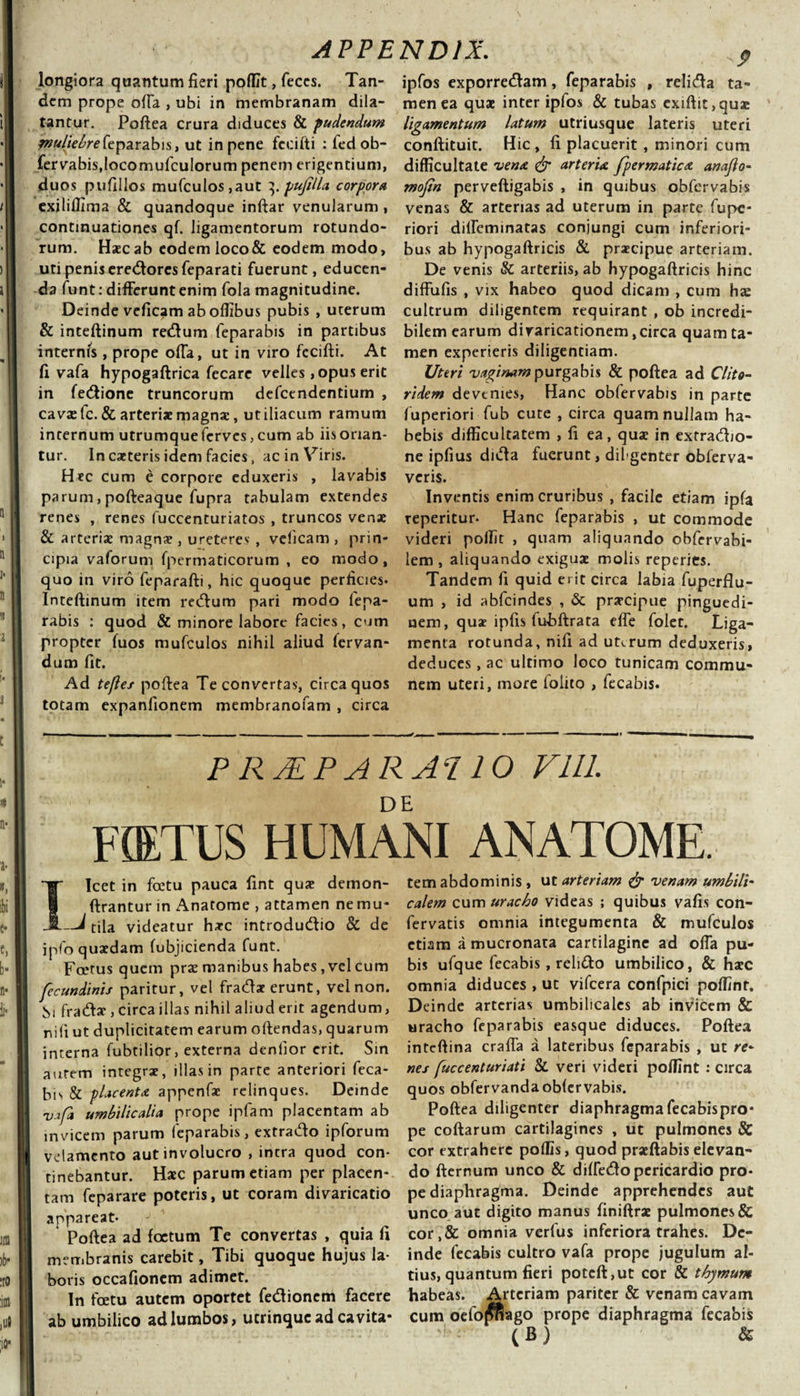 longiora quantum fieri poffit, feces. Tan¬ dem prope offa , ubi in membranam dila¬ tantur. Poftea crura diduces &amp; pudendum muliebre feparabis, ut in pene fecifti : fed ob¬ fervabis,locomufculorum penem erigentium, duos pufillos mufculos,aut \pufilla\ corpora exiliflima &amp; quandoque inftar venularum , continuationes qf. ligamentorum rotundo¬ rum. Ha?c ab eodem loco&amp; eodem modo, uti penis eredores feparati fuerunt, educen¬ da funt: differunt enim fola magnitudine. Deinde veficam ab offibus pubis , uterum &amp; inteftinum redum feparabis in partibus internis , prope offa, ut in viro fecifti. At fi vafa hypogaftrica fecare velles, opus erit in fedione truncorum defcendentium , cava: fc. &amp; arteriae magnse, ut iliacum ramum internum utrumque ferves, cum ab iis orian¬ tur. lncaeterisidem facies, ac in Viris. Hec cum e corpore eduxeris , lavabis parum, pofteaque fupra tabulam extendes renes , renes fuccenturiatos , truncos venae &amp; arteriae magna?, ureteres , veficam , prin¬ cipia vaforum fpermaticorum , eo modo, quo in viro feparafti, hic quoque perficies. Inteftinum item redum pari modo fepa¬ rabis : quod &amp; minore labore facies, cum propter fuos mufculos nihil aliud fervan- dum fit. Ad tefies poftea Te convertas, circa quos totam expanfionem membranofam , circa ipfos exporredam, feparabis , relida ta¬ men ea quae inter ipfos &amp; tubas cxiftit,quae ligamentum latum utriusque lateris uteri conftituit. Hic , fi placuerit , minori cum difficultate 'vena &amp; arteria fpermatica anajlo- mofin perveftigabis , in quibus obfervabis venas &amp; arterias ad uterum in parte fupe- riori dilfeminatas conjungi cum inferiori¬ bus ab hypogaftricis &amp; praecipue arteriam. De venis &amp; arteriis, ab hypogaftricis hinc diffufis , vix habeo quod dicam , cum hae cultrum diligentem requirant , ob incredi¬ bilem earum diraricationem, circa quam ta¬ men experieris diligentiam. Uteri vaginam purgabis &amp; poftea ad Clito¬ ridem devenies, Hanc obfervabis in parte fuperiori fub cute , circa quam nullam ha¬ bebis difficultatem , fi ea, quae in exfradio- ne ipfius dida fuerunt, dil genter obferva- veris. Inventis enim cruribus , facile etiam ipfa reperitur. Hanc feparabis , ut commode videri polfit , quam aliquando obfervabi- lem , aliquando exigua? molis reperies. Tandem fi quid erit circa labia fuperflu- um , id abfeindes , &amp; pra?cipue pinguedi¬ nem, qua? ipfis fuhftrata effe folet. Liga¬ menta rotunda, nifi ad uterum deduxeris, deduces, ac ultimo loco tunicam commu¬ nem uteri, more folito , fecabis. P RJEP ARAT. 10 Vlll. Forrus HUMANI ANATOME. Ilcet in fcetu pauca fint qua? demon- ftrantur in Anatome , attamen nemu* —i tila videatur hacc introdudio &amp; de ipfo quaedam fubjicienda funt. Foetus quem prae manibus habes , vel cum fecundinis paritur, vel frada? erunt, vel non. ;&gt;i frada?, circaiilas nihil aliud erit agendum, nifi ut duplicitatem earum oftendas, quarum interna fubtilior, externa denlior erit. Sm aurem integrae, illas in parte anteriori feca¬ bis &amp; placenta appenfae relinques. Deinde vafa umbilicalia prope ipfam placentam ab mvicem parum feparabis, extrado ipforum velamento aut involucro , intra quod con¬ tinebantur. Haec parum etiam per placen¬ tam feparare poteris, ut coram divaricatio appareat- Poftea ad foetum Te convertas , quia fi membranis carebit, Tibi quoque hujus la¬ boris occafionem adimet. In fcetu autem oportet fedionem facere ab umbilico ad lumbos, ucrinquc ad cavita¬ tem abdominis, ut arteriam &amp; venam umbili- calem cum uracho videas ; quibus vafis con- fervatis omnia integumenta &amp; mufculos etiam a mucronata cartilagine ad offa pu¬ bis ufque fecabis, relido umbilico, &amp; haec omnia diduces , ut vifcera confpici poffint. Deinde arterias umbilicales ab inVicem &amp; uracho feparabis easque diduces. Poftea inteftina craffa a lateribus feparabis , ut re- nes [uccenturiati &amp; veri videri poffint : circa quos obfervandaobfervabis. Poftea diligenter diaphragma fecabispro* pe coftarum cartilagines , ut pulmones &amp; cor extrahere poffis, quod pracftabis elevan¬ do fternum unco &amp; diffedopericardio pro¬ pe diaphragma. Deinde apprehendes aut unco aut digito manus finiftra? pulmones &amp; cor,&amp; omnia verfus inferiora trahes. De¬ inde fecabis cultro vafa prope jugulum al¬ tius, quantum fieri potcft,ut cor &amp; thymum habeas. Arteriam pariter &amp; venam cavam cum oelofffiago prope diaphragma fecabis ( B ) &amp;