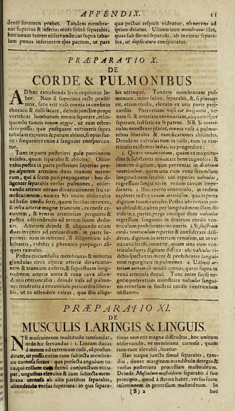 cienti foramen praebet. Tandem membra- quaepecftus refpicit videatur, obnervos ad nas fuperius &amp; inferius more folito feparabis, ipfum delatos. Ultimo loco membranas illas, hoc unum tamen obfervando , ut fupra tabu- quas fub fterno feparafti, ab invicem fepara- lam ponas inferiorem ejus partem, ut pars bis, ut duplicatura confpiciatur. PRaEPARATIO X. DE CORDE &amp; PULMONIBUS AD haec extrahenda levis requiritur la¬ bor. Nam fi fuperiora redte praefti- teris, fatis erit vafa omnia in confinio thoracis &amp; colli ftcare, deindejundtim prope vertebras lumborum omnia feparare,relin- quendo tamen venam azygos, ut eam often- derepoliis; quae poftquam extraxeris fupra tabulam expones &amp; parum ablues,fi opus fue¬ rit : frequenterenima fanguine confpurcan- tur. Tunc in parte pofteriori gulae portionem videbis,quam leparabis&amp; abjicies. Obfer* vabis pollea in parte pofteriori fuperius pro¬ pe afperam arteriam duos truncos nervo¬ rum , qui a fexto pari propagantur : hos di¬ ligenter feparabis verfus pulmones, obfer¬ vando attente eorum divaricationcm feura- mificationem; nam ex his unam obfervabis adbafin cordis ferri,quam facilius invenies, fi infra arteriae magnae truncum , excorde ex¬ euntem , &amp; venam arteriofam perquires &amp; poftea adlcendendo ad ortum fuum dedu¬ ces. Alterum deinde &amp; aliquando etiam duas invenies ad pericardium, in parte fu- periori: nam in inferiori ffi diligentiam ad¬ hibueris , videbis a phrenicis propagari ali¬ quos ramulos. Poftea circumfufas membranas &amp; minutas glandulas circa afperae arteriae divaricatio- nem &amp; truncum auferes,&amp; fuperfluam longi¬ tudinem arteriae aortae &amp; venae cavae afeen- dentis obtruncabis ; deinde vafa ad pulmo¬ nes tendentia a circumfufo pericardio libera¬ bis, ut ea oftendere valeas , quae filo alliga¬ bis utrinque. Tandem membranam pul¬ monum , more folito, leparabis, &amp;, fi placue¬ rit, etiam cordis, elevato ex una parte peri¬ cardio. Potes etiam vafa cor irrigantia , ve¬ nam fc. &amp; arteriam coronariam,aliquanrifper feparare, fed fatis ex fe patent. N B. Si ventri- culos monftrare placet, omnia vafa a pulmo¬ nibus liberabis &amp; ramificariones abfeindes. Deinde ne valvulas tum in vafis, tum in ven¬ triculis exiftentes laedas, ita progredere : i. Quaer t venam cavam, quam ex magnitu¬ dine &amp; fubftantia tenuitate bene cognolces: &amp; immitte digitum , quo pervenias in dextrum ventriculum ,quem una cum vena fecundum longitudinem fecabis: ubi reperies valvulas , regreffum fanguinisin venam cavam impe¬ dientes. 2.Hocaperto ventriculo, ijn eodem explores in di ce venam arteriofwt, qua reperta digitum tuum extrahe. Poftea ubi venam pri¬ us abfcidifti,cultro per longitudinem illam di¬ vide in 2. partes,perge eoulque dum valvulas regrelTum fanguinis in dextrum cordis ven¬ triculum prohibentes inveneris. 3.Si fnijlrum cordis ventriculum reperire &amp; confiderare deli- deras, digitum in arteriam venofam, ut in vc- nacavafecifti,immitte, quam una cum ven¬ triculo fupra digitum dilfcca : ubi valvulas vi- debisfpetftantesincor &amp; prohibentes langui- nem regurgitare in pulmones. 4. Uitimo ar¬ teriam aortam eo modo aperias, quem fupra in vena arteriofa docui. Tunc enim facili ne¬ gotio potes etiam monftrare valvulas fangui¬ nis recurlum in liniftrui cordis ventriculum obftantes. PRJEPARA‘110 XI D E MUSCULIS LARINGIS &amp; LINGUIS. NEmufculorum multitudo confundat, ordo hic fervandus : 1. Lineam ducas a mento ad extremum colli, eS profun¬ ditate, ut poflis cutim cum fubjetfta membra¬ na carnofafecare: qua perfccftaangulum cu tis,qui collum cufi fterno conjuntftum occu¬ pat , unguibus eleirabis &amp; cum fubjetfta mem¬ brana carnofa ab aliis partibus feparabis, afccndendu rerfus fuperiora; in qua fepara- tionc non erit magna difficultas , hoc unicum obfervando, ne membrana carnofa , quam cum cute elevabis .fecetur. Haec itaque jun&amp;a fimul feparabis, tam- diu , donec marginem mandibula: detega)k&amp; verfus pofteriora proceffum maftoideum. Deinde Mufculum maftoideum feparabis a fuo principio, quod a fterno habet, verfus fuam infertionem in proceflum maftoideum. In ( B) a hoc