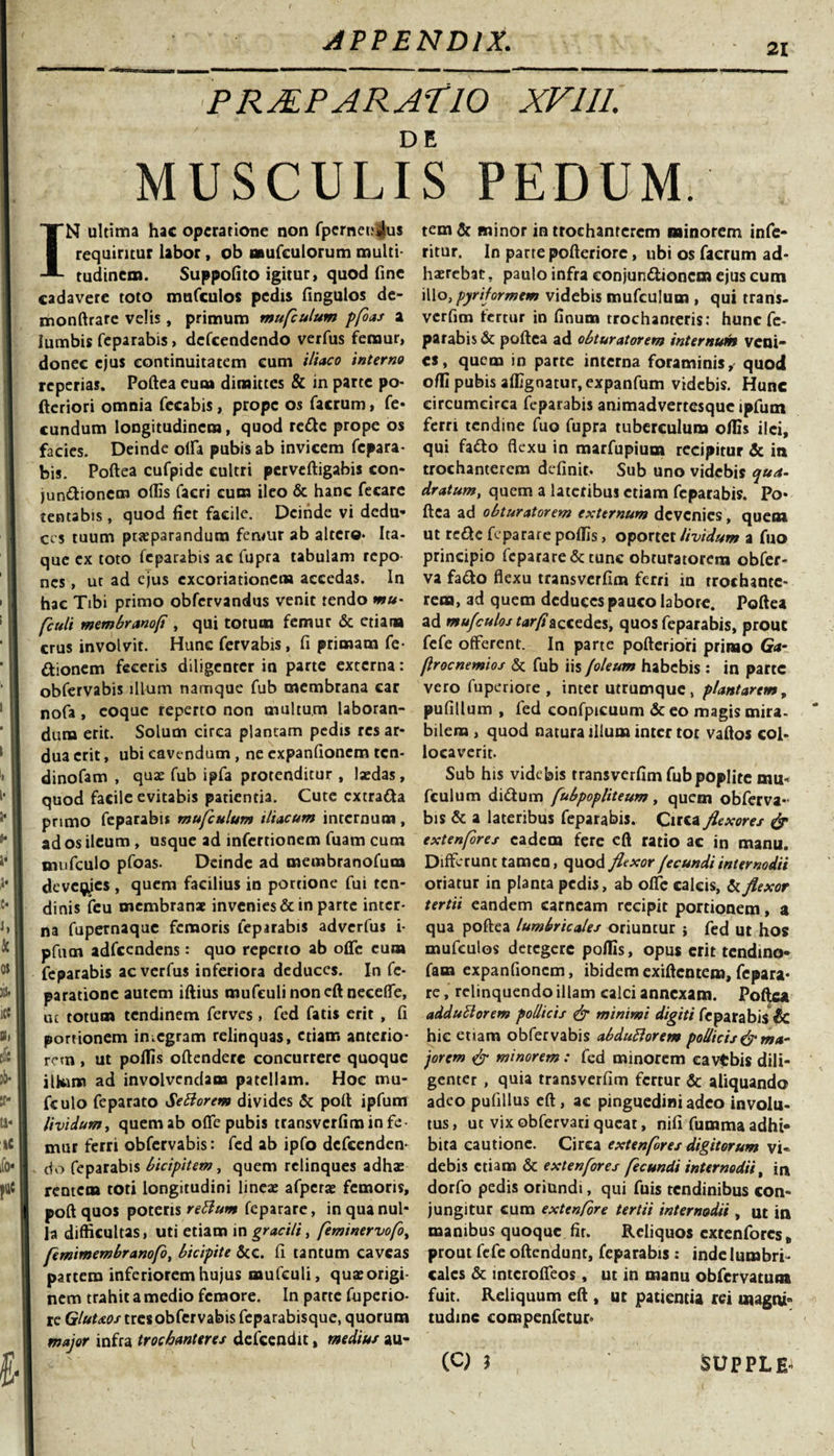 21 PRALP ARATIO XVIII. MUSCULIS PEDUM. IN ultima hac operatione non fpcrnenijlus requiritur labor, ob mufeulorum multi¬ tudinem. Suppofito igitur, quod fine cadavere toto mufculos pedis fingulos de- monftrare velis , primum mufculum pfoas a lumbis feparabis, defeendendo verfus femur, donec ejus continuitatem eum iliaco interno reperias. Poftea eum dimittes &amp; in parte po- ftcriori omnia fecabis, prope os facrum, fe- eundum longitudinem, quod rc&amp;c prope os facies. Deinde olla pubis ab invicem fepara¬ bis. Poftea cufpidc cultri perveftigabis con¬ junctionem odis facri cura ileo &amp; hanc fecare tentabis, quod fiet facile. Deinde vi dedu¬ ces tuum ptseparandum fenmr ab altero* Ita¬ que ex toto feparabis ac lupra tabulam repo nes, ut ad ejus excoriationem accedas. In hac Tibi primo obfervandus venit tendo w«- fculi membranof , qui totum femur &amp; etiam crus involvit. Hunc fervabis, fi primam Te¬ ctionem feceris diligenter in parte externa: obfervabis illum namque fub membrana car nofa, coque reperto non multum laboran¬ dum erit. Solum circa plantam pedis res ar¬ dua erit, ubi cavendum , ne expanfionem ten- dinofam , quae fub ipfa protenditur , laedas, quod facile evitabis patientia. Cute extra&amp;a primo feparabis mufculum iliacum internum, ad os ileum , usque ad infertionem fuam cum mufculo pfoas. Deinde ad membranofum devenies , quem facilius in portione fui ten¬ dinis feu membranae invenies &amp; in parte inter¬ na fupernaque femoris feparabis adverfus i- pfum adfcendens: quo reperto ab oflfe cum feparabis ac verfus inferiora deduces. In fe- parationc autem illius mufeuli non eft necelfe, uc totum tendinem ferves , fed fatis erit , fi portionem integram relinquas, etiam anterio¬ rem , ut poliis oftendere concurrere quoque ill«m ad involvendam patellam. Hoc mu¬ fculo feparato Settorem divides &amp; poft ipfum lividum, quem ab oflfe pubis transverfim in fe¬ mur ferri obfervabis: fed ab ipfo defeenden- . do feparabis bicipitem, quem relinques adhae rentem toti longitudini lineae afperae femoris, poft quos poteris reBum feparare, in qua nul¬ la difficultas, uti etiam in gracili, feminervofo, femimembranofo, bicipite &amp;c. fi tantum caveas partem inferiorem hujus mufeuli, qua: origi¬ nem trahit a medio femore. In parte fuperio- re Gluttos tres obfervabis feparabisque, quorum major infra trochanteres defeendit, medius au¬ tem &amp; minor in trochanterem minorem infe- ritur. In parte pofteriore, ubi os facrum ad¬ haerebat . paulo infra conjun&amp;ioncm ejus cum illotpyriformem videbis mufculum , qui trans¬ verfim fertur in finum trochanteris: hunc fe- parabis &amp; poftea ad obturatorem internum veni¬ es , quem in parte interna foraminis, quod offi pubis afllgnatur.expanfum videbis. Hunc circumcirca feparabis animadvertesque ipfum ferri tendine fuo fupra tuberculum ollis ilei, qui fatto flexu in marfupium recipitur &amp; in trochanterem definit* Sub uno videbis qua¬ dratum, quem a lateribus etiam feparabis. Po¬ ftea ad obturatorem externum devenies, quem ut rede feparare poliis, oportet Uvidum a fuo principio feparare &amp; tunc obturatorem obfer- va fado flexu transverfim ferri in trochante¬ rem, ad quem deduces pauco labore. Poftea ad mufculos tarfi secedes, quos feparabis, prout fefe offerent. In parte pofteriori primo Ga- flrocnemios &amp; fub iis foleum habebis : in parte vero fuperiore , inter utrumque, plantarem, pufillum , fed confpicuum &amp; eo magis mira¬ bilem , quod natura illum inter tot vaftos col¬ locaverit. Sub his videbis transverfim fub poplite mu¬ fculum didlum fubpopliteum, quem obferva¬ bis &amp; a lateribus feparabis. Circa flexores &amp; extenfores eadem fere eft ratio ac in manu. Differunt tamen, quod flexor fecundi internodii oriatur in planta pedis, ab offe calcis, &amp; flexor tertii eandem carneam recipit portionem, a qua poftea lumbricales oriuntur ; fed ut hos mufculos detegere poliis, opus erit tendino* fara expanfionem, ibidemexiftentem,fepara* re, relinquendo illam calci annexam. Poftea adduciorem pollicis &amp; minimi digiti feparabis &amp; hic etiam obfervabis abduHorem pollicis &amp; ma¬ jorem &amp; minorem : fed minorem cavtbis dili¬ genter , quia transverfim fertur &amp; aliquando adeo pufillus eft, ac pinguedini adeo involu¬ tus, ut vixobfervariqueat, nili fummaadhi¬ bita cautione. Circa extenfores digitorum vi¬ debis etiam &amp; extenfores fecundi internodii, in dorfo pedis oriundi, qui fuis tendinibus con¬ jungitur cum exten/ore tertii internodii , ut in manibus quoque fit. Reliquos extenfores , prout fefe oftendunt, feparabis : inde lumbri¬ cales &amp; mtcroffeos, ut in manu obfervatum fuit. Reliquum eft , uc patientia rei magni¬ tudine eompenfetur* (Q J SUPPLE