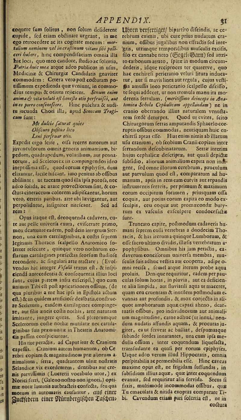 coquere fum folitus , non folum defiderent cupide, fcd etiam obftinate urgeant, in me ego retrocedere ac ita cogitare mecum: mor- . talium neminem ve/ in crajtinum vitam [ibi polli¬ ceri habere, hinc compendifaciam omnia illa hic loci, quo meo candore, ftudio ac folertia, jPatri* huic mex atque adeo publicos in ufus, Medicinas &amp; Chirurgiae Candidatis gnaviter commodem : Cetera vero poft co&amp;uram po- tiflimum expedienda quae veniunt, in commo¬ dius tempus &amp; otium rejiciens. Senum enim anima &amp; vita veluti efl honeflo otio perjruifci, aut in eo porro confenefcere. Hinc pulchra &amp; audi¬ tu jucunda Chori illa, apud Senecam Tragi¬ cum funt: Me dulcis fatur at quies Qbfcuro pofitus loco Leni perfruar otio. Expedit ergo {cire , olla recens natorum aut juvenculorum omnis generis animantium, bi- pedum, quadrupedum, volatilium, aut penna¬ torum , ad Sceletos ex iis compingendos ideo ineptiffima die, quod eorum epiphyfes, dum elixantur, facile hifcant, imo penitus ab oflibus abfiliant 5 ut taceam quod illa ipfa porofa, nec adeofolida, ac astate provettiorumfint, &amp;co- ftura cineraceum colorem adipifeantur, horum vero, ceteris paribus, arre ubi lasvigantur, aut perpoliuntur, iniigniter nitefeant. Sed ad rem: Opus itaque eft, decoquenda cadavera, cu¬ te aut pelle univerfa exuta, evifeerare primo, mox deartuare eadem, poft dein integrum Ster- non, una cum cartilaginibus, a coftis feptem legitimis Thoracis fcalpello Anatomico fo~ lerter refecare , quinque vero notharum co¬ llarum cartilagines prasfe&amp;as fcorfum ftudiofe recondere, ac lingulari arte tradare &gt; (Evol¬ vendus hic integer Vefalii textus eft, &amp;infpi- ciendi antecedentia &amp; confequentia illius loci funt, cujus partem infra exfcripfi,) quo cum animus Tibi eft poft apricationem offiuin, (de qua pluribus a me hac ipfa in Epiftola adum eft,) &amp; iis quidem arnfidofe dealbatis,conftruc- re Sceletum, easdem cartilagines compinge¬ re, aut filis aeneis coftis nothis, arte naturam imitante, jungere queas. Sed plerorumque Sceletorum coftas nothae mutilata? nec cartila¬ ginibus fuis praemunitas in Theatris Anatomi¬ cis paflirn confpieiuntur. His rite pera&amp;is, ad Caput itur &amp; Cranium capeflis. Cranium autem humanum, obCe rebri copiam &amp; magnitudinem pr« aliorum a- nimalium , ferra, quadrantem ulnae noftratis Selandicae vix excedentem , dentibus aut cre¬ nis parviffimis (Lucretii vocabulo utor,) ex Norici ferri, (Galenonoftro non ignoti,) opti¬ mae notae laminis autbratfteis confeda, fcuqua motum in automatis caufantur , (1U£ CittCt* gueffeoan ctucr Oiunrtevgifc&amp;en £afc&amp;cn* UDrcn bctferti^cf/ bipartito difeindis, ac ce¬ rebrum eximis, ubi cute prius nudatum cra¬ nium, oflibus jugalibus non effractis fcd inte¬ gris, utrimque temporalibus mufculis excifis, filo ex cannabe neto (0CgC^©ani) fed attri¬ to carbonum atrato, fpirxin modum circum¬ dederis, idque reciproces ter quaterve, quo hac enchirefi pericranio veluti litura induca¬ tur, aut fi mavis linea aut regula, cujus vefti- gia amuflis loco pericranio fcalpello difeiffo, te fequi addecet, ut non tremula manu ita mo¬ dereris fcrrulam, (meritifjimo deinceps in Ana¬ tomica Schola Cephalicam appellandam) ne in cranio oberrando illius naturalem venufta- rem foede deturpes. Quod ut evites, fcito Chirurgorum ferras amputandis Sphacelocor¬ ruptis oflibus commodas, neutiquam huic en¬ chirefi aptas efle. Hiatenim nimis ab illarum ufu cranium, ob fcobium Cranii copiam inter ferrandum defeobinatarum. Serrae interim hujus cephalicae defcriptse, aut quafi depidae fubfidio, aliorum animalium capita non indi¬ gent, fed omne illorum cerebrum, pauculum aut parvulum quod eft, comparatum ad hu¬ manum, aptis in rem eam curvis aut repandis inftrumentis ferreis, per primum &amp; maximum eorum occipitum foramen » priusquam oflfa coquis, aut potius eorum capita eo modo cx- feulpis, ceu coquae aut promaecondae buty¬ rum ex vafculis exfculpere condoccfadag funt- Truncato capite, poftmodum cadaveris hu- mani feptem colli vertebras a duodecim Tho¬ racis, &amp; has iterum a quinque Lumborum, &amp; ofte facro ultimo dividis,illxfis vertebrarum a- pophyfibus. Omnibus his jam peradis, ca¬ daverum conciforum univerfa membra, rau- fculis fuis adhuc vcftita aut cooperta, adipe o- mni rccifa , femel atque iterum probe aqua proluis. Denique requiritur, eadem per pau¬ culas folum horas, in pluvia, aut ea deficien¬ te alia limpida, aut fluviatili aqua ut maceres, quam ceu cruentam &amp; inutilem poftmodum e- vannas aut profundis, &amp; mox conjedisin ali¬ quot amphorarum aquae capaci aheno, dear¬ tuatis oflibus, pro individuorum aut animali¬ um magnitudine, carne adhuc (ut innui,) non¬ dum nudatis affundis aquanv, &amp; procuras ju¬ giter, ea ut ferveat ac bulliat, defpumasque fubinde fordes innatantes, una cum ipfa me¬ dulla oflium , inter coquendum liquefada, transfudante ca quafi per eorum epiphyfes. Usque adeo verum illud Hippocratis, omnia perfpirabilia ae permeabilia efle. Hinc caveas maxime opus eft, ne frigidam fuffundas, in fubfidium illius aquae, quae inter coquendum evanuit, fed requirirur alia fervida. Sceus fi faxis, multimode incommodas oflibus, quas Tu emaculata &amp; nitida exoptas comparare Ti¬ bi. Cavendum etiam pari folertia eft, ne in co&amp;ura