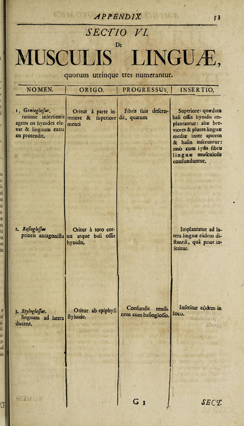Si SECTIO VI. De LINGUdE, quorum utrinque tres numerantur. NOMEN. ORIGO. PROGRESSUS. INSERTIO, l, Genicglojju*, ratione infertionis agens os hyoides ele¬ vat &amp; linguam extra os protendit. ■* ■; v Oritur a parte in¬ teriore &amp; fupetiore menti . /' tZ . . J» \ .. v » r Fibris fuis defeen- dic, quarum Superiore* quaedam bali olfis hyoidis im- piantantur: aliae bre¬ viores &amp; plures linguae mediae inter apicem &amp; balin inferuntur: imo cum i piis fibris linguae mufculofis confunduntur. t . 2. Baftogloffui prioris antagonifta Oritur i toto cor* nu atque bali olfis hyoidis* Xmplantatur ad la¬ tera linguae eadem di- ftantia, qua prior ia» Teritur. 3. Styloglofjitf, linguam ad latera ducens, * &lt; Oritur ab epiphyfi ftyloide. / —\ Confundit tendi- nem cum baliogloflo, ' ' 1 % Inferitur eodem iii loco. 1 / G * I SECX i