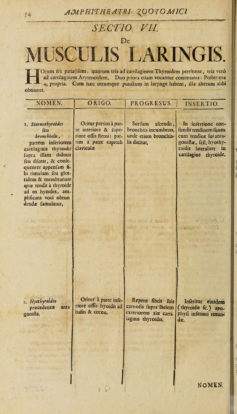 f4 SECTIO V1L De Orum fex pariajfunt, quorum tria ad cartilaginem Thyroidem pertinent, tria vero ad cartilaginem Arytenoidem. Duo priora etiam vocantur communia: Pofteriora 4, propria. Cum haec utrumque pun&amp;um in larynge habent, illa alterum alibi obtinent. NOMEN. ORIGO. PROGRESUS. | INSERTIO. i. Sternothyroidei feu bronchialis, partem inferiorem cartilaginis thyroidir fupra illam diducit feu dilatat, &amp; confe- quenter appenfam fi- bi rimulam feu glot- tidem &amp; membranam quae tendit a thyroide ad os hyoides, am¬ plificans voci obtun dendae famulatur. Oritur partim a par¬ te interiore &amp; fupe- riore ollis fterni: par- rim a parte capituli clavicula: Surfum afcendit, bronchiis incumbens, unde etiam bronchia» lis dicitur* 2. Hyothyroides praecedentis anta gomfta. In inferrionc con¬ fundit tendinem fuum cum tendine fuianta- goniftae, fcil. hyothy- roidis lateraliter in cartilagine thyroide. Oritur a parte infe¬ riore olfis hyoidis ad bafin &amp; cornu. Repens fibris fuis earnofis fupra faciem Inferitur eiusdem (thyroidis fc.) apo- &amp; — i * — y — —■ — — — wj ^ exteriorem alae carti- phyfi inferiori rotun iaginis thyroidis. dx. , I NOMEN,