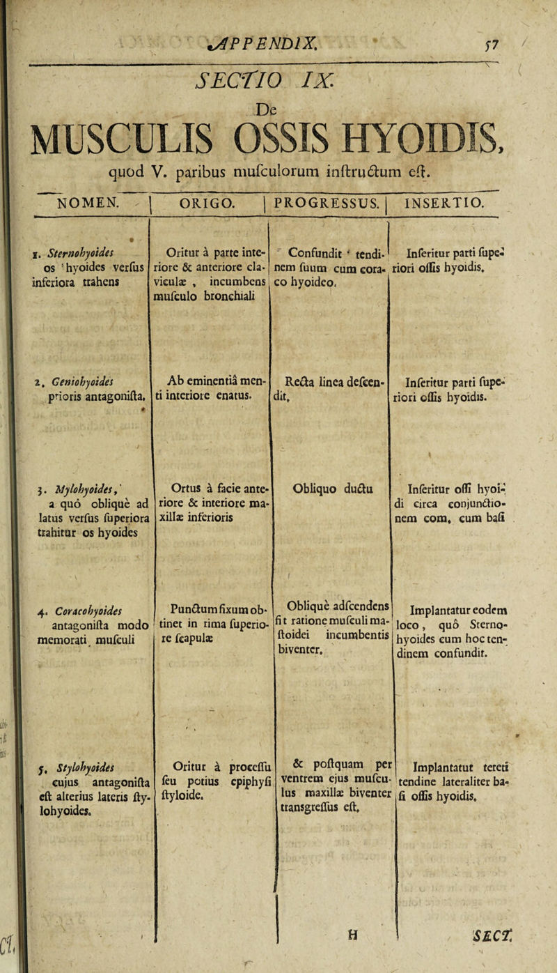 SECTIO IX. De MUSCULIS OSSIS HYQIDIS, quod V. paribus mufculorum inftru&amp;um eft* NOMEN. ^ \ ORIGO. PROGRESSUS. INSERTIO. • • i. Sternohyoidei os !hyoides verfus inferiora trahens Oritur a parte inte¬ riore &amp; anteriore cla¬ viculae , incumbens. mufculo bronchiali Confundit * tendi¬ nem fuum cum cora- eo hyoideo. Inferitur parti fupe- riori olfis hyoidis. 2, Geniohyoidei prioris antagonifta, 0 Ab eminentia men¬ ti interiore enatus. Reda linea defeen- dit. Inferitur parti fupe- riori offis hyoidis. 3. Mylohyoidei,' a quo oblique ad latus verfus fuperiora trahitur os hyoides Ortus a facie ante¬ riore &amp; interiore ma¬ xillae inferioris Obliquo dudu Inferitur ofli hyoi- di circa conjun&amp;io- nem com* cum bafi 4. Coracohyoidei antagonifta modo memorati mufeuli Pundum fixum ob- ’ tinet in rima fuperio- re fcapulae j' ( 1 Oblique adfcendens fit ratione mufeuli ma- ftoidei incumbentis biventer* Implantatur eodem loco, quo Sterno- hyoides cum hoc ten¬ dinem confundit. t y, Stylohyoidei cujus antagonifta cft alterius lateris fty- lohyoides. t 4 Oritur a proceffii (eu potius epiphyfi ftyloide. &amp; poftquam per ventrem ejus mufeu- lus maxillae biventer transgreffus eft* Implantatur tereti tendine lateraliter ba¬ fi offis hyoidis* ' / • H SE.CZ