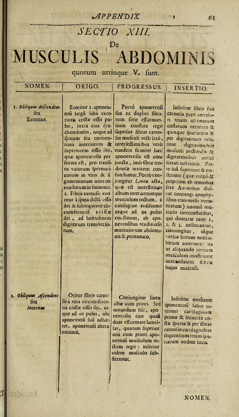 SECTIO XIII. De MUSCULIS ABDOMIN 'O &gt;3 quorum utrinque V* fune. NOMEN. ORIGO. PROGRESSUS. | INSERTIO. I. Obliquus dtfcendem feu Externus. Exoritur l.aponeu- rofi larga labii exte¬ rioris criftae offis pu¬ bis, juxta ejus fyn- chondrofin, usque ad fpmam feu eminen¬ tiam anteriorem &amp; fuperiorem offis ilei, quas aponeurofis per forata eft, pro tranfi* tu vaiorum fpermati- corum in viris &amp; Ii gamentorum uteri ro- 1 tundorum in foemims, i. Fibris carnofb exo ritur a fpina dida offis ilei &amp;liiblequenre cir¬ cumferentia criftae ilei , ad latitudinem digitorum transverfo- rum. Porro aponevrofi fua ex dupbci fibra¬ rum ferie efforman- tium conflata tegit fuperius fibras carno- fas mufculi redi laxe, inrerfediombus vero ejusdem firmiter haec aponevrcfis eft cor&gt; junda , imo fibrae ren- j dinofae invicem con- funduntur.Porro con- i jungitur Linea alba, quae eft interftititun album inter utrumque mulculumredum. a cartilagine cnfiforme usque ad os pubis coi,flatum, ab apo- nevrofibus tendinofis mufeulorum abdomi¬ nis &amp; peritonaeo, , ' V • Inferirur fibris fixis carnclis parti amtrio- n trium ultimarum coftarum verarum quinque fpuriarum Sc .per digitationes wfc» dtur digitationibus mufcuh pedoralis 5c digitationibus antici ferrati inferioris Par¬ te lua fuperioredt po- ftenore (quae vulgo St perperam ab omnibus fere Auronbus dici¬ tur conjungt apophy- fibus transverfis verte¬ brarum} nonnifi mu- iculis intercoftahbus, qui duntaxar inter i. 2. &amp; j. collocantur, conjungitur, idque verius horum mufeu- lorum anteriora: ita ut aliquando tertium muleulum conftiruant inreraoftalem fibris hujus mulculi. 2. Obliquus Afcendem feu lmernut Oritur fibris carno fisa tota circumferen¬ tia criftae offis ilei, us que ad os pubis, ubi aponevrofi fua adhae¬ ret, aponevrofi altera minime. Conjungitur lineae albae cum priori. Sed notandum hic, apo nevrofin ejus quafi duas efFormare lamel¬ las, quarum fupenor una cum priori apo¬ nevrofi mufculum re- dum tegit : inferior eidem mufculo fub- fternitur. In feritur mediante aponeurofi labio in¬ teriori cartilaginum primae &amp; fecundi co- ftae fpuriae &amp; per fibras carnofas cartilaginibus fequentium trium fpi*. riarum eodem loca NOMEN.