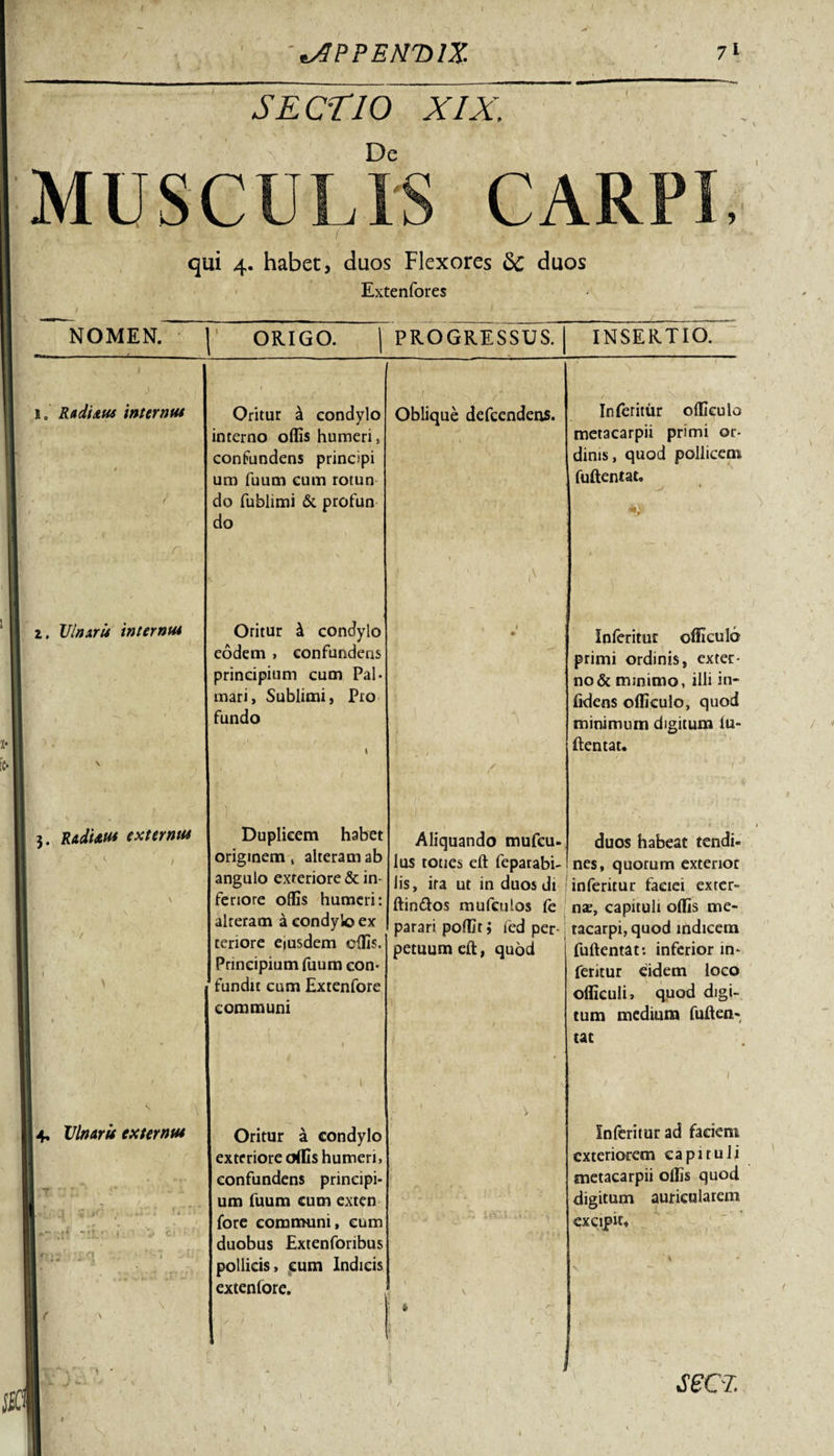 / APPENDIX 7l SECTIO XIX,, De qui 4. habet, duos Flexores 6c duos Extenfores ' / 4, Ulnaris externus I T ;i jjf; 1 s*r&lt; originem angulo exteriore &amp; in¬ feriore offis humeri: alteram a condylo ex tenore eiusdem effis. Principium fuum con- fundit cum Extenfore communi NOMEN. ORIGO. PROGRESSUS. INSERTIO. 1. Radixus internus t ■ ■ t . r Oritur £ condylo interno offis humeri, confundens principi um fuum cum rotun do fublimi &amp; profun do Oblique defeendens. •1 % •1 ■ \ Inferitur olficulo metacarpii primi or¬ dinis, quod pollicem fuftentat. *&gt; z. Ulnaris internus \ Oritur \ condylo eodem , confundens principium cum Pal¬ mari, Sublimi, Pro fundo l . 1 1 1 • * i Inferitur olficulo primi ordinis, exter¬ no &amp; minimo, illi in- lidens olficulo, quod minimum digitum lu- (lentat. 3. RadUus externus Duplicem habet Aliquando mufeu- duos habeat tendi- lus toties eft fepatabi-1 nes, quotum exterior lis, ira ut in duos di inferitur faciei exter- Oritur a condylo exteriore olfis humeri, confundens principi¬ um fuum cum exten fore communi, eum duobus Extenforibus pollicis, cum Indicis extenfore. ftinftos mufculos fe parari polfit i fed per¬ petuum eft, quod nae, capituli olfis me¬ tacarpi, quod indicem fuftentat: inferior in¬ feritur eidem loco ofliculi, quod digi¬ tum medium fuften- tat Inferitur ad faciem exteriorem capituli metacarpii olfis quod digitum auricularem excipit.