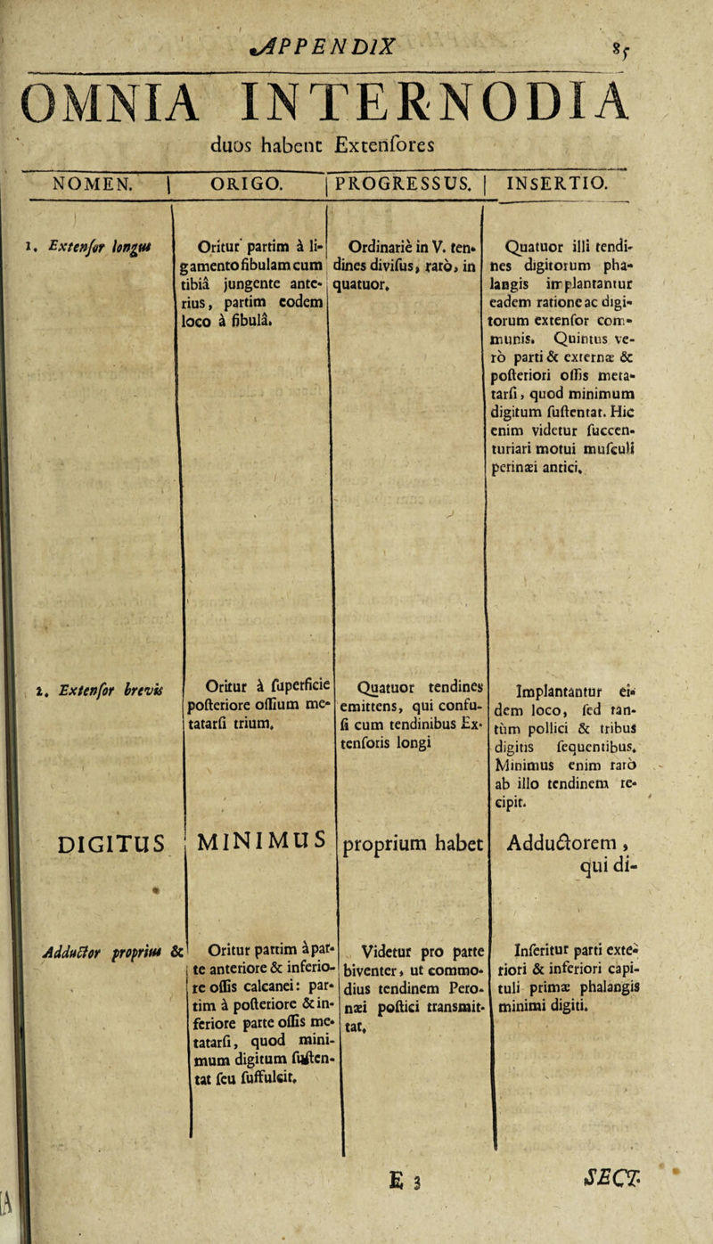 OMNIA INTERNODIA duos habenc Extenfores NOMEN. | ORIGO. PROGRESSUS. INSERTIO. i* Extenfor longus Oritur partim 4 li- Ordinarie in V. ten* g amento fibulam cum dines divifus, raro&gt; in tibia jungente ante- quatuor, rius, partim eodem loco &amp; fibula. i, Extenfor brevis Oritur £ fuperficie pofteriore offium me* tatarfi trium. DIGITUS MINIMUS idduclor proprius &amp; Oritur partim &amp;par te anteriore &amp; inferio¬ re offis calcanei: par¬ tim &amp; pofteriore &amp; in¬ feriore parte offis me* tatarfi, quod mini¬ mum digitum fuften- tat feu fuffulcit. Quatuor tendines emittens, qui confu- fi cum tendinibus £x* tenforis longi proprium habet Videtur pro parte biventer» ut commo¬ dius tendinem Pero* naei poftici transmit¬ tat, E 3 Quatuor illi tendi¬ nes digitorum pha¬ langis irr plantantur eadem ratione ac digi¬ torum extenfor com¬ munis. Quimus ve¬ ro parti &amp; externa &amp; pofteriori offis meta- tarfi&gt; quod minimum digitum fuftentat. Hic enim videtur fuccen- turiari motui mufculi perinaei antici. Implantantur ei* dem loco, fed tan¬ tum pollici &amp; tribus digitis fequentibus. Minimus enim raro ab illo tendinem re¬ cipit. Addu&amp;orem , qui di- Inferitur parti exte¬ riori &amp; inferiori capi¬ tuli primae phalangis minimi digiti. SECZ