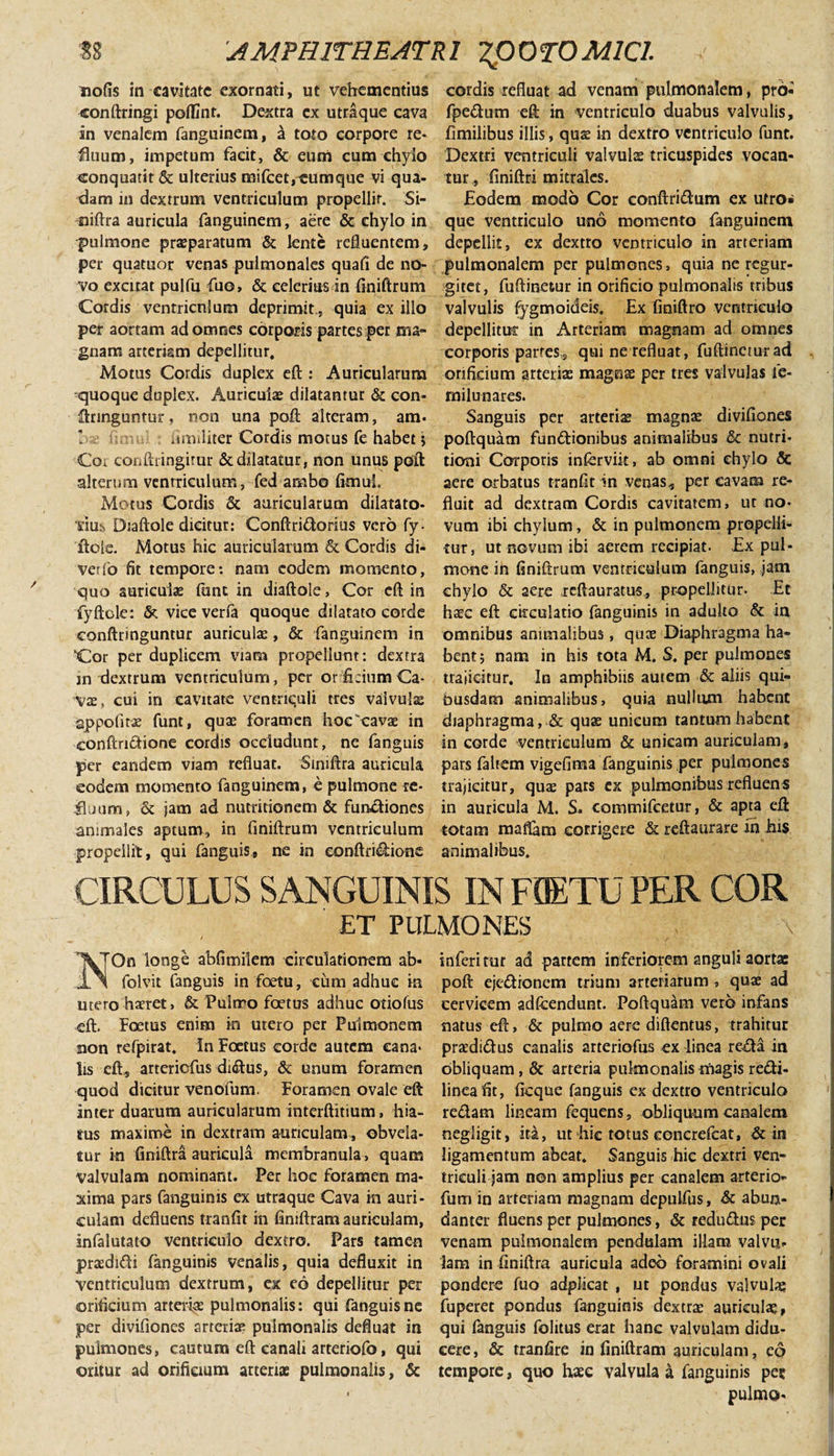 / conftringi pofllnt. Dextra cx utraque cava in venalem fanguinem, a toto corpore re¬ fluum, impetum facit, &amp; eum cum chylo conquatit &amp; ulterius mifcet,«umque vi qua¬ dam in dextrum ventriculum propellit. Si- miftra auricula fanguinem, aere &amp; chylo in pulmone praeparatum &amp; lente refluentem, per quatuor venas pulmonales quali de no¬ vo excitat pulfu fuo, &amp; celerius in finiftrum Cordis ventriculum deprimit, quia ex illo per aortam ad omnes corporis partes per ma¬ gnam arteriam depellitur. Motus Cordis duplex eft: Auricularum quoque duplex. Auriculae dilatantur &amp; con¬ fringuntur , non una poft alteram, am- iimiliter Cordis motus fe habet ; Cor confttingirur &amp; dilatatur, non unus poft alterum venrriculum, fed ambo fimui Motus Cordis &amp; auricularum dilatato- dus Diaftole dicitur: Conftridorius vero fy- ftoie. Motus hic auricularum &amp; Cordis di- verfo fit tempore: nam eodem momento, quo auriculae funt in diaftole. Cor eft in fyftcle: &amp; vice verfa quoque dilatato corde conftringuntur auriculae , &amp; fanguinem in Cor per duplicem viam propellunt: dextra in dextrum ventriculum, per orfkium Ca¬ vae, cui in cavitate ventriculi tres valvulae appolitae funt, quae foramen hoc'cavae in conftridione cordis occludunt, ne fanguis per eandem viam refluat. Siniftra auricula eodem momento fanguinem, e pulmone -re¬ fluum , &amp; jam ad nutridonem &amp; functiones animales aptum, in finiftrum ventriculum propellit, qui fanguis, ne in conftridione fpedum eft in ventriculo duabus valvulis, fimilibus illis, quae in dextro ventriculo funt. Dextri ventriculi valvulae tricuspides vocan¬ tur finiftri mitrales. £odem modo Cor conftridum ex utro* que ventriculo uno momento fanguinem depellit, ex dextro ventriculo in arteriam pulmonalem per pulmones, quia ne regur- gitet, fuftinefeur in orificio pulmonalis tribus valvulis fygmoideis. Ex finiftro ventriculo depellitur in Arteriam magnam ad omnes corporis partes, qui ne refluat, fuftineturad orificium arterias magnae per tres valvulas le- milunares. Sanguis per arteria magnae divifiones poftquam fundionibus animalibus &amp; nutri* doni Corporis inferviit, ab omni chylo &amp; aere orbatus tranfit in venas, per cavam re¬ fluit ad dextram Cordis cavitatem, ut no¬ vum ibi chylum, &amp; in pulmonem propelli¬ tur, ut novum ibi aerem recipiat. Ex pul¬ mone in finiftrum ventriculum fanguis, jam chylo &amp; aere reftauratus, propellitur. Et haec eft circulatio fanguinis in adulto &amp; in omnibus animalibus, quae Diaphragma ha¬ bent j nam in his tota M. S. per pulmones trajicitur. In amphibiis autem &amp; aliis qui¬ busdam animalibus, quia nullum habent diaphragma, &amp; quae unicum tantum habent in corde ventriculum &amp; unicam auriculam, pars faltem vigefima fanguinis per pulmones trajicitur, quae pars ex pulmonibus refluens in auricula M. S. commifcetur, &amp; apta eft totam m a fiam corrigere &amp; reftaurare m his animalibus. CIRCULUS SANGUINIS IN FflETU PER COR ET PULMONES On longe abfimilem circulationem ab- folvit fanguis in foetu, cum adhuc in utero haeret, &amp; Pulmo foetus adhuc otiofus eft. Fcetus enim in utero per Pulmonem non refpirat. In Foetus corde autem cana¬ lis eft, arteriefus didus, &amp; unum foramen quod dicitur venofum. Foramen ovale eft inter duarum auricularum interftitium, hia- tus maxime in dextram auriculam , obvela¬ tur in finiftra auricula membranula, quam valvulam nominant. Per hoc foramen ma¬ xima pars fanguinis ex utraque Cava in auri¬ culam defluens tranfit in finiftram auriculam, infalutato ventriculo dextro. Pars tamen praedidi fanguinis venalis, quia defluxit in ventriculum dextrum, ex eo depellitur per orificium arteriae pulmonalis: qui fanguis ne per divifiones arterias pulmonalis defluat in pulmones, cautum eft canali arteriofo, qui oritur ad orificium arteriae pulmonalis, &amp; inferi tur ad partem inferiorem anguli aortas poft ejedronem trium arteriarum , quae ad cervicem adfcendunt. Poftquam vero infans natus eft, &amp; pulmo aere diftentus, trahitur pradidus canalis arteriofus ex linea refta in obliquam, &amp; arteria pulmonalis magis redi- linea fit, ficque fanguis ex dextro ventriculo redam lineam fequens, obliquum canalem negligit, ita, ut hic totus eoncrefcat, &amp; in ligamentum abeat. Sanguis hic dextri ven¬ triculi jam non amplius per canalem arterio- fum in arteriam magnam depulfus, &amp; abun¬ danter fluens per pulmones, &amp; redudus per venam pulmonalem pendulam illam valvu¬ lam in finiftra auricula adeo foramini ovali pondere fuo adpiicat , ut pondus valvula fuperet pondus fanguinis dextrae auriculas, qui fanguis folitus erat hanc valvulam didu¬ cere , &amp; tranfire in finiftram auriculam, eo tempore, quo haec valvula a fanguinis per pulmo- •)