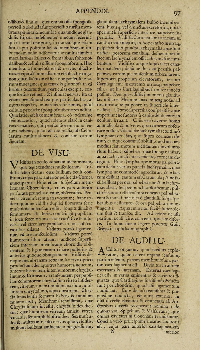 97 ofiibusd finulis, quas omnia offa fpongiofa perioft io obdudaftintjperioftio rurfus mem¬ brana pituitaria incumbit, quae undique glan¬ dulis llipata indelinenter mucum feceniit, qui ut omni tempore, in quocunque etiam litu caput politum lit, ad membranam im¬ buendam adiit, ad fervatur in multis finubus maxillaribus fcilicetd frontalibus, fphoenoi- dalibusd cellulis offium fpongioforam. Ha:c membrana fpongiofa eft d nervos olfacto¬ rios excipit, d im mediatum eft olfactus orga- 11011, qui olfactus in ea fieri non poffet,ftne na¬ rium mucagine, quae tenax dglutinofa in ea haerens odorantium particulas excipit, eos- que fortius retinet, &amp; infinuat nervis, ita ut etiam per aliquod tempus particulas has, a- motis objectis, in narinis retineamus, quod cellula: praedictas fpongiofa: uberiores adfuit. Quo latior eft haec membrana, eo itidem hic fenfus acutiorj quod videmus clare in cani¬ bus venaticis, qui praeftantiorem hunc fen- fum habent, quam alia animalia, ob Cellu¬ larum multitudinem &amp; conicam earum figuram. DE VISU- VIdiftis in oculo adnatam membranam, quae tegit tendines mufculornm. Vi- diftis fcleroticam, quae bulbum oculi con- ftituit, cujus pars anterior pellucida-Cornea nuncupatur: Huic etiam fubjectam mem¬ branam Choroidem, cujus pars anterior perforata prunella dicitur, obfervaftis. Pru- nellae circumferentia iris vocatur; hanc iri- dem quoque-vidiftis duplici fibrarum ferie mufculofa inftructam effe, longitudinali d femilunari. Illa feries conftringit pupillam in locis ferenioribus: haec ver A ftve fcmilu- naris vel circularis papillam in locis obfcu- rioribus dilatat. Vidiftis porro ligamen¬ tum ciliare mufculoflim. Vidiftis porro humorem illum atrum, undique fuperfi- ciem internam membranae choroidis obli¬ nentem &amp; ligamentum ciliare pofterius d anterius quoque obnigrantem. Vidiftis de¬ nique membranam retinam a nervo optico produdam: denique tres humores, aqueum, anterius haerentem, inter humorem c hryft al¬ linunt &amp; Corneam, tranfeuntem per pupil¬ lam &amp; hqmorem chryftallinu vitreo infiden- tem, vitreum autem omnium maximu, mol¬ liorem chryftallino, aqua duriorem. Chry- ftallinus lentis formam habet, &amp; omnium minimus eft Membrana tenuiflima , quae Chryftallinum inveftit, chryftalloides dici¬ tur: quae humorem vitreum amicit, vitrea vocatur, feuamphibloftroides. Sexmufcu- los &amp; multos in oculo nervos quoq; vidiftis, multam bulbum ambientem pinguedinem. glandulam lachrymalem bulbo incumben¬ tem, hujus4. vel f. dndusexcretorios,quife aperiunt in fuperficie interiore palpebra: fu- perioris. Vidiftis Carunculam carneam, in cantho oculi majori, in hoc cantho in utraq; palpebra duo punda lachrymalia, quaefunt orificia pororum canalium delinentium in faecum lachrymalem ofli lachrymal i incum¬ bentem. Vidiftis quoque hujus facci cana¬ lem nafalem j denique duas adfpexiftis pal¬ pebras, earumque mufculum orbicularem, fuperioris proprium elevatorem , terfum Cartilaginem: in extremo utriusq; palpebrae cilia, ut his Cartilaginibus firmiter innedl poffint. -Denique vidiftis innumeras glandu¬ las miliares Meibomianas mucaginofas ad ora utriusque palpebrae in fuperficie inter¬ na fitas. Ultimo fupercilia confpexiftis, qme impediunt ne fudores a capite depluentes in oculum irruant. Ciliis vero avertit homo animal iculad pulveres qua: corneam obdu¬ rare poffint. Glandula: lachrymalis continuo lympham erudat, quae fupra corneam de¬ fluit, eamque continuo abluit; quod ut com¬ modius fiat, motum niditantem involunta¬ rium habent palpebra, qua fpongiae inftar, aqua lachrymali interveniente, corneam de¬ tegunt. Hinc lympha ope motus palpebra¬ rum defluit verius punda lachrymalia, qua lympha ut commode ingrediatur, &amp; in fae¬ cum defluat, cautum eft Caruncula j &amp; ne fa¬ cile effluat per ora palpebrarum din lachry- mas abeat, fed per punda abforbeatur, pul¬ chre cautum eftftrudura concava palpebra¬ rum dinundione olei e glandulis fubpaloe- bralibus defluentis, d ora palpebrarum In¬ tingentis. Aqua enim non facile fuper ole¬ um fluit d tranfeendit. Ad cetera: deufu partium oculi fcire, convenit opticam difee- re. In hunc finem legere poteritis Guih Briggsin ophthalmographia. DE AUDITU \ Uditus organon, quod facilius explo- L ratur, quam cetera organa fenfuum, partim offeum, partim membranofum,par- tim cartilagineum eft. Dividitur in aurem externam d internam. Externa cartilagi- neaeft, in varias eminentias d cavitates fi¬ gurata, quae Cartilagines fortiffimeobdudx: funt perichondrio, quod alii ligamentum nominant. Cute denuo tenuiflima d pin¬ guedine obduda , eft auris externa, in qua diverfie cavitates d eminentiae ab Au- doribus diverfa receperunt nomina ( de quibus vid. Spigelium d Valfalvam) qux omnes cavitates in Concham terminantur. Concha vero principium meatus auditorii eft , cujus pars anterior cartilaginea eft, N inferior