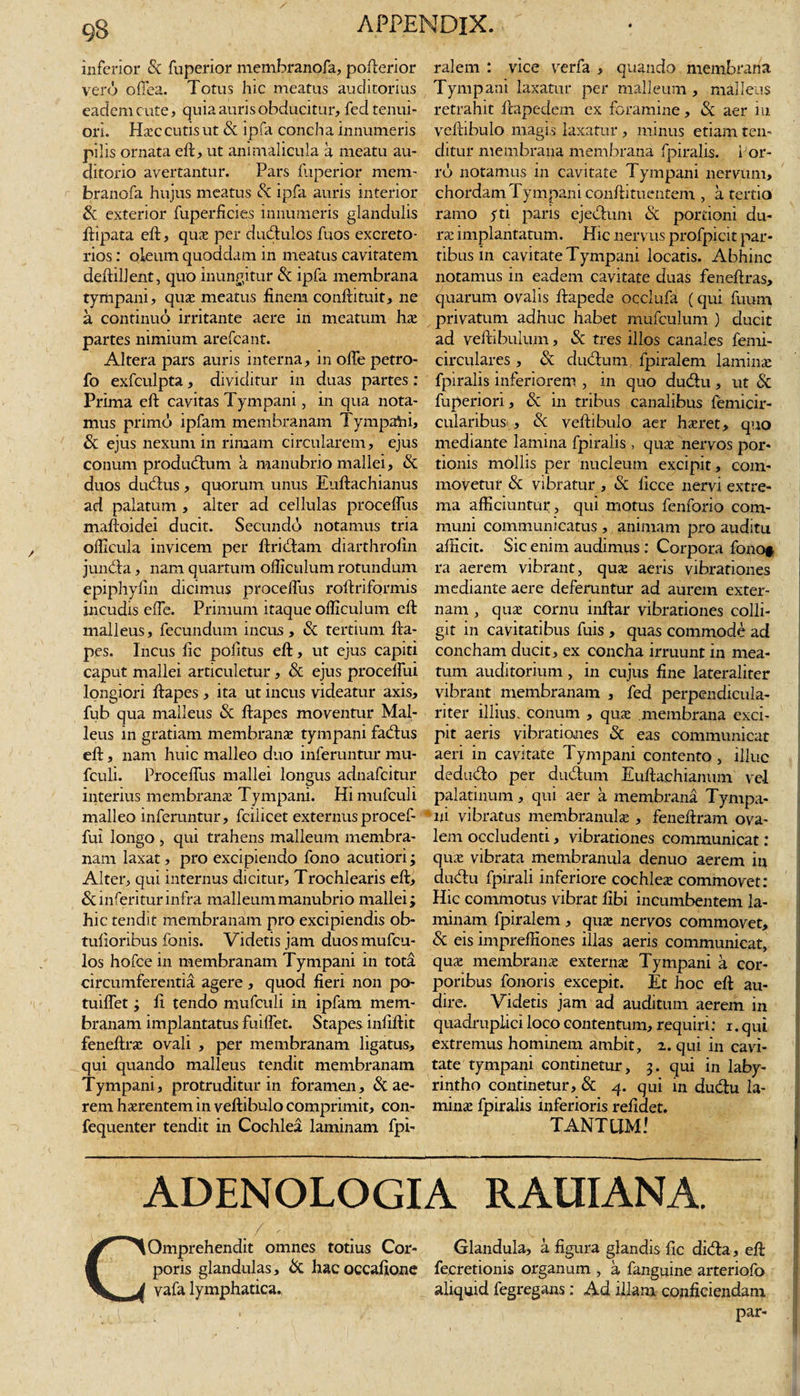 9§ inferior Si fuperior membranofa, pofterior vero odea. Totus hic meatus auditorius eadem cute, quia auris obducitur, fed tenui¬ ori. Haec cutis ut &amp; ipfa concha innumeris pilis ornata eft, ut animalicula a meatu au¬ ditorio avertantur. Pars fuperior mem- branofa hujus meatus Si ipfa auris interior Si exterior fuperficies innumeris glandulis ftipata eft, quae per dudulos fuos excreto¬ rios : oleum quoddam in meatus cavitatem deftillent, quo inungitur Si ipfa membrana tympani, quae meatus finem conftituit, ne a continuo irritante aere in meatum hx partes nimium arefcant. Altera pars auris interna, in offe petro- fo exfculpta, dividitur in duas partes : Prima eft cavitas Tympani, in qua nota¬ mus primo ipfam membranam Tympahi, Si ejus nexum in rimam circularem, ejus conum produdum a manubrio mallei, Si duos dubius, quorum unus Euftachianus ad palatum , alter ad cellulas proceffus maftoidei ducit. Secundo notamus tria officula invicem per ftridam diarthrofin junda, nam quartum ofllculum rotundum epiphyfin dicimus proceffus roftriformis incudis effe. Primum itaque officulum eft malleus, fecundum incus, Si tertium fta- pes. Incus fic politus eft, ut ejus capiti caput mallei articuletur, 8i ejus proceffui longiori ftapes , ita ut incus videatur axis, fub qua malleus &amp; ftapes moventur Mal¬ leus in gratiam membranas tympani fadus eft, nam huic malleo duo inferuntur mu- fculi. Proceffus mallei longus adnafcitur interius membranae Tympani. Himufculi malleo inferuntur, fciiicet externus procef¬ fui longo , qui trahens malleum membra¬ nam laxat, pro excipiendo fono acutiori; Alter, qui internus dicitur. Trochlearis eft, &amp; in feritur infra malleum manubrio mallei; hic tendit membranam pro excipiendis ob- tufioribus fonis. Videtis jam duosmufcu- los hofce in membranam Tympani in tota circumferentia agere , quod fieri non po- tuiffet; fi tendo mufculi in ipfam mem¬ branam implantatus fuiffet. Stapes infiftit feneftrac ovali , per membranam ligatus, qui quando malleus tendit membranam Tympani, protruditur in foramen, &amp; ae¬ rem haerentem in veftibulo comprimit, con- fequenter tendit in Cochlea laminam fpi- ralem : vice verfa , quando membrana Tympani laxatur per malleum , malleus retrahit ftapedem ex foramine, Si aer iu veftibulo magis laxatur , minus etiam ten¬ ditur membrana membrana fpiralis. Por¬ ro notamus in cavitate Tympani nervum, chordam Tympani conftituentem , a tertio ramo yti paris ejedum &amp; portioni du¬ rae implantatum. Hic nervus profpicit par¬ tibus in cavitate Tympani locatis. Abhinc notamus in eadem cavitate duas feneftras, quarum ovalis ftapede occlufa (qui fuum privatum adhuc habet mufculum ) ducit ad veftibulum, &amp; tres illos canales femi- circulares , Si dudum fpiralem laminae fpiralis inferiorem , in quo dudu, ut Si fuperiori, Si in tribus canalibus femicir- cularibus , Si veftibulo aer haeret, quo mediante lamina fpiralis, quae nervos por¬ tionis mollis per nucleum excipit, com¬ movetur Si vibratur , Si ficce nervi extre¬ ma afficiuntur , qui motus fenforio com¬ muni communicatus , animam pro auditu afficit. Sic enim audimus : Corpora fono#. ra aerem vibrant, quae aeris vibrationes mediante aere deferuntur ad aurem exter¬ nam , quas cornu inftar vibrationes colli¬ git in cavitatibus fuis , quas commode ad concham ducit, ex concha irruunt in mea¬ tum auditorium , in cujus fine lateraliter vibrant membranam , fed perpendicula- riter illius, conum , quae membrana exci¬ pit _ aeris vibrationes Si eas communicat aeri in cavitate Tympani contento, illuc dedudo per dudum Euftaehianum vel palatinum, qui aer a membrana Tympa¬ ni vibratus membranulae , feneftram ova¬ lem occludenti, vibrationes communicat: quae vibrata membranula denuo aerem iit dudu fpirali inferiore cochleae commovet: Hic commotus vibrat fibi incumbentem la¬ minam fpiralem , quae nervos commovet. Si eis impreffiones illas aeris communicat, quae membranae externas Tympani a cor¬ poribus fonoris excepit. Et hoc eft au¬ dire. Videtis jam ad auditum aerem in quadruplici loco contentum, requiri: i. qui extremus hominem ambit, 2. qui in cavi¬ tate tympani continetur, 3. qui in laby¬ rintho continetur, &amp; 4. qui in dudu la¬ minae fpiralis inferioris relidet. TANTUM! ADENOLOGIA RAUIANA. CQmprehendit omnes totius Cor- Glandula, a figura glandis fic dida, eft poris glandulas. Si hacoccafione fecretionis organum , a fanguine arteriofo vafa lymphatica. aliquid fegregans: Ad illam conficiendam . par-