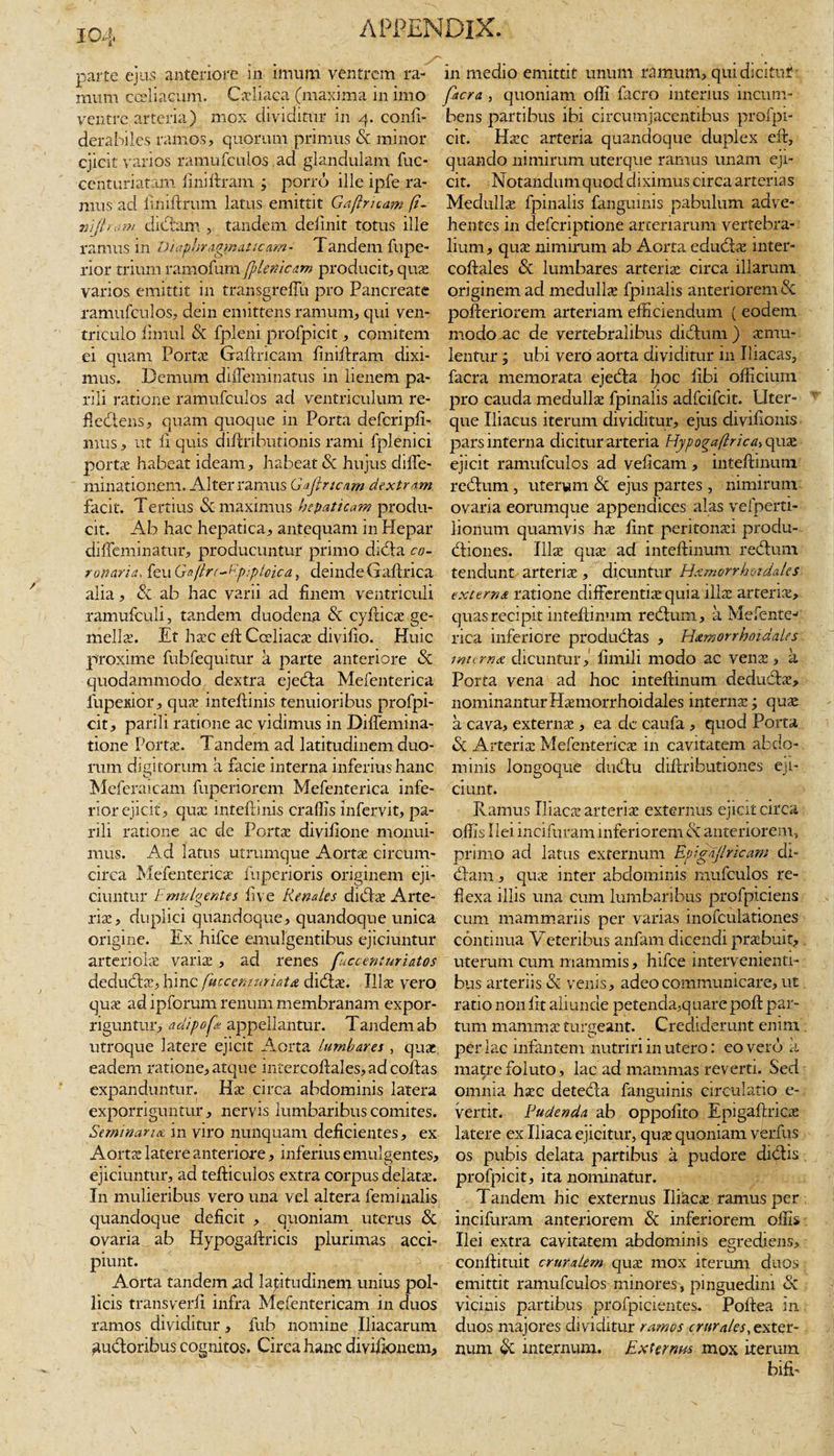 parte ejus anteriore m imum ventrem ra¬ mum cceliacum. Gcliaca (maxima in imo ventre arteria) mox dividitur in 4. confi- derabiles ramos, quorum primus &amp; minor ejicit varios ramufculos, ad glandulam fuc- centuriatam finiftram ; porro ille ipfe ra¬ mus ad finiftrum latus emittit Gaftruam (i~ wjlram dictam , tandem delinit totus ille ramus in Diaphragmaticam- Tandem fupe- rior trium ramofum [pleriicam producit, quas varios emittit in transgrefiu pro Pancreate ramufculos, dein emittens ramum, qui ven¬ triculo fimul &amp; fpleni profpicit, comitem ei quam Portas Gaftricam finiftram dixi¬ mus. Demum difieminatus in lienem pa¬ rili ratione ramufculos ad ventriculum re- fledlens, quam quoque in Porta defcripft- mus, ut li quis diftributionis rami fplenici portae habeat ideam, habeat &amp; hujus dilfe- minationem. Alter ramus Gaji ricam dextram facit. Tertius &amp; maximus hepaticam produ¬ cit. Ab hac hepatica, antequam in Hepar diffeminatur, producuntur primo didla co¬ ronaria&gt; feu Gaftre-P.piploica, deinde Gaftrica alia, &amp; ab hac varii ad finem ventriculi ramufculi, tandem duodena &amp; cyfticae ge¬ mellae. Et ha?c eft Cceliacse divifio. Huic proxime fubfequitur a parte anteriore &amp; quodammodo dextra ejedla Mefenterica fupefiior, quas intefiinis tenuioribus profpi¬ cit, parili ratione ac vidimus in Difiemina- tione Portae. Tandem ad latitudinem duo¬ rum digitorum a facie interna inferius hanc Mcferaicam fuperiorem Mefenterica infe¬ rior ejicit, quas intefiinis craffis lnfervit, pa¬ rili ratione ac de Portae divifione monui¬ mus. Ad latus utrumque Aortas circum¬ circa Mefenterica’ fuperioris originem eji¬ ciuntur Emulgentes five Renales didlx Arte¬ rias, duplici quandoque, quandoque unica origine. Ex hifce emulgentibus ejiciuntur artenolte varix, ad renes fuccenturiatos dedudbe, hinc fuccemuriata clidfie. Illae vero quas ad ipforum renum membranam expor¬ riguntur, adipofa appellantur. Tandem ab utroque latere ejicit Aorta lumhar.es , quae eadem ratione, atque intercoftales,adcoftas expanduntur. Has circa abdominis latera exporriguntur, nervis lumbaribus comites. Seminaria, in viro nunquam deficientes, ex Aortae latere anteriore, inferius emulgentes, ejiciuntur, ad tefticulos extra corpus delatas. In mulieribus vero una vel altera feminalis quandoque deficit , quoniam uterus &amp; ovaria ab Hypogaftricis plurimas acci¬ piunt. Aorta tandem ad latitudinem unius pol¬ licis transverfi infra Mefentericam in duos ramos dividitur, fub nomine Iliacarum pudoribus cognitos. Circa hanc divifionem, in medio emittit unum ramum, quidicituf facra , quoniam offi facro interius incum¬ bens partibus ibi circumjacentibus profpi¬ cit. Hasc arteria quandoque duplex eft, quando nimirum uterque ramus unam eji¬ cit. Notandum quod diximus circa arterias Medullas fpinalis fangmnis pabulum adve¬ hentes in deferiptione arteriarum vertebra¬ lium , quas nimirum ab Aorta eduefias iuter- coftales &amp; lumbares arterias circa illarum originem ad medullae fpinalis anteriorem &amp; pofteriorem arteriam efficiendum ( eodem modo ac de vertebralibus didlum) aemu¬ lentur ; ubi vero aorta dividitur in Iliacas, facra memorata ejedla fioc libi officium pro cauda medullae fpinalis adfeifeit. Uter¬ que Iliacus iterum dividitur, ejus divifionis pars interna dicitur arteria Hypogaftrica, quae ejicit ramufculos ad veficam , inteftinum redtum , uterum &amp; ejus partes , nimirum ovaria eorumque appendices alas vefperti- lionum quamvis hae fint peritonaei produ- dtiones. Illae qux ad inteftinum redlum tendunt arteriae, dicuntur Hamorrh01 dedes externa ratione differentiae quia illae arteriae, quas recipit inteftinum redlurn, a Mefentm rica inferiore produdlas , Hamorrhoidales interna dicuntur, fimili modo ac venae, a Porta vena ad hoc inteftinum dedudlae, nominanturHaemorrhoidales internas; quae a cava, externae , ea de caufa , quod Porta &amp; Arteriae Mefentericae in cavitatem abdo¬ minis longoque dudtu diftributiones eji¬ ciunt. Ramus Iliacae arteriae externus ejicit circa offis Ilei mcifuram inferiorem dt anteriorem, primo ad latus externum Epigajlricam di- dlam, quae inter abdominis mufculos re¬ flexa illis una cum lumbaribus profpiciens cum mammariis per varias inofculationes continua Veteribus anfam dicendi praebuit, uterum cum mammis, hifce intervenienti¬ bus arteriis &amp; venis, adeo communicare, ut ratio non fit aliunde petenda,quarepoft par¬ tum mamma? turgeant. Crediderunt enim per lac infantem nutriri in utero: co vero a matre foluto, lac ad mammas reverti. Sed omnia haec detedla fanguinis circulatio e- vertit. Rudenda ab oppofito Epigaftricx latere ex Iliaca ejicitur, quae quoniam verfus os pubis delata partibus a pudore didlis profpicit, ita nominatur. Tandem hic externus Iliacae ramus per incifuram anteriorem &amp; inferiorem offis Ilei extra cavitatem abdominis egrediens, conllituit cruralem qua? mox iterum duos emittit ramufculos minores, pinguedini &amp; vicinis partibus profpicientes. Poftea in. duos majores dividitur ramos crurales, exter¬ num dc internum. Externus mox iterum bifi-