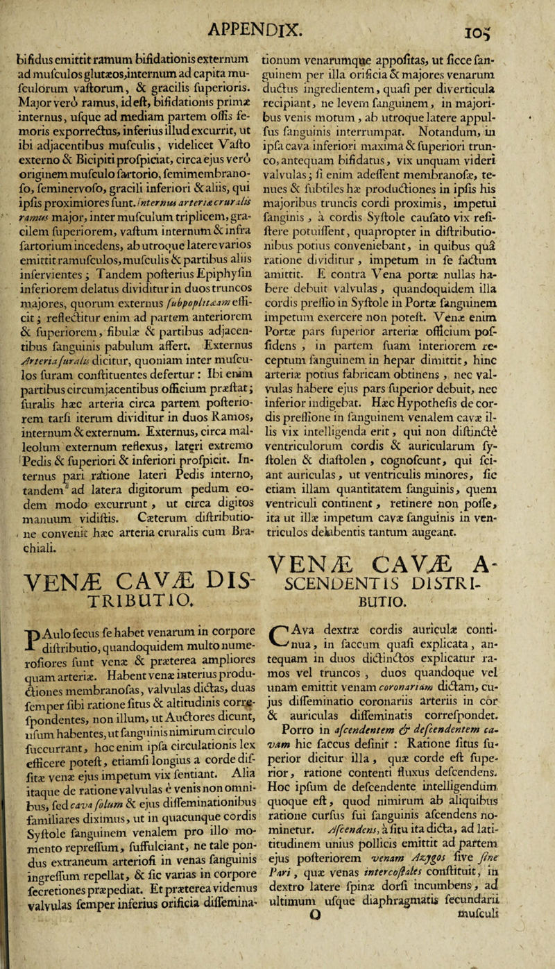 APPENDIX. ■ io,- bifidus emittit ramum bifidationis externum tionnm venarumque appofitas, ut ficce fan- ad mufculos gluta:os,internum ad capita mu- guinem per illa orificia &amp; majores venarum fculorum vaftorum, &amp; gracilis fuperioris. dudus ingredientem, quafi per diverticula Major vero ramus, id eft, bifidationis primae recipiant, ne levem fanguinem, in majori- internus, ufque ad mediam partem ollis fe- bus venis motum, ab utroque latere appul- moris exporredus, inferius illud excurrit, ut fus fanguinis interrumpat. Notandum, in ibi adjacentibus mufculis , videlicet Vafto ipfacava inferiori maxima &amp; fuperlori trun- externo &amp; Bicipiti profpiciat, circa ejus vero co, antequam bifidatus, vix unquam videri originem mufculo fartorio, femimembrano- valvulas; fi enim adedent membranofa:, te- fo, feminervofo, gracili inferiori &amp; aliis, qui nues &amp; fubtiles hae productiones in ipfis his ipfisproximioresfunx.Jntcrnit* arter i&amp;crur alis majoribus truncis cordi proximis, impetui ramus major, inter mufculum triplicem, gra- fanginis , a cordis Syftole caufato vix refi- cilem fuperiorem, vallum internum &amp; infra flere potuiffent, quapropter in diftributio- fartorium incedens, ab utroque latere varios nibus potius conveniebant, in quibus qua emittit ramufculos, mufculis &amp; partibus aliis ratione dividitur, impetum in fe factum infervientes ; Tandem pofterius Epiphyfin amittit. E contra Vena porta: nullas ha- inferiorem delatus dividitur in duos truncos bere debuit valvulas, quandoquidem illa majores, quorum externus fubpopltuamc.ffi- cordis preflioin Syftole in Portae fanguinem citi reflectitur enim ad partem anteriorem impetum exercere non poteft. Venae enim &amp; fuperiorem, fibulas &amp; partibus adjacen- Porta: pars fuperior arteria: officium pof- tibus fanguinis pabulum affert. Externus fidens , in partem fuam interiorem rc« Arteriafur alis dicitur, quoniam inter mufcu- ceptum fanguinem in hepar dimittit, hinc los furam conftituentes defertur : Ibi enim arteria: potius fabricam obtinens , nec val- partibus circumjacentibus officium praeftat; vulas habere ejus pars fuperior debuit, nec furalis haec arteria circa partem pofterio- inferior indigebat. Haec Hypothefis de cor- rem tarfi iterum dividitur in duos Ramos, dis preflione in fanguinem venalem cavae il- internum &amp; externum. Externus, circa mal- lis vix intelligenda erit, qui non diftinde leolum externum reflexus, lateri extremo ventriculorum cordis &amp; auricularum fy- I Pedis &amp; fuperiori &amp; inferiori profpicit. In- ftolen &amp; diaftolen , cognofcunt, qui fci- ternus pari raftione lateri Pedis interno, ant auriculas, ut ventriculis minores, fic tandem ad latera digitorum pedum eo- etiam illam quantitatem fanguinis, quem dem modo excurrunt, ut circa digitos ventriculi continent, retinere non pofie, manuum vidiftis. Caeterum diftributio- ita ut illa: impetum cava: fanguinis in ven- , ne convenit ha:c arteria cruralis cum Bra- triculos deiabentis tantum augeant, chiali. ^ ^ VENyE CAVJE A- YENiE CAVyE DIS' scendentis distri- TRIBUTIO, butio. &lt; P Aulo fecusfe habet venarum in corpore Ava dextra cordis auricula: conti- diftributio,quandoquidem multonume- ^nua, in faecum quafi explicata, an- rofiores funt vena: &amp; prxterea ampliores tequam in duos didindos explicatur ra- quam arterix. Habent venae interius produ- mos vel truncos , duos quandoque vel diones membranofas, valvulas didas, duas unam emittit venam coronariam didam, cu- femper fibi ratione fitus &amp; altitudinis corre- jus difleminatio coronariis arteriis in cor fpondentes, non illum, ut Audores dicunt, &amp; auriculas difleminatis correfpondet. tifum habentes, ut fanguinis nimirum circulo Porro in afeendentem &amp; defundentem ca- fuccurrant, hoc enim ipfa circulationis lex vam hic faccus definit : Ratione fitus fu- efficere poteft, etiamfi longius a corde dif- perior dicitur illa, qua: corde eft fupe- fita: vena: ejus impetum vixfentiant. Alia rior, ratione contenti fluxus defeendens. itaque de ratione valvulas e venis non omni- Hoc ipfum de defeendente intelligendiim bus, fed cava folum &amp; ejus difleminationibus quoque eft, quod nimirum ab aliquibus familiares diximus, ut in quacunque cordis ratione curfus fui fanguinis afeendens no- Syftole fanguinem venalem pro illo mo- minetur, A/cendens,3.iituit3.didi3.&gt; ad lati- mento repreffum, fuffulciant, ne tale pon- titudinem unius pollicis emittit ad partem dus extraneum arteriofi in venas fanguinis ejus pofteriorem venam Azygos five fine ingrefium repellat, &amp; fic varias in corpore Pari, qua: venas intercofiales conftituit, in fecretiones pra:pediat. Et praeterea videmus dextro latere fpina: dorfi incumbens , ad valvulas femper inferius orificia diflemina- ultimum ufque diaphragmatis fecundant Q mufculi
