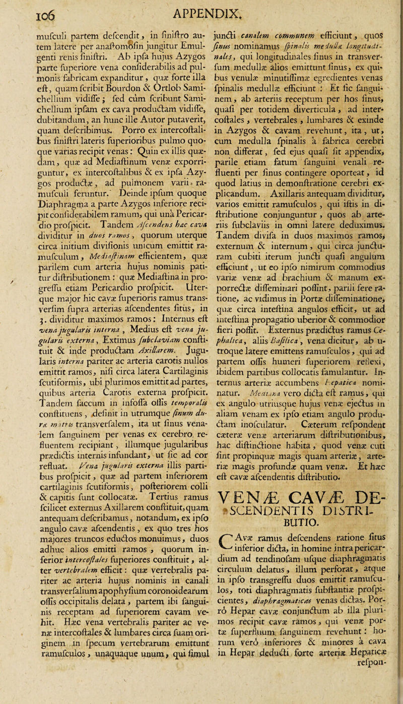 mufcuij partem defcendit, in finiftro au¬ tem latere per anaftomofin jungitur Emul¬ genti renis finiftri. Ab ipfa hujus Azygos parte fuperiore vena confiderabilis ad pul¬ monis fabricam expanditur, quae forte illa eft, quam feri bit Bourdon &amp; Ortlob Sami- chellium vidilfe ; fed cum feribunt Sami- chellium ipfam ex cava produdam vidilfe, dubitandum, an hunc ille Autor putaverit, quam deferibimus. Porro ex intercoftali- bus ftniftri lateris fuperioribus pulmo quo¬ que varias recipit venas: Quin ex illis quae¬ dam, quae ad Mediaftinum venae exporri¬ guntur, ex intercoftahbus &amp; ex ipfa Azy¬ gos produdae, ad pulmonem varii * ra- mufculi feruntur.' Deinde ipfum quoque Diaphragma a parte Azygos inferiore reci¬ pit conliderabilem ramum, qui una Pericar¬ dio profpicit. Tandem Ajcendens hoc cava dividitur in duos ramos, quorum uterque circa initium divifionis unicum emittit ra- mufculum, Mediafimam efficientem, quae parilem cum arteria hujus nominis pati¬ tur diftributionem : quae Mediaftina in pro- greffu etiam Pericardio profpicit. Uter¬ que major hic cavae fuperioris ramus trans- verfim fupra arterias afeendentes litus, in l. dividitur maximos ramos: Internus eft vena jugularis interna , Medius eft vena ju¬ gularis externa , Extimus fubclaviam COnfti- tuit &amp; inde produdam Axillarem. Jugu¬ laris interna pariter ac arteria carotis nullos emittit ramos, nift circa latera Cartilaginis fcutiformis, ubi plurimos emittit ad partes, quibus arteria Carotis externa profpicit. Tandem faecum in infofla offis temporalis conftituens , definit in utrumque finum du¬ ra mattis transverfalem, ita ut finus vena¬ lem fanguinem per venas ex cerebro, re¬ fluentem recipiant, illumque jugularibus praedidis internis infundant, ut fic ad cor refluat, l^ena jugulans externa illis parti¬ bus profpicit, quae ad partem inferiorem cartilaginis fcutiformis, pofteriorem colli &amp; capitis funt collocata:. Tertius ramus fcilicet externus Axillarem conftituit,quam antequam deferibamus, notandum, ex ipfo angulo cavae afeendentis, ex quo tres hos majores truncos edudos monuimus, duos adhuc alios emitti ramos , quorum in¬ ferior tntercojlales fuperiores conftituit, al¬ ter vertebralem efficit: quae vertebralis pa¬ riter ac arteria hujus nominis in canali transverfalium apophyfium coronoidearum offis occipitalis delata, partem ibi fangui- nis receptam ad fupenorem cavam ve¬ hit. Haec vena vertebralis pariter ac ve¬ nae intercoftales &amp; lumbares circa fuam ori¬ ginem in fpecum vertebrarum emittunt ramufculos &gt; unaquaque unum, qui ftmul jundi canalem communem efficiunt, quOS finus nominamus (pinalis medullo longitudi¬ nales, qui longitudinales finus in transver- fum medullae alios emittunt finus, ex qui* bus venulae minutiffimae egredientes venas fpinalis medullae efficiunt : Et fic fangui¬ nem , ab arteriis receptum per hos finus, quali per totidem diverticula, ad inter¬ coftales , vertebrales , lumbares &amp; exinde in Azygos &amp; cavam revehunt, ita , ut, cum medulla fpinalis a fabrica cerebri non differat, fed ejus quali lit appendix, parile etiam fatum fanguini venali re¬ fluenti per finus contingere oporteat, id quod latius in demonftratione cerebri ex¬ plicandum. Axillaris antequam dividitur, varios emittit ramufculos , qui iftis in di- ftnbutione conjunguntur , quos ab arte¬ riis fubclaviis in omni latere deduximus. Tandem divifa in duos maximos ramos, externum &amp; internum, qui circa jundu- ram cubiti iterum jundi quali anguium efficiunt, ut eo ipfo nimirum commodius variae venae ad brachium &amp; manum ex- porredae difleminari poffint, parili fere ra¬ tione, ac vidimus in Portae difleminatione, quae circa inteftina angulos efficit, ut ad inteftina propagatio uberior &amp; commodior fieri poffit. Externus praedidus ramus Ce¬ phalica, aliis Bafillca , vena dicitur, ab u- troque latere emittens ramufculos, qui ad partem offis humeri fuperiorem reflexi, ibidem partibus collocatis famulantur. In¬ ternus arteriae accumbens hepatica nomi* natur. Meatana vero dida eft ramus, qui ex angulo utriusque hujus venae ejedus in aliam venam ex ipfo etiam angulo produ¬ dam inofculatur. Caeterum refpondent caeterae venae arteriarum diftributionibus, hac diftindione habita, quod venae cuti lint propinquae magis quam arteriae, arte¬ riae magis profundae quam venae. Et haec eft cavae afeendentis diftributio. VENjE CAVffi de¬ scendentis distri¬ butio. Avae ramus defeendens ratione litus inferior dida, in homine intra pericar¬ dium ad tendinofam ufque diaphragmatis circulum delatus , illum perforat, atque in ipfo transgrelfu duos emittit ramufcu¬ los, toti diaphragmatis fubftantiae profpi- cientes, diaphragmaticos venas didas. Por¬ ri Hepar cavae conjundum ab illa pluri¬ mos recipit cavae ramos, qui venae por¬ tae fuperfliium. fanguinem revehunt: ho¬ rum vero inferiores &amp; minores a cava in Hepar dedudi forte arteriae Hepatica refpoii-