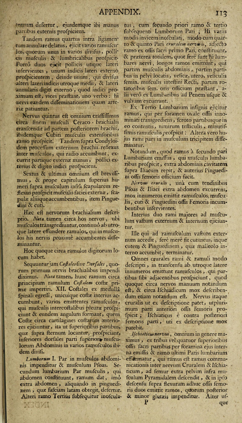 ternum defertur , ejusdemque ibi manus partibus externis profpiciens. Tandem ramus quartus intra ligamen' tum annulare delatus, ejicit varios ramufcu' los, quorum unus in varios divifus, polii' cis mufculis «St lumbricalibus profpicit- Porro duos ejicit pollicis utique lateri mfervientes , unum indicis lateri externo profpicientem , deinde unum, qui divifus alteri lateri indicis utroque medii, «Sc lateri annularis digiti externo , quod indici pro¬ ximum eft, vices praeftant, uno verbo : hi nervi eandem difleminationem quam arte¬ riae patiuntur. Nervus quintus eft omnium craffiffimus circa finem mufculi Ceraco - brachialis tranfcendit ad partem pofteriorem brachii, ibidemque Cubiti mufculis extenfonbus ramo profpicit. Tandem fupra Condyloi- dem proceffum externum brachii, reflexus inter mufculos, qui radio accumbunt, ex¬ currit partique externae manus, pollici ex¬ terius «St digito indici profpiciens. Sextus &amp; ultimus omnium eft breviffi* xnus , &amp; prope capitulum fuperius hu¬ meri fupra mufculum infra fcapularem re- ftexus profpicit mufculis faciei externa, fca- pulx aliisqueaccumbentibus, item Pingue¬ dini &lt;Sc cuti. Haec eft nervorum brachialium defcri* ptio. Nota tamen circa hos nervos , ubi mufculos transgrediuntur, continuo ab utro¬ que latere effundere ramulos,, qui in mufcu¬ los his nervis proxime accumbentes diffe- minantur. Hoc quoque circa ramulos digitorum lo¬ cum habet. Sequuntur jam Coftales'five Dor [ales , quo¬ rum primum nervis brachialibus impendi diximus. Nota tamen, hunc ramum circa principium ramulum Cofl.dem coftac pri¬ mae impertiri. XII. Coftales ex medulla fpinali egreffi, unicuique coftae interius ac¬ cumbunt, varios emittentes ramufculos, qui mufculis intercoftalibus pleurae profpi* ciunt &amp; eundem angulum formant, quem Coftae circa cartilagines coftarum anterio¬ res ejiciuntur, ita ut fuperioribus partibus, quae fupra llernum locantur, profpiciant, inferiores dorfales parti fuperiori» mufcu- lorum Abdominis in varios ramufculos ibi¬ dem diviln Lumborum I. Par in mufculos abdomi¬ nis impenditur &amp; mufculum Pfoas. Se¬ cundum lumbarium Par mufculis , qui abdomen conftituunt, ramum dat, imo extra abdomen , aliquando in pinguedi¬ nem , quae fafeiam latam obtegit, defertur. Alteri ramo Tertius fubfequitur inofcula- 1X3 tus, cum fecundo priori ramo &amp; tertio fubfequenti Lumborum Pari ; Hi vanis modis invicem inofculati, modo cum quar¬ to «St quinto Pari cruralem nervuw, adjctfto ramo ex offis facri primo Pari, conftituunt, &amp; praeterea totidem, quot fere furit hi lum- bares nervi, longos ramos emittilnt, qui partim mufculis abdominis , partim parti¬ bus in pelvi locatis, veiicae, utero, veliculis fernin. mufculis inteftini Redti, partim ro¬ tatoribus fem. oris officium praeftant, a- lii ver&lt;j ex Lumbaribus ad Penem ufque «St vulvam excurrunt. Ex T ertio Lumbarium infignis ejicitur ramus, qui per foramen ovale offis inno¬ minati transgrediefis, feroto partibusquein eo contentis, nimirum tefticulis ^ minutif- fimis ramufcu 1 is profpicit: Altera vero hu¬ jus rami pars 111 mufculum tricipitem diffe- minatur. Notandum, quod ramus a fecundo pari Lumbarium emifllis , qui mufculis lumba¬ ribus profpicit, extra abdominis cavitatem fupra Iliacum repit, «Sc auterius Pinguedi¬ ni offis femoris officium facit. Nervus cruralis , una cum tendinibus Pfoas «St Iliaci extra abdomen excurrens, mox innumeros emittit ramufculos, mufcu¬ lis , cuti &amp; Pinguedini offis Femoris incum¬ bentibus infervientes. '«•■ Interius duo rami majores ad mufeu- , lum vaftuin externum &amp; internum ejiciun¬ tur. Ille qui ad ramufculum vaftuni exter¬ num accedit &gt; fere mere fit cutaneus, inque Cutem &lt;Sc Pinguedinem , quas malleolo in¬ terno accumbit, terminatur. Omnes crurales rami &amp; ramuli riiodo deferipti, in tranfcenfu ab utroque latere innumeros emittunt ramufculos , qui par¬ tibus fibi adjacentibus profpiciunt, quod quoque circa nervos manuum notandum eft, &amp; circa Ifchiadicum mox defcnben- * f dum etiam notandum eft. Nervus itaque cruralis ut ex deferiptione patet, utpluri- mum parti anteriori offis femoris pro¬ fpicit ; Ifchiaticus e contra pofteriori femoris parti, uti ex deferiptione mox patebit. .Ifchiaticus nervus, Omnium in genere ma¬ ximus , ex tribus vel quatuor fuperioribus offis facri partibus per foramina ejus inter¬ na emiffis «St ramo ultimi Paris lumbarium eff#rmatur , qui ramus eft ramus commu¬ nicationis inter nervum Cruralem «St Ifchia- ticum, ad femur extra pelvim infra mu¬ fculum Pyramidalem defeendit, «St in ipfc» defcenfu fupra flexuram adhuc offis femo¬ ris duos emittit ramos, qtforum pofteriof &amp; minor glutafis impenditur» Alter ui* P '' que