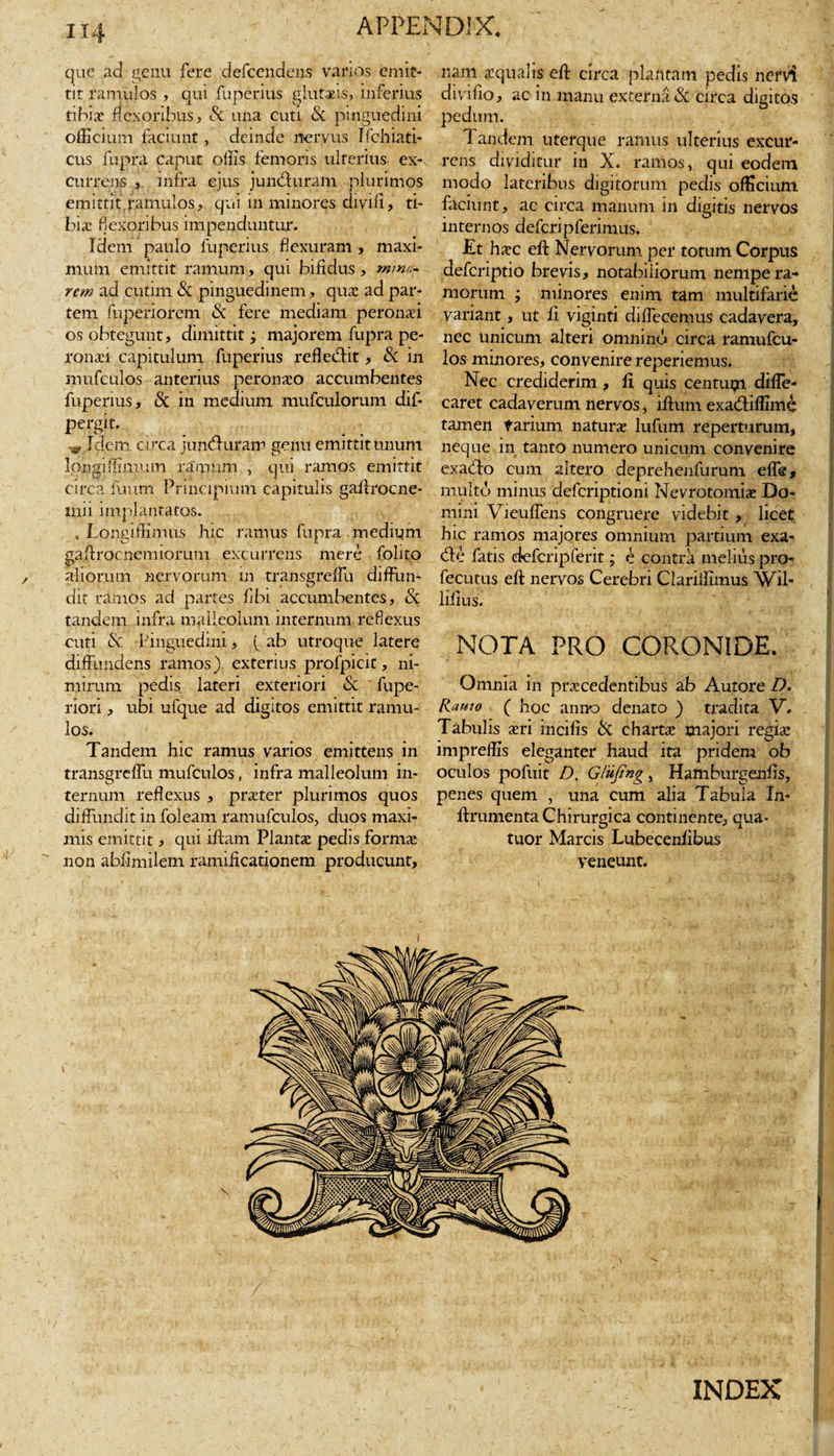 que ad'genu fere defcendens varios emit¬ tit ramulos , qui fuperius glutaeis, inferius tibiae flexoribus, &amp; una cuti &amp; pinguedini officium faciunt , deinde nervus Ifchiatl- cus fupra caput offis femoris ulterius ex¬ currens , infra ejus jundluram plurimos emittit,ramulos, qui in minores diviii, ti¬ biae flexoribus impenduntur. Idem paulo fuperius flexuram , maxi¬ mum emittit ramum, qui bifidus , mina¬ rem ad cutim &amp; pinguedinem, quae ad par¬ tem Superiorem &amp; fere mediam peronaei os obtegunt, dimittit, majorem fupra pe¬ ronaei capitulum fuperius refledlit, &amp; in mufculos anterius peronaeo accumbentes fuperius, &amp; in medium mufculorum dif- pergit. _ 4 . Idem circa juncfturarr genu emittit unum longiffinium ramum , qui ramos emittit circa fuum Principium capitulis gaftrocne- mii implantatos. , Longiffimus hic ramus fupra medium eaftrocnem 10rum excurrens mere folito &lt;p 4 aliorum nervorum in transgreffu diffun¬ dit ramos ad partes fibi accumbentes, &amp; tandem infra malleolum internum reflexus cuti &amp; Pinguedini, f ab utroque latere diffundens ramos) exterius profpicit, ni¬ mirum pedis lateri exteriori &amp; fupe- riori, ubi ufque ad digitos emittit ramu¬ los. Tandem hic ramus varios emittens in transgreffu mufculos, infra malleolum in¬ ternum reflexus , praeter plurimos quos diffundit in folearn ramufculos, duos maxi¬ mis emittit, qui iftam Planta pedis formae non abfimiletn ramificationem producunt. nam aequalis eff circa plantam pedis nervi divido, ac 111 manu externaSc circa digitos pedum. 1 andem uterque ramus ulterius excur¬ rens dividitur in X. ramos, qui eodem modo lateribus digitorum pedis officium faciunt, ac circa manum in digitis nervos internos defcripferimus. Et haec eft Nervorum per totum Corpus deferiptio brevis, notabiliorum nempe ra¬ morum ; minores enim tam multifarie variant, ut li viginti diffecemus cadavera, nec unicum alteri omnino circa ramufcu¬ los minores, convenire reperiemus. Nec crediderim, fi quis centuipi diffe- caret cadaverum nervos, iffum exa&amp;iffime tamen tarium natura: lufum repertarum, neque in tanto numero unicum convenire exadlo cum altero deprehenfurum effe, multo minus deferiptioni Nevrotomiae Do¬ mini Vieuffens congruere videbit, licet hic ramos majores omnium partium exa- dfe fatis ckfferipferit • e contra melius pro- fecutus eft nervos Cerebri Clariffimus Wil- lifius. NOTA PRO CORONIDE. Omnia in praecedentibus ab Autore D. Kauto ( hoc anno denato ) tradita V. Tabulis aeri incilis &amp; chartae majori regia: impreffis eleganter haud ita pridem ob oculos pofuit D. Giujtng, Hamburgenfis, penes quem , una cum alia Tabula In- ftrumenta Chirurgica continente, qua- tuor Marcis Lubecenfibus veneunt. INDEX