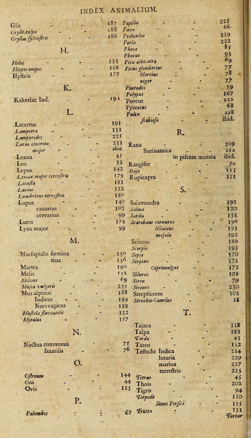 index animalium. Glis Gryllo-talpa Gryllus fylveftris H. Halec Hippocampus Hyftrix K. Kakerlac Ind. L. Lacertus Lampetra Lampyrides Larus cinereus major Lesena Leo Lepus Limax major terrejlru Locufla Lucius Norvvagicus Muflela fluviatilis Mytulus N. Nodua communis faxatilis o. Oftreum Otis Ovis /' p. Palumbes 187 188 186 133 168 177 192. 191 131 22* 231 ibid. 4* 32 142 J79 181 122 Papilio Pavo Pediculus Perla Phoca Phocus Pica albo-dtra Picus glandarius Martius niger Pintados Polypus Porcus Pfittacus Pulex fcabiofa. 221 66- R. Rana Surinamica Rangifer Raja Rupicapra in pifcem mutata s. 188 132 1*7 T. T ajaca Talpa Larda Taxus 76 Teftudo Indica lutaria 7* 144 44 125 marina terreftris Tetrao Thois Tigris Torpedo C7 Trutta Sinus Perfld 229 222 8* b 77 78 , 77 167 in 68 ibid. 209 112. ibid. 72. 12T III Lumbricus Urreflris I80 - • * Lupus 14° Salamandra 192 canarius 102 Salmo - * 120 cervarius 99 Sarda - - 133 Lutra 174 Scarabaus cornutus 190 Lynx major 99 liliaceus 193 majalis 192 M. Sciurus 189 Scorpio 193 Marfupialis femina 13° Sepia 170 mas, 136 Serpens 17,1 Martes 190 Caprimulgus 172 Melis Silurus 101 Milvus 69 Siren 79 Mufca vulgaris 22* rSirones 230 Mus alpinus l88 Strepliceros 103 Indicus &lt;*&gt; - I89 Strutbio-Camelus 18 m 183 45 152 214 229 22 7 225 45 202 94 lio 115 Turtur 4 i