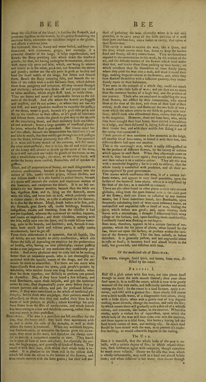 away the vifcidities of the blood ; it fortifies the ftomach, and promotes digeftion in the bowels, by it’s gently {Emulating the mufcular fibres, attenuates the vifcidities lodged in the glailds, and affords a nervous juice. But hydromel, that is, honey and water boiled, and kept un- fermeuted, with cinnamon, ginger, and nutmegs, is a powerful cleanfer of the lungs, it helps expectoration, and {heaths the (harp prickling lalts which tickle the tracheal glands; for that, not having undergone fermentation, abounds with many oily parts and falts, which, , not being fo minute and fubtile as in the other, prick not, nor {Emulate the nerves and glands ; neither are the oily parts fo grdfs as to cloy and load the fmall veffels of the lungs, but foften and fmooth them, {heath the {harp irritating faltS, and fmooth the in- fides of the veflels with a noble balfamic litus, which defehds them from pungency and irritation, till they recovef ftrength and elallicity ; whereby they {hake off and propel any vilcid or faline moifture, which might fluff, load, of tickle them. Thus are honey and mead of unfpeakable fervice to the dif- eafes of the breaft. And alfo where the bowels are lluggilh and ina£Hve, and do not anfwer ; or where they are too dry and ffiff, and want glandular moifture to expedite the paffage of the faeces, mead is good, becaufe it’s grofs falts prick and ftir up the inteftines to their office, or it’s grofs oil lubricates and foftens them, caufes the glands to give way to the impulfe of the circulating blood, and their excretory ducfts are foften ed and widened ; hence a large quantity of inteftinal glandu¬ lar juice, whereby ftool is provoked. But vinous mead has not this effect, becaufe the fermentation has fubtilized it’s oil and falts fo much, that they readily get through the firft paffages into the blood, without producing that effect. I he cenomali (i. e. wine and honey mixed) of the antients, will fti 11 make the wine more pectoral; that is to fay, the oil and vifcid parts of the honey will obtund or (heath up the tartar of the wine, fo as it will not prick nor tickle the glands of the throat, to ex¬ cite a troublefome cough ; trie wine, on the other hand, will make the honey more cordial, ftomachic, and of quicker di¬ geftion. Mead, and all preparations of honey, are moft difagreeable to choleric conftitutions, becaufe it foon degenerates into the nature of bile, caufes terrible gripes, bilious chulics, and not feldom death : it is alfo hurtful in ardent fevers, becaufe it’s fpirits will increafe the violent and impetuous motion of the humours, and exafperate the difeafe. It is no left un¬ suitable for hot fummer weather, becaufe then the folids are lax, digeftion flow, and it, lying on the ftomach, meets with the biles, and turns into an acid, which prefently raifes a violent cholic ; fo that, as cyder is adapted for the fummer, fo is this for the winter. Mead, drank before it be fine, palls the ftomach, goes {lowly off, caufes belchings, flatulency, indigeftion, naufea and vomiting, from the vifcidity it had not yet depofited, wherein the contained air rarifies, expands, and caufes an explofton; and thefe vifcidities, meeting with the bile, eafily turn into the fame, and fo caufe bilious vomit¬ ing, pain in the bowels, and loofenefs ; and, becaufe it con¬ tains both much fpirit and vifcous parts, it eafily caufes drunkennefs, hard to get off. From thefe obfervations it is apparent, that all liquids, like all folids, are not fuitable to every conftitution , which alfo (hews the folly of depending on empirics for the prefervation of healthy who, having no true philofophy, cannot poffibly make a true judgment of any medicine they confidently pre- fcribe. And every phyfician may be truly faid to be nothing better than an impudent quack, who is not thoroughly ac¬ quainted with the fpecific nature of the drugs, and the mi¬ nerals he dares to adminifter. Yet there are too many who fupercilioufly ftrut about the town, pick people’s pockets by wholefale, who neither know one drug from another, when they fee them together, nor Ikilfully to perform one procefs in chymiftry. But, if they have heard a few le&ures, and read Boerhaave, upon thofe fubjedfs, and got the technical terms by rote, they dogmatically prate away before their ig¬ norant patients and others, and pafs for profound fellows : when, if they were catechized in the whole of medicinal phi¬ lofophy, before thofe who arejudges, their patients would be aftonilbed, to think that they had trufted their lives in the hands of fuch pedants in phyfic ; whofe knowlege has only been ftolen from the files of apothecaries, and whofe fuccefs has been owing to a low and deteftible cunning, rather than to any real merit in their profeffion. Bees-wax. The wax is a provifion not lefs neceffary for the bee, than the honey itfelf: they build their apartments with it, and it clofes trie cells of the nymphs, as well as thofe where the honey is treafured. When any accidents happen, any fractures open, or whenever the fpecies grow too nume¬ rous, they recur to the wax; and therefore are always care¬ ful to provide a competent quantity in time. They fearch for it upon ail forts of trees and plants, but efpecially the roc¬ ket, the fingle poppy, and generally all kinds of flowers. They ariiafs it with their hair, with which their whole body is in¬ verted. It is pleafant to fee them roll in the yellow duff, which fall from the chives to the bottom of the flowers, and {hen return covered with the fame grains; but their beft me- thod of gathering the wax, efpecially when it is riot very plentiful, is to carry away all the little particles of it with their jaws and fore-feet, into a focket or cavity, that opens at their hinder-feet; This cavity is made to receive the wax, like a fpoon, and the hair, which covers their feet, ferves to keep the burden fixed and fteady, till they return home. They are fometimes expofed to inconveniencies in this work, by the motion of the air, and the delicate texture of the flowers which bend under their feet, and hinder them from packing up their bootv ; on which occafions they fix themfelves on feme fteady place, where they prefs the wax into a mafs, and wind it round their legs, making frequent returns to the flowers; and, when they have flocked themfelves with a fufficient quantity, they imme¬ diately repair to their habitation. Two men in the compafs of a whole day, could not amafs fo much as two little balls of wax ; and yet they are no more than the common burden of a fingle bee, and the produce of one journey. Thofe who are employed in collecting the wax from flowers, ate affifted by their companions, who attend them at the door of the hive, eafe them of their load at their arrival, brufh their feet, - and {hake out the two balls of wax ; upon which the others return to the fields to gather new trea- fures, whilft thofe who difburdened them, convey their charge to the magazine. However, there are fome bees, who, wheii (hey have brought their load home, have carried it themfelves to a lodge, and there delivered it, laying hold of one end with their hinder feet, and with their middle feet Aiding it out of the cavity that contained it. Thefe parcels of wax continue a few moments in the lodge, till another fet of bees come, to knead it with their feet, into different fheets laid upon one another. This is the unwrought wax, which is eafily diftinguiflied to be the produce of different flowers, by the variety of colours which appear in each fheet. When they afterwards come to work it, they knead it over again; they purify and whiten it, and then reduce it to a uniform colour. They ufe this wax with a wonderful frugality; for it is eafy to obferve, that the whole family is conducted with prudence, and all their ac¬ tions regulated by good government. The matter which conftitutes this wax, is of a certain bal¬ famic nature, and appears in very fmall quantities, upon the furface of the leaves of fome plants, where it is infpiffated by the heat of the fun ; as is manifeft in rofemary There are alfo often found in other plants certain very minute globules, rifing from the open feminal tufts in the main part of the flower; thefe can fcarce be collected by any human means, but I have fometimes found, fays Boerhaave, upon frequently cohobating fpirit of wine upon rofemary leaves, an unexpected and ungrateful tafte or fmell of wax, fouling the fpirit, which before was good ; and, upon viewing thefe leaves with a microfcope, I thought I difcovered little waxy rifings of the furface, and, upon handling them confiderably, I evidently found wax flicking to my fingers. Bees-wax, therefore, appears to be a certain fpecies of tur¬ pentine, which the fat juices of plants, when heated by the fun, fweat out upon the furface, or produce within the cavi¬ ties of the flowery tufts. This the bees coiled, as before defcribed. It is generally yellow, and not ungrateful either in tafte or fmell; it becomes hard and almoft brittle in the cold, but grows foft, and diffolves with heat. Of the medicinal ufe of Bees-Wax. The water, vinegar, foetid fpirit, and butter, from wax, di- ftilled by the retort. Process I. Half fill a glafs retort with fine wax, cut into pieces fmall enough to enter the wide mouth thereof; then pour clean fand upon it, fo as to fill the retort, which is now to be gently warmed till the wax melts, and fufficiently imbibes and mixes • among the fand : fet the retort in a fand furnace, apply a re¬ ceiver, and diftil with a gradual fire : there ufually firft comes over a little tartilh water, of a difagreeable fetid odour, along with a little fpirit; when with a gentle heat of 214 degrees nothing more afcends, change the receiver, and raife the fire ; by which means there will gradually arife a thin oil of a whitilh colour, and concrete, like butter, in the receiver. When this ceafes, apply a violent fire of fuppreffion, upon which the whole body of the wax will foon come over into the receiver, and there appear in a folid form, like butter; having loft the hard brittle nature of wax, and melting oily. So much fand fhould be here mixed with the wax, as to prevent it’s explo- five fwelling, as would otherwife happen in the boiling. The U s e. Here it is manifeft, that the whole body of the wax is vo¬ latile, with a certain degree of fire; in which refpedl there¬ fore, thefe fubftances agree with camphire, though camphire be much more volatile. Hence we fee alfo that wax, which is wholly inflammable, may exift in a hard and almoft brittle form; and when diffolved in hot vvater, then forced through 4 « a