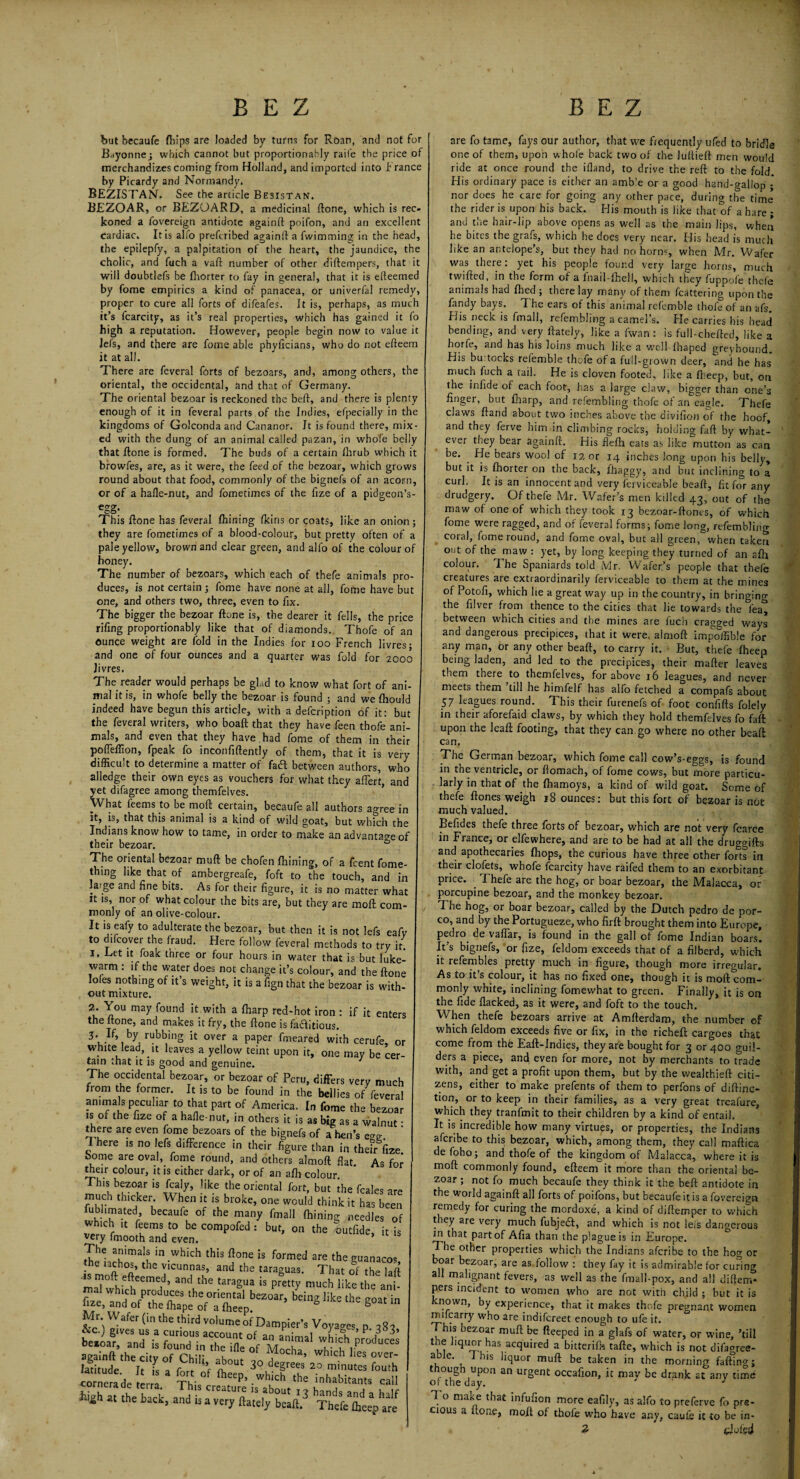 BEZ BEZ I but becaufe {hips are loaded by turns for Roan, and not for Bayonne; which cannot but proportionably raife the price of merchandizes coming from Holland, and imported into France by Picardy and Normandy. BEZISTAN. See the article BesisTan. BEZOAR, or BEZOARD, a medicinal Rone, which is rec¬ koned a fovereign antidote againfi poifon, and an excellent cardiac. It is alfo preferibed againft a fwimming in the head, the epilepfy, a palpitation of the heart, the jaundice, the cholic, and fuch a vaft number of other diftempers, that it will doubtlefs be fhorter to fay in general, that it is efteemed by fome empirics a kind of panacea, or univerfal remedy, proper to cure all forts of difeafes. It is, perhaps, as much it’s fcarcity, as it’s real properties, which has gained it fo high a reputation. However, people begin now to value it Jefs, and there are fome able phyficians, who do not efteem it at all. There are feveral forts of bezoars, and, among others, the oriental, the occidental, and that of Germany. The oriental bezoar is reckoned the beft, and there is plenty enough of it in feveral parts of the Indies, efpecially in the kingdoms of Golconda and Cananor. Jt is found there, mix¬ ed with the dung of an animal called pazan, in whofe belly that Rone is formed. The buds of a certain fhrub which it browfes, are, as it were, the feed of the bezoar, which grows round about that food, commonly of the bignefs of an acorn, or of a halle-nut, and fometimes of the fize of a pidgeon’s- egg* CO This Rone has feveral Riming Ikiris or coats, like an onion; they are fometimes of a blood-colour, but pretty often of a pale yellow, brown and clear green, and alfo of the colour of honey. The number of bezoars, which each of thefe animals pro¬ duces, is not certain ; fome have none at all, fome have but one, and others two, three, even to fix. The bigger the bezoar Rone is, the dearer it fells, the price riling proportionably like that of diamonds. Thofe of an ounce weight are fold in the Indies for ioo French livres; and one of four ounces and a quarter was fold for 2000 Jivres. The reader would perhaps be glad to know what fort of ani¬ mal it is, in whofe belly the bezoar is found ; and we fliould indeed have begun this article, with a defeription of it: but the feveral writers, who boaR that they have feen thofe ani¬ mals, and even that they have had fome of them in their poITeffion, fpeak fo inconfiRently of them, that it is very difficult to determine a matter of fad between authors, who alledge their own eyes as vouchers for what they affert, and yet difagree among themfelves. What feems to be moR certain, becaufe all authors agree in it, is, that this animal is a kind of wild goat, but which the Indians know how to tame, in order to make an advantage of their bezoar. 0 The oriental bezoar muR be chofen fliining, of a feent fome- thing like that of ambergreafe, foft to the touch, and in large and fine bits. As for their figure, it is no matter what it is, nor of what colour the bits are, but they are mofl com¬ monly of an olive-colour. It is eafy to adulterate the bezoar, but then it is not lefs eafv to difeover the fraud. Here follow feveral methods to try it. 1. Let it foak three or four hours in water that is but luke¬ warm : if the water does not change it’s colour, and the Rone o es nothing of it’s weight, it is a fign that the bezoar is with¬ out mixture. 2. You may found it with a Riarp red-hot iron : if it enters the Rone, and makes it fry, the Rone is fadftitious. 3. K, by rubbing it over a paper fmeared with cerufe, or white lead, it leaves a yellow teint upon it, one may be cer¬ tain that it is good and genuine. The occidental bezoar, or bezoar of Peru, differs very much from the former. It is to be found in the bellies of feveral an.mals peculiar to that part of America. In fome the bezoar is of the fize of a hafle-nut, in others it is as big as a walnut • there are even fome bezoars of the bignefs of a hen’s egg. I here is no lefs difference in their figure than in their fize borne are oval, fome round, and others almoR flat As for their colour, it is either dark, or of an alh colour. This bezoar is fcaly, like the oriental fort, but the feales are muen tnicker. When it is broke, one would think it has been fubl,mated becaufe of the many fmall Ihining needles of wffich it feems to be compofed: but, on the outfide, it is very fmooth and even. The animals in which this Rone is formed are the guanacos the lachos, the vicunnas, and the taraguas. That of the laR h-2r?* an.,he ,i,ra8ua is wmud' n*e, rx'bczoar> beins like ,he 8°at “ Mr. Wafer (m'hethifdTOlumeofOjmpier.s Voyac.es p iSl be*oar*V and’ is “ aira>' which rodfee againft the ci v ofChi', h ' °f *Iod“* which lies °*=r- hi*h at the bach, and is a Thtte^e are fo tame, fays our author, that we frequently ufed to bridle one of them, upon whofe back two of the luftieR men would ride at once round the ifland, to drive the reR to the fold. His ordinary pace is either an amb’e or a good hand-gallop ; nor does he care for going any other pace, during the time the rider is upon his back. His mouth is like that of a hare ; and the hair-lip above opens as well as the main lips, when he bites the grafs, which he does very near. His head is much like an antelope’s, but they had no horm, when Mr. Wafer was there: yet his people found very large horns, much twifled. in the form of a fnail-fbell, which they fuppofe thefe animals had filed; there lay many of them fcattering upon the fandy bays. 7 he ears of this animal refemble thofe of an afs. His neck is fmall, refembling a camel’s. Fie carries his head bending, and very flately, like a fwan : is full-chefied, like a horfe, and has his loins much like a well fhaped greyhound. His bu tocks refemble thofe of a full-grown deer, and he has much fuch a tail. He is cloven footed, like a fiieep, but, on the inlide of each foot, has a large claw, bigger than one’s finger, but {harp, and refembling thofe of an eagle. Thefe claws Rand about two inches above the divifion of the hoof, and they ferve him in climbing rocks, holding fafl by what¬ ever they bear againfi. His flefii eats as like mutton as can be. . He bears wool of 12 or 14 inches long upon his belly, but it is fhorter on the back, fhaggy, and but inclining to a curl. It is an innocent and very fei viceable beafi, fit for any drudgery. Of thefe Mr. Wafer’s men killed 43, out of the maw of one of which they took 13 bezoar-Rones, of which fome were ragged, and of feveral forms; fome long, refembling coral, fome round, and fome oval, but all green,'when taken out of the maw : yet, by long keeping they turned of an afii colour. The Spaniards told Mr. Wafer’s people that thefe creatures are extraordinarily ferviceable to them at the mines of Potofi, which he a great way up in the country, in bringing the filver from thence to the cities that lie towards the feat between which cities and the mines are fuch cragged ways and dangerous precipices, that it were, almofi impoffible for any man, or any other beafi, to carry it. But, thefe Rieep being laden, and led to the precipices, their mafler leaves them there to themfelves, for above 16 leagues, and never meets them till he himfelf has alfo fetched a compafs about 57 leagues round. This their furenefs of foot confifls folely in their aforefaid claws, by which they hold themfelves fo fafi upon the leafi footing, that they can go where no other beafi can. The German bezoar, which fome call cow’s-eggs, is found in the ventricle, or Romach, of fome cows, but more particu¬ larly in that of the fbamoys, a kind of wild goat. Some of thefe Rones weigh 18 ounces: but this fort of bezoar is not much valued. Befides thefe three forts of bezoar, which are not very fcarce in France, or elfewhere, and are to be had at all the drugHfis and apothecaries {hops, the curious have three other forts in their clofets, whofe fcarcity have raifed them to an exorbitant price. Thefe are the hog, or boar bezoar, the Malacca, or porcupine bezoar, and the monkey bezoar. The hog, or boar bezoar, called by the Dutch pedro de por- co, and by the Portugueze, who firfi brought them into Europe, pedro_ de vaffar, is found in the gall of fome Indian boars. It’s bignefs, or fize, feldom exceeds that of a filberd, which it refembles pretty much in figure, though more irregular. As to it’s colour, it has no fixed one, though it is moR com¬ monly white, inclining fomewhat to green. Finally, it is on the fide flacked, as it were, and foft to the touch. When thefe bezoars arrive at Amflerdam, the number of which feldom exceeds five or fix, in the richefi cargoes that come from the Eafl-Indies, they are bought for 3 or 400 guil¬ ders a piece, and even for more, not by merchants to trade with, and get a profit upon them, but by the wealthiefl citi¬ zens, either to make prefents of them to perfons of difiinc- tion, or to keep in their families, as a very great treafure, which they tranfmit to their children by a kind of entail. It is incredible how many virtues, or properties, the Indians aferibe to this bezoar, which, among them, they call mafiica de foho; and thofe of the kingdom of Malacca, where it is mofl commonly found, efleem it more than the oriental be¬ zoar ; not fo much becaufe they think it the befl antidote in the world againfi all forts of poifons, but becaufe it is a fovereign remedy for curing the mordoxe, a kind of diflemper to which they are very much fubjecR, and which is not lei's dangerous in that part of Afia than the plague is in Europe. 7 he other properties which the Indians aferibe to the hog or boar bezoar, are as.follow : they fay it is admirable for curing all malignant fevers, as well as the fmall-pox, and all diflern- pers incident to women who are not with child ; but it is known, by experience, that it makes thofe pregnant women mifcarry who are indifereet enough to ufe it. ; ^‘s bezoar mufl be fleeped in a glafs of water, or wine, ’till tne liquor has acquired a bitterilh tafle, which is not difac*ree- u C‘ k *nS lilIuor muft be taken in the morning fafl1n<rj though upon an urgent occafion, it may be drank at any time of the day. J 7 o make that infufion more eafily, as alfo to preferve fo pre¬ cious a Rone, mofl ol thole who have any, caufe it to be in- 2 doted