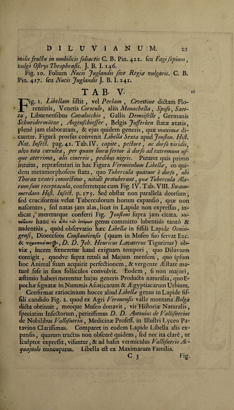 it D I L U V I A N U M. milis fruBu in umbilicis foliaceis C. B. Pin. 422. feu Fagi fepium, Vulgo OfirysTheophrafli. J. B. I. 146. Fig. 10. Folium Nucis Juglandis five Regia vulgaris. C. B» Pin. 417. feu Nucis Juglandis J. B. I. 241, TAB- v- * t L f \ Fig. 1. Libellam fiftit , vel Perlam , Cevettone didam Flo¬ rentinis , V enetis Cor oculo, aliis Monachella , ^0/0, iW/- ta , Liburnenfibus Cavalocchio , Gallis Demoifelle , Germanis Schneidermatze , Auge nfc hi effer , Belgis Jufferken ftatas astatis, plene jam elaboratam, & ejus quidem generis, quas maxima di¬ cuntur. Figura prorlus convenit Libella Sexta apxx&Jonfion. Hi A Nat. InfeB. pag. 42. Tab.IV. capite, peBore, dorfo viridis, coerulea, Une a fertur d dorfo ad extremum uf- que aterrima, cinereis , pedibus nigris. Putaret quis primo intuitu, reprasfentari in hac Figura amiculum Libella, eo qui¬ dem metamorphofeos ftatu, quo Tubercula quatuor e dorfo , Thorax ventri conneBitur, nitide protuberant, Tubercula Ala¬ rum funt receptacula, conferretque cum Fig. IV. Tab. VIII. Swam- merdam Hifi. InfeB. p. 175. Sed obftat non parallela deorfum, fed cruciformis velut Tuberculorum horum expanfio, quas non nafcentes, fed natas jam alas, licet in Lapide non expreflas, in¬ dicat ,' meretur que conferri Fig. Jonfloni fupra jam citata. Me- hanc «^0 evro^v genus committo lubentius tanto & audentius , qudd obfervatio hasc Libella in fiffili Lapide Oenin- gcnfiy Dioecefeos Conflantienfis (quam in Mufeo luo fervat Exc. 8c '7rytKnKG07UT^yD. D. Henncus Lavaterus Tigurinus) ob¬ vias , lucem feneretur haud exiguam tempori , quo Diluvium contigit , quodve fupra retuli ad Majum menfem , quo ipfum hoc Animal fiiam acquirit perfedionem, & vergente /Eftate ma¬ ture fele in fuos folliculos convolvit. Eodem , fi non majori, seftimio haberi merentur hujus generis Produda naturalia, quoE- pochas fignatas in Nummis Afiaticarum 8c dEgyptiacarum Urbium. Confirmat ratiocinium hocce aliud Libella genus in Lapide fif¬ fili candido Fig. 2. quod ex Agri Veronenfis valle montana Bolga dida obtinuit, meoque Mufeo donavit, vir Hiftorias Naturalis, fpeciatim Infedorum, peritiffimus D. D. Antonius de Valiifnerius de Nobilibus Vallifneriis, Medicinas ProfefT. in Illuftri Lyceo Pa¬ tavino Clariflimus. Comparet in eodem Lapide Libella alis ex- panfis, quarum tradus non obfcure quidem, fed nec ita clare, ut fculptor expreflit, vifimtur, & ad bafin vermiculus Vallifnerio Ac- quajuolo nuncupatus. Libella eft ex Maximarum Familia. C 3 . Fig.