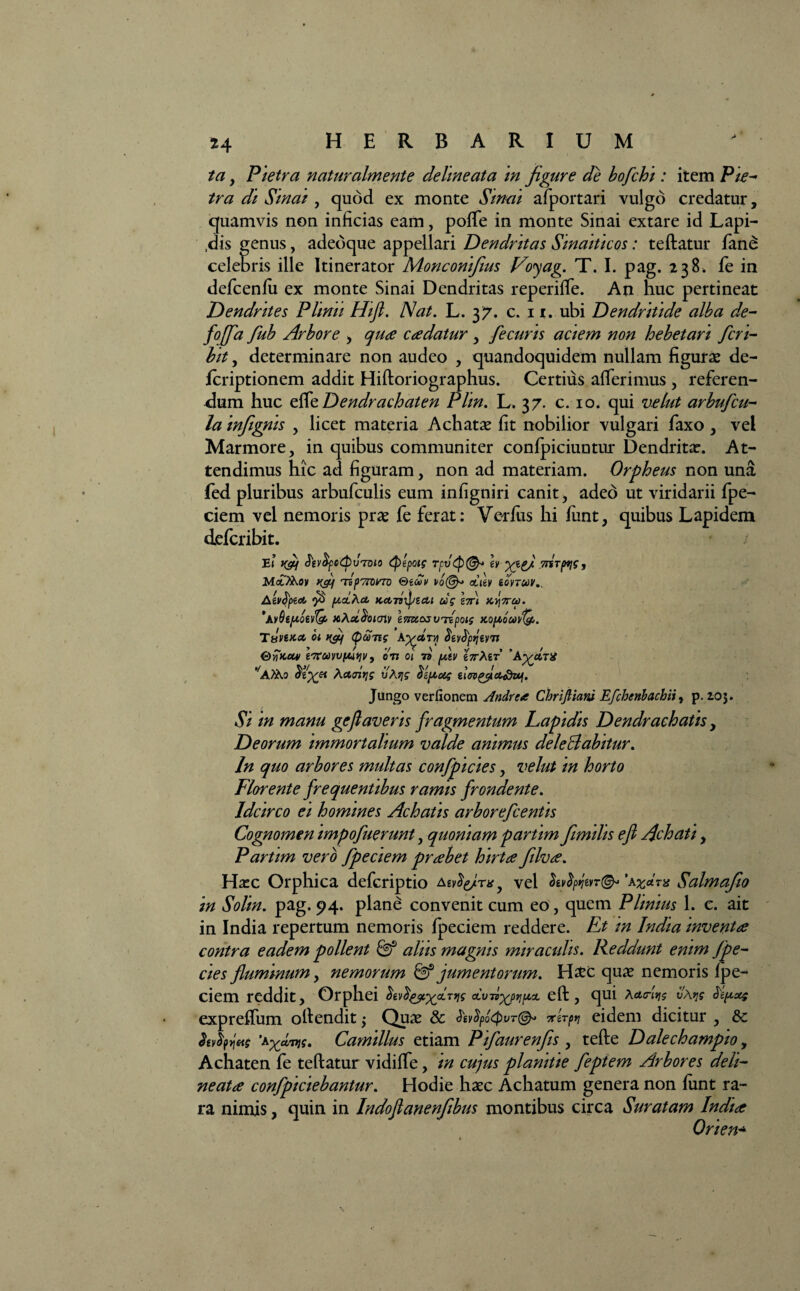 ta y Pietra naturalmente delineata in fi gure de bofchi: item Pie- tra di Sinat, quod ex monte Stnai afportari vulgo credatur, quamvis non inficias eam, poffe in monte Sinai extare id Lapi¬ dis genus, adedque appellari Dendritas Sinaiticos: teftatur fane celebris ille Itinerator Monconifius Voyag. T. I. pag. 238. fe in defcenlu ex monte Sinai Dendritas reperiffe. An huc pertineat Dendrites Plinii Hifl. Nat. L. 37. c. 11. ubi Dendritide alba de- foffa fiub Arbore > qua cadatur y fecuris aciem non hebetari feri- bit y determinare non audeo , quandoquidem nullam figurae de- Icriptionem addit Hiftoriographus. Certius afferimus , referen¬ dum huc zfttDendrachaten Plin. L. 37. c. 10. qui velut arbufeu- la infiignis , licet materia Achatae fit nobilior vulgari faxo y vel Marmore, in quibus communiter confpiciuntur Dendrita:. At¬ tendimus hic ad figuram, non ad materiam. Orpheus non una fed pluribus arbufculis eum infigniri canit, adeo ut viridarii fpe- ciem vel nemoris prae fe ferat: Verius hi iunt, quibus Lapidem deferibit. Ei Kpj fov^poCbuivto (fizpotg Tfv(p& Iv M<£?Aoy 'rip7roirro ©gaiV vo<^> cCilv tovTUV., Atvtytd, (jlclKcl tccnvipsai ug itti td]7rco. *AyQefiivQ> nAohboimv ImuosvTipoig xofioun/t#,. Tsvencc hi npp (j)a)7ig Aypohry\ Oifactu tTroovvfMqv, on oi ro fitv eVAer 'A^cltU 'APAo ActJiTjg uAqg dzfiug Jungo verfionem Andre* Chriftiarv Efchenbachii, p. 203. Si in manu gefi averis fragmentum Lapidis Dendrachatis y Deorum immortalium valde animus deleBabitur. In quo arbores multas confpicies, velut in horto Florente frequentibus ramis frondente. Idcirco ei homines Achatis arborefeentis Cognomen impofuerunt, quoniam partim fimihs efi Achati, Partim vero fpeciem prabet hirta filva. Haec Orphica deferiptio Aev^m y vel fov$pytn(& Salmafio in Solin. pag. 94. plane convenit cum eo, quem Plinius 1. c. ait in India repertum nemoris fpeciem reddere. Et in India inventa contra eadem pollent & alus magnis miracidis, Peddunt enim /pe¬ ctes fluminum y nemorum & jumentorum. H#c quae nemoris ipe- ciem reddit, Orphei oCv-n^ptjpLoi eft, qui Aac-iyg v\ yg ^epeseg expreffum otlendit $ Quae & v$po<pvT(&> leirpri eidem dicitur , 6c Mptjetg 'axdvts, Camillus etiam Pifaurenfiis , tefte Dalechampio, Achaten fe teftatur vidiffe, in cujus planitie feptem Arbores deli- neata confpiciebantur. Hodie haec Achatum genera non iunt ra¬ ra nimis, quin in Indofianenfibus montibus circa Suratam India Orien*