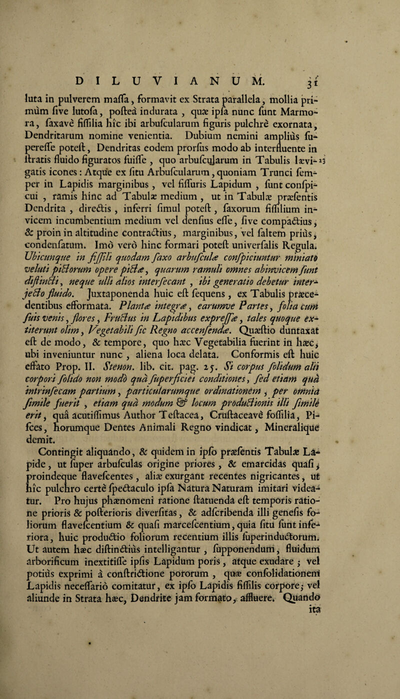 luta in pulverem maffa, formavit ex Strata parallela, mollia pri¬ mum five lutofa, poftea indurata , quae ipfa nunc fiint Marmo¬ ra , faxave fiffilia hic ibi arbufcularum figuris pulchre exornata, Dendritarum nomine venientia. Dubium nemini amplius fii^ pereffe poteft, Dendritas eodem prorfus modo ab interfluente in liratis fluido figuratos fuiffe , quo arbufcularum in Tabulis lsevi-^3 gatis icones: Atque ex fitu Arbufcularum, quoniam Trunci fem- per in Lapidis marginibus , vel fifluris Lapidum , funt confpi- cui , ramis hinc ad Tabulse medium , ut in Tabulas praefentis Dendrita , diredis , inferri fimul poteft , faxorum fimlium in¬ vicem incumbentium medium vel denfius effe, five compa&ius, & proin in altitudine contra&ius, marginibus, vel faltem prius, condenfatum. Imo vero hinc formari poteft univerfalis Regula^ Ubicunque in fiffili quodam faxo arbufcuhe confpiciuntur miniato veluti ptBorum opere piBa , quarum ramuli omnes abinvicem funt diflinBiy neque ulli alios interfecant , ibi generatio debetur inter- jeBo fluido. Juxtaponenda huic eft fequens , ex Tabulis praece¬ dentibus efformata. Pianta integra, earumve Partes, folia cum fuis venis, flores, FruBus in Lapidibus expreffa , tales quoque ex- titerunt olim, Vegetabili fic Regno accenfenda. Quaeftio duntaxat eft de modo, & tempore, quo haec Vegetabilia fuerint in haec, ubi inveniuntur nunc , aliena loca delata. Conformis eft huic effato Prop. II. Stenon, lib. cit. pag. 25. Si corpus folidum alii corpori fohdo non modo qud fuperftciei conditiones, fed etiam qua intrinfecam partium, particularumque ordinationem , per omnia fimile fuerit , etiam qud modum locum produBionis illi fimile erit, qua acutiflimus Author Teftacea, Cruftaceav£ foffilia, Pi- fces, norumque Dentes Animali Regno vindicat, Mineralique demit. Contingit aliquando, & quidem in ipfo praefentis Tabulas La¬ pide , ut fuper arbufculas origine priores , & emarcidas quafi j proindeque flavefeentes , aliae exurgant recentes nigricantes, ut hic pulchro certe fpe&aculo ipfa Natura Naturam imitari videa¬ tur. Pro hujus phaenomeni ratione ftatuenda eft temporis ratio¬ ne prioris & pofterioris diverfitas, & adferibenda illi genefis fo¬ liorum flavefeentium & quafi marcefcentium, quia fitu funt infe¬ riora, huic produ&io foliorum recentium illis luperindu&orum. Ut autem haec diftin&ius intelligantur , fupponendum, fluidum arborificum inextitifle ipfis Lapidum poris , atque exudare $ vel potius exprimi a conftri&ione pororum , quae confolidationerri Lapidis neceffario comitatur, ex ipfo Lapidis fiflilis corpore,- vel aliunde in Strata haec, Dendrite jam formato, affluere. Quando