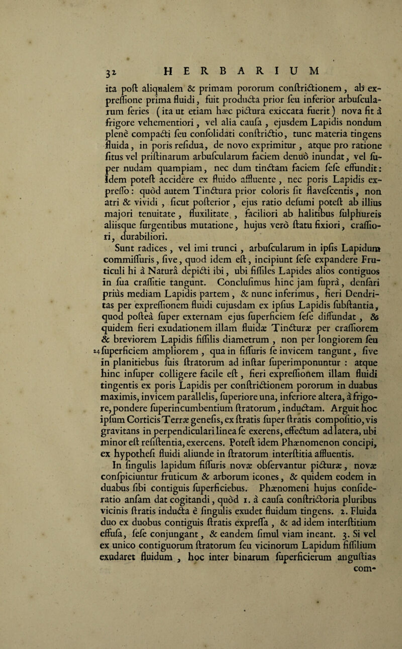 ita pod aliqualem & primam pororum condridionem, ab ex- preflione prima fluidi, fuit produda prior feu inferior arbufcula- rum feries (ita ut etiam haec pidura exiccata fuerit) nova fit d frigore vehementiori, vel alia caufa , ejusdem Lapidis nondum plene compadi feu confolidati condridio, tunc materia tingens fluida, in poris refidua, de novo exprimitur , atque pro ratione fitusvel pridinarum arbufcularum faciem denuo inundat, vel fii- per nudam quampiam, nec dum tindam faciem fele effundit: Idem poted accidere ex fluido affluente , nec poris Lapidis ex- preflo: quod autem Tindura prior coloris fit flavefcentis , non atri & vividi , ficut pofterior , ejus ratio defumi potefl: ab illius majori tenuitate , fluxilitate , faciliori ab halitibus fiilphureis aliisque fiirgentibus mutatione, hujus vero ftatu fixiori, craflio- ri, durabiliori. Sunt radices , vel imi trunci , arbufcularum in ipfis Lapidum commifliiris, five, quod idem ed, incipiunt fefe expandere Fru- ticuli hi a Natura depidi ibi, ubi fifliles Lapides alios contiguos in fua craffitie tangunt. Conclufimus hinc jam fupra, denfari prius mediam Lapidis partem , & nunc inferimus, fieri Dendri- tas per expreffionem fluidi cujusdam ex ipfius Lapidis fubdantia, quod poftea fiiper externam ejus fuperficiem fefe diffundat , 80 quidem fieri exudationem illam fluidas Tindurae per crafliorem Sc breviorem Lapidis fiflilis diametrum , non per longiorem feu 14 fuperficiem ampliorem , qua in fiffuris fe invicem tangunt, five in planitiebus fuis liratorum ad indar fuperimponuntur : atque hinc infuper colligere facile efl:, fieri expreffionem illam fluidi tingentis ex poris Lapidis per condridionem pororum in duabus maximis, invicem parallelis, fuperiore una, inferiore altera, a frigo¬ re, pondere fuperincumbentium Aratorum, indudam. Arguit hoc ipfum Corticis Terras genefis, ex Aratis fiiper Aratis compofitio, vis gravitans in perpendiculari linea fe exerens, effedum ad latera, ubi minor ed refidentia, exercens. Poted idem Phaenomenon concipi, ex hypothefi fluidi aliunde in Aratorum interAitia affluentis. In fingulis lapidum fiffuris novae obfervantur pidurae, novae confpiciuntur fruticum & arborum icones, & quidem eodem in duabus fibi contiguis fuperficiebus. Phaenomeni hujus confide- ratio anfam dat cogitandi, quod 1. a caufa conAridoria pluribus vicinis Aratis induda e fingulis exudet fluidum tingens. 2. Fluida duo ex duobus contiguis Aratis exprefla , & ad idem interAitium effufa, fefe conjungant, & eandem fimul viam ineant. 3. Si vel ex unico contiguorum Aratorum feu vicinorum Lapidum fiflilium exudaret fluidum , hoc inter binarum fuperficierum angullias com-