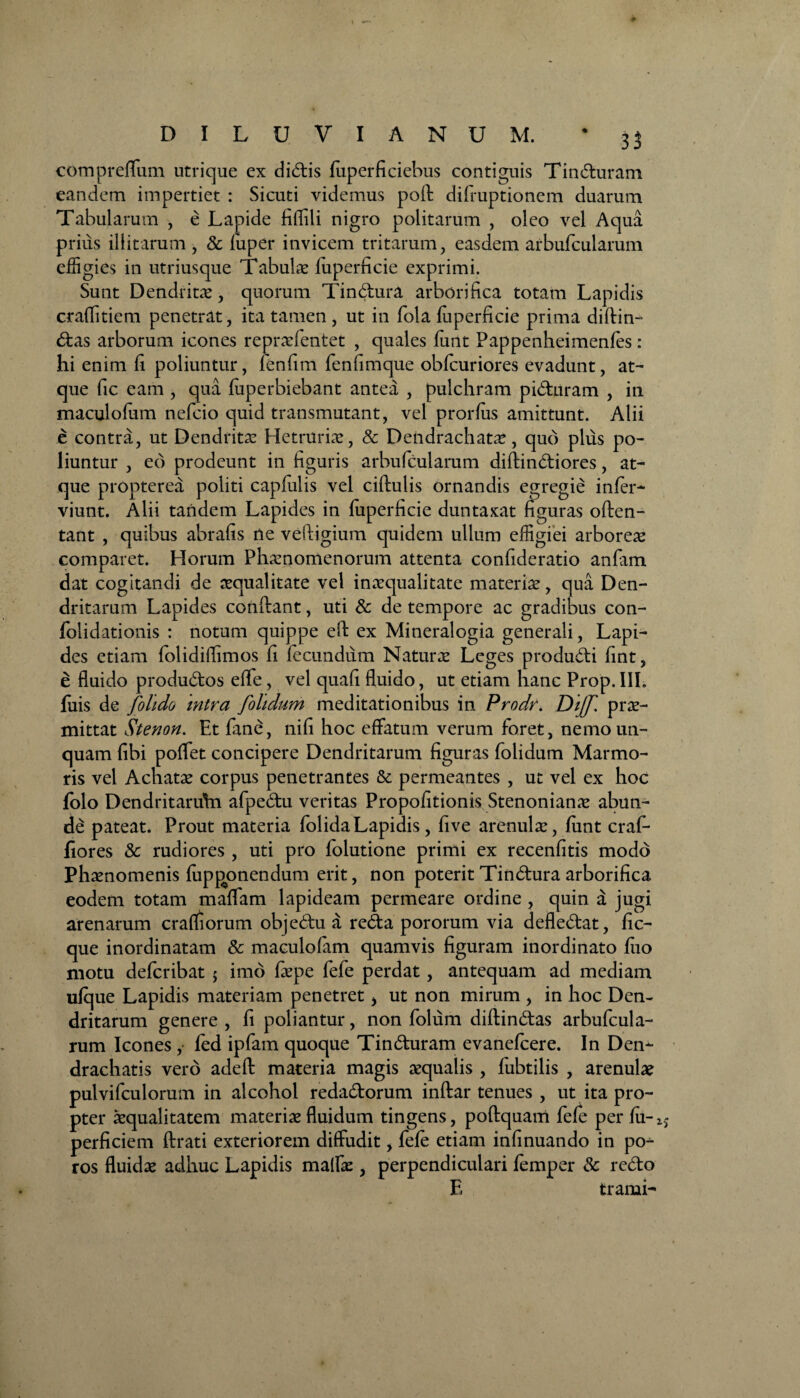 compreffum utrique ex didis luperficiebus contiguis Tinduram eandem impertiet : Sicuti videmus poft difruptionem duarum Tabularum , e Lapide fiflili nigro politarum , oleo vel Aqua prius illitarum , 8c fuper invicem tritarum, easdem arbufcularum effigies in utriusque Tabula liiperficie exprimi. Sunt Dendritae, quorum Tinctura arborifica totam Lapidis craffitiem penetrat, ita tamen, ut in fola fuperficie prima diftin- das arborum icones repraefentet , quales funt Pappenheimenfes: hi enim fi poliuntur, fenfim fenfimque obfcuriores evadunt, at¬ que fic eam , qua fiiperbiebant antea , pulchram pidiiram , in maculofum nefcio quid transmutant, vel prorfiis amittunt. Alii e contra, ut Dendritae Hetruriar, & Dendrachatae, quo plus po¬ liuntur , eo prodeunt in figuris arbufcularum diftindiores, at¬ que propterea politi capfiilis vel ciftulis ornandis egregie infer- viunt. Alii tandem Lapides in fuperficie duntaxat figuras often- tant , quibus abrafis ne veftigium quidem ullum effigiei arboreae comparet. Horum Phaenomenorum attenta confideratio anfam dat cogitandi de aequalitate vel inaequalitate materiae, qua Den- dritarum Lapides conflant, uti & de tempore ac gradibus con- folidationis : notum quippe eil ex Mineralogia generali, Lapi¬ des etiam folidiflimos fi fecundum Naturae Leges produdi fint, e fluido produdos effe, vel quafi fluido, ut etiam hanc Prop. III. fuis de [olido intra [olidum meditationibus in Prodr. DiJ[ prae¬ mittat Stenon. Et fane, nifi hoc effatum verum foret, nemo un¬ quam fibi poffet concipere Dendritarum figuras folidum Marmo¬ ris vel Achatae corpus penetrantes & permeantes , ut vel ex hoc folo Dendritaruhi afpedu veritas Propofitionis Stenonianae abun¬ de pateat. Prout materia folidaLapidis, five arenulae, funt craf- fiores & rudiores , uti pro folutione primi ex recenfitis modo Phaenomenis fiipgonendum erit, non poterit Tindura arborifica eodem totam maffam lapideam permeare ordine , quin a jugi arenarum craffiorum objedu a reda pororum via defledat, fic- que inordinatam & maculofam quamvis figuram inordinato fuo motu defcribat $ imo fiepe fefe perdat, antequam ad mediam ufque Lapidis materiam penetret * ut non mirum , in hoc Den¬ dritarum genere , fi poliantur, non folum diftindas arbufcula¬ rum Icones , fed ipfam quoque Tinduram evanefcere. In Den- drachatis vero adefl materia magis aqualis , fubtilis , arenulae pulvifculorum in alcohol redadorum inftar tenues , ut ita pro¬ pter Aequalitatem materiae fluidum tingens, poftquam fefe per fu- perficiem ftrati exteriorem diffudit, fefe etiam infinuando in po^ ros fluidae adhuc Lapidis maffae, perpendiculari femper & redo E trarui-