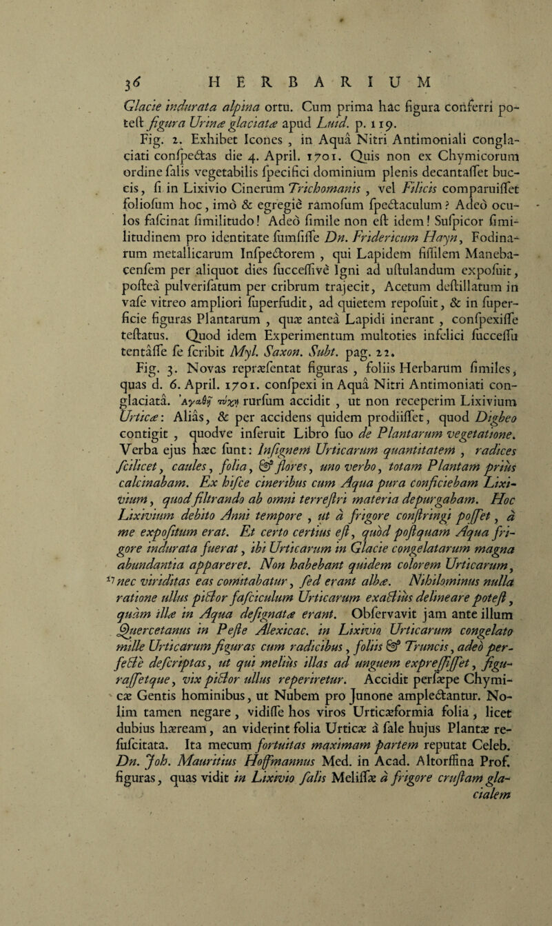 Glacie 'indurata alpina ortu. Cum prima hac figura conferri po- tefl: figura Urina glaciat re apud Luid. p. 119. Fig. 2. Exhibet Icones , in Aqua Nitri Antimoniali congla¬ ciati confpedtas die 4. April. 1701. Quis non ex Chymicorum ordine falis vegetabilis fpecifici dominium plenis decantafifet buc¬ cis , fi in Lixivio Cinerum Trichomanis , vel Filicis comparuiffet foliofiim hoc, imo & egregie ramofum fpedtaculum ? Adeo ocu¬ los fafcinat fimilitudo! Adeo fimile non eft idem! Sufpicor fimi- litudinem pro identitate lumfiiTe Dn. Fridericum Hayn, Fodina-^ rum metallicarum Infpedlorem , qui Lapidem fifiilem Maneba- cenfem per aliquot dies fucceffive Igni ad uftulandum expoiuit, poftea pulverifatiim per cribrum trajecit, Acetum deftillatum in vafe vitreo ampliori fiiperfudit, ad quietem repofuit, & in fuper- ficie figuras Plantarum , quae antea Lapidi inerant , confpexiffe teftatus. Quod idem Experimentum multoties infelici fucceffu tentaflfe fe fcribit Myl. Saxon. Subt. pag. 22* Fig. 3. Novas repraefentat figuras , foliis Herbarum fimiles, quas d. 6. April. 1701. confpexi in Aqua Nitri Antimoniati con¬ glaciata. ’Ayctrurfum accidit , ut non receperim Lixivium Urtica: Alias, 8c per accidens quidem prodiiffet, quod Digbeo contigit , quodve inferuit Libro fuo de Plantarum vegetatione. Verba ejus haec funt: Infignem Urticarum quantitatem , radices fcilicet, caules, folia, & flores, uno verbo, totam Plantam prius calcinabam. Ex hifce cineribus cum Aqua pura conficiebam Lixi¬ vium , quodfiltrando ab omni terrefln materia depurgabam. Hoc Lixivium debito Anni tempore , ut a frigore conflringi poffet, a me expofiitum erat. Et certo certius efl, quod poflquam Aqua fri¬ gore indurata fuerat, ibi Urticarum in Glacie congelatarum magna abundantia appareret. Non habebant quidem colorem Urticarum, nec viriditas eas comitabatur, fed erant alb^e. Nihilominus nulla ratione ullus piBor fafciculum Urticarum exa&ius delineare potefl, quam iliie in Aqua deflignctt# erant. Obfervavit jam ante illum ffiuercetanus in Pefte Alexicac. in Lixivio. Urticarum congelato mille Urticarum figuras cum radicibus, foliis & Truncis, adeo per- feSe defcriptas, ut qui melius illas ad unguem expreffiffet, figu- rajfietque, vix piBor ullus reperiretur. Accidit perfaepe Chymi- cae Gentis hominibus, ut Nubem pro Junone ample&antur. No¬ lim tamen negare, vidiffe hos viros Urticaeformia folia * licet dubius haeream, an viderint folia Urticae a fale hujus Plantae re- lufcitata. Ita mecum fortuitas maximam partem reputat Celeb. Dn. Joh. Mauritius Hoffmannus Med. in Acad. Altorffina Prof. figuras, quas vidit in Lixivio falis Meliffae a frigore cruflam gla¬ cialem