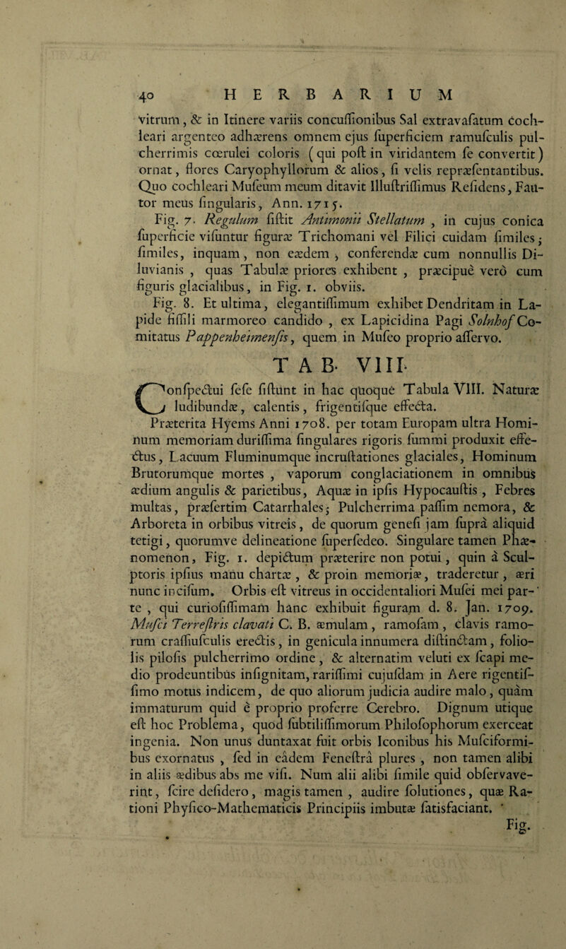 vitrum, & in Itinere variis concuflionibus Sal extravafatum Coch¬ leari argenteo adherens omnem ejus fuperficiem ramufculis pul¬ cherrimis coerulei coloris (qui poft in viridantem fe convertit) ornat, flores Caryophyllorum & alios, fi velis repraefentantibus. Quo cochleari Mufeum meum ditavit llluftriflimus Refidens, Fau¬ tor meus lingularis, Ann. 1715. Fig. 7. Regulum fiftit Antimonu Stellatum , in cujus conica fuperficie vifuntur figurae Trichomani vel Filici cuidam fimilesj fimiles, inquam, non eaedem > conferendae cum nonnullis Di- luvianis , quas Tabulx priores exhibent , praecipue vero cum figuris glacialibus, in Fig. 1. obviis. Fig. 8. Et ultima, elegantiflimum exhibet Dendritam in La¬ pide filTili marmoreo candido , ex Lapicidina Pagi Solnhof Co¬ mitatus P appenheimenfis, quem in Mufeo proprio aflfervo. T A B- VIIL Confpedtui fefe fiftiint in hac quoque Tabula VIII. Naturae ludibundae, calentis , frigentifque effedta. Praeterita Hyems Anni 1708. per totam Europam ultra Homi¬ num memoriam duriffima lingulares rigoris fummi produxit effe- dtus, Lacuum Fluminumque incruftationes glaciales, Hominum Brutorumque mortes , vaporum conglaciationem in omnibus aedium angulis & parietibus, Aquae in ipfis Hypocauftis , Febres multas, praefertim Catarrhales$ Pulcherrima paflim nemora, & Arboreta in orbibus vitreis, de quorum genefi jam lupra aliquid tetigi, quorumve delineatione fuperfedeo. Singulare tamen Phae¬ nomenon, Fig. 1. depi&um praeterire non potui, quin a Scul¬ ptoris ipfius manu chartae , & proin memoriae, traderetur , aeri nunc inciluiru Orbis eft vitreus in occidentaliori Mulei mei par-' te , qui curiofiflimam hanc exhibuit figuram d. 8. Jan. 1709. Mufct Terreftns clavati C. B. aemulam, ramofam , clavis ramo¬ rum cralfiufculis eredtis, in genicula innumera diftindfam , folio¬ lis pilofis pulcherrimo ordine, & alternatim veluti ex Icapi me¬ dio prodeuntibus infignitam, rarilfimi cujufdam in Aere rigentifi- fimo motus indicem, de quo aliorum judicia audire malo, quam immaturum quid e proprio proferre Cerebro. Dignum utique efl: hoc Problema, quod lubtililfimorum Philofophorum exerceat ingenia. Non unus duntaxat fuit orbis Iconibus his Mufciformi- bus exornatus , fed in eadem Feneftra plures , non tamen alibi in aliis sedibus abs me vifi. Num alii alibi fimile quid obfervave- rint, fcire defidero , magis tamen , audire folutiones, quae Ra¬ tioni Phyfico-Mathematicis Principiis imbutae fatisfaciant.