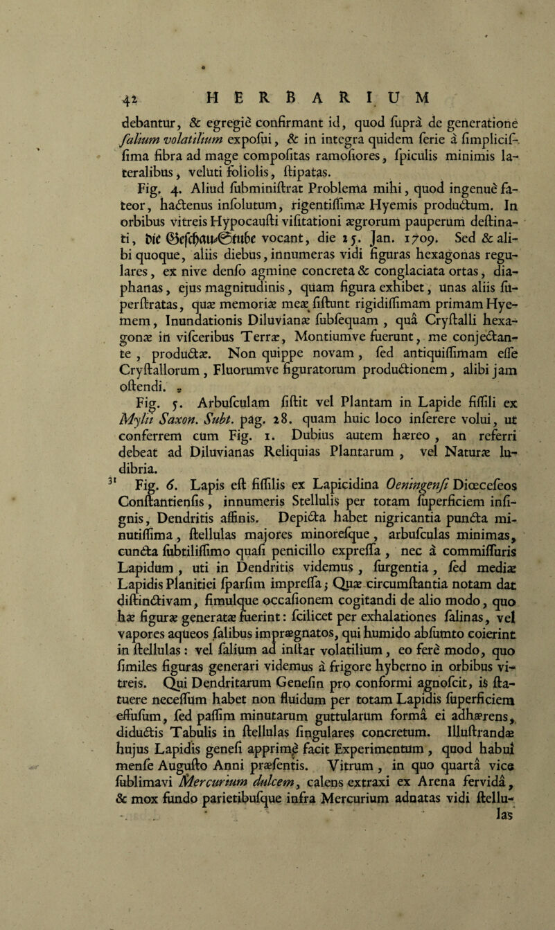 4* HERBARIUM debantur, & egregie confirmant id, quod fiipra de generatione falium volatilium expolui, & in integra quidem ferie a fimplicif* fima fibra ad mage compofitas ramofiores, fpiculis minimis la¬ teralibus > veluti foliolis, ftipatas. Fig. 4. Aliud fubminiftrat Problema mihi, quod ingenue fa¬ teor, haCtenus infolutum, rigentiflim# Hyemis produ&um. In orbibus vitreis Hypocaufti vifitationi #grorum pauperum deftina- ti, ©efc^U^@ttl6e vocant, die 25. Jan. 1709. Sed & ali¬ bi quoque, aliis diebus, innumeras vidi figuras hexagonas regu¬ lares , ex nive denfo agmine concreta & conglaciata ortas, dia- phanas, ejus magnitudinis, quam figura exhibet, unas aliis fti- perftratas, qu# memori# me# fiftunt rigidiflimam primam Hye- mem , Inundationis Diluvian# fubfequam , qua Cryftalli hexa- gon# in vifceribus Terr#, Montiumve fuerunt, me conjectan¬ te , produCt#. Non quippe novam, fed antiquiflimam effe Cryftallorum , Fluorumve figuratorum produ&ionem, alibi jam oftendi. « Fig. 5. Arbufculam fiftit vel Plantam in Lapide fiflili ex Myhi Saxon. Subt. pag. 28. quam huic loco inferere volui, ut conferrem cum Fig. 1. Dubius autem h#reo , an referri debeat ad Diluvianas Reliquias Plantarum , vel Natur# lu-* dibria. Fig. 6. Lapis eft fiffilis ex Lapicidina Oeningenfi Dicecefeos Conftantienfis, innumeris Stellulis per totam fuperficiem infi- gnis, Dendritis affinis. DepiCta habet nigricantia punCta mi- nutiflima, ftellulas majores minorefque, arbufculas minimas, cunCta fubtiliflimo quafi penicillo exprelfa , nec a commifluris Lapidum , uti in Dendritis videmus , furgentia, fed medi# Lapidis Planitiei fparfim impreffa* Q11# circumflantia notam dat diftin&ivam, fimulque occafionem cogitandi de alio modo, quo h# figur# generat# fuerint: fcilicet per exhalationes falinas, vel vapores aqueos falibus impraegnatos, qui humido abfumto coierint in ftellulas : vel falium ad inllar volatilium, eo fere modo, quo fimiles figuras generari videmus a frigore hyberno in orbibus vi¬ treis. Qui Dendritarum Genefin pro conformi agnofcit, i$ fta- tuere necelfum habet non fluidum per totam Lapidis fuperficiem effufiim, fed paflim minutarum guttularum forma ei adhaerens * diduCtis Tabulis in ftellulas lingulares concretum. Illuftrand# hujus Lapidis genefi apprimre facit Experimentum , quod habui menfe Augufto Anni praefentis. Vitrum , in quo quarta vice fublimavi Mercurium dulcem, calens extraxi ex Arena fervida, Sc mox fundo parietibufque infra Mercurium adnatas vidi ftellu¬ las