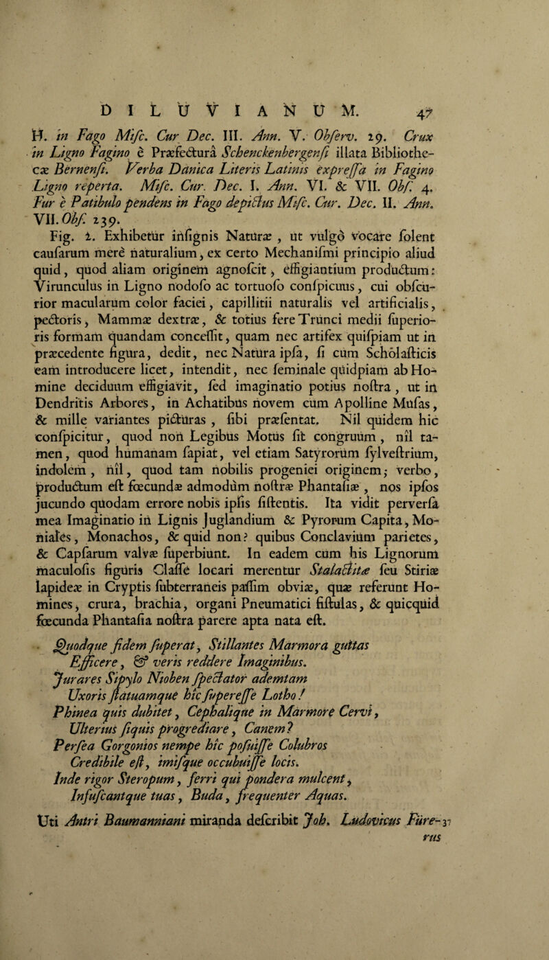 H. in Fago Mifc, Cur Dec, HI. Ann. V. Obferv. 29. Crux in Ligno Fagino e Praefectura Schenckenbergenfi illata Bibliothe¬ cae Bernenfi. Verba Danica Literis Latinis expreffa in Fagino Ligno reperta. Mifc. Cur. Dec, I. Ann. VI. & VII. Obf 4. e Patibulo pendens 'tn Fago depicius Mifc, Car. Ztec. II. VII. 0^/ 239» Fig. 1. Exhibetur infignis Naturae , ut vulgd vocare folent caufarum mere naturalium, ex certo Mechanifmi principio aliud quid, quod aliam origineiri agnoteit, effigiantium produ&um: Virunculus in Ligno nodolo ac tortuote confpicuus, cui obfcu- rior macularum color faciei, capillitii naturalis vel artificialis, pedoris, Mammae dextrae, Sc totius fere Trunci medii foperio- ris formam quandam conceflit, quam nec artifex quifpiam ut in praecedente figura, dedit, nec Natura ipfa, fi cum Scholafticis eam introducere licet, intendit, nec feminale quidpiam ab Ho¬ mine deciduum effigiavit, ted imaginatio potius noftra , ut in Dendritis Arbores, in Achatibus novem cum Apolline Mufas, & mille variantes piduras , fibi praetentat. Nil quidem hic confpicitur, quod non Legibus Motus fit congruum , nil ta¬ men, quod humanam fapiat, vel etiam Satyrorum fylveftrium, indolem , riil, quod tam nobilis progeniei originem; verbo, produdum eft fcecundse admodum noftrae Phantafiae, nos ipfos jucundo quodam errore nobis ipfis fiftentis. Ita vidit perverte mea Imaginatio iri Lignis Juglandium & Pyror-um Capita, Mo- niates, Monachos, & quid non? quibus Conclavium parietes, & Capfarum valvae fiiperbiunt. In eadem cum his Lignorum maculofis figuris Clalfe locari merentur Stala$it<e teu Stiriae lapideae in Cryptis lubterrarieis paffim obvia:, quae referunt Ho¬ mines, crura, brachia, organi Pneumatici fiftulas, & quicquid fecunda Phantafia noftra parere apta nata eft. Quodque fidem fuperat, Stillantes Marmora guttas Efficere, veris reddere Imaginibus. Jurares Sipylo Nioben fpeclator ademtam Uxoris Jlatuamque hic fuperejfe Lotho ! Phinea quis dubitet, Cephaliqne in Marmore Cervi, Ulterius fiquis progrediar e, Canem ? Perfea Gorgonios nempe hic pofuiffe Colubros Credibile eft, imifque occubuijje locis. Inde rigor Steropum, ferri qui pondera mulcent, Infufcantque tuas, Buda, frequenter Aquas, Uti Antri Baumanniani miranda deferibit Joh, Ludovims Fiire- 3 r rus