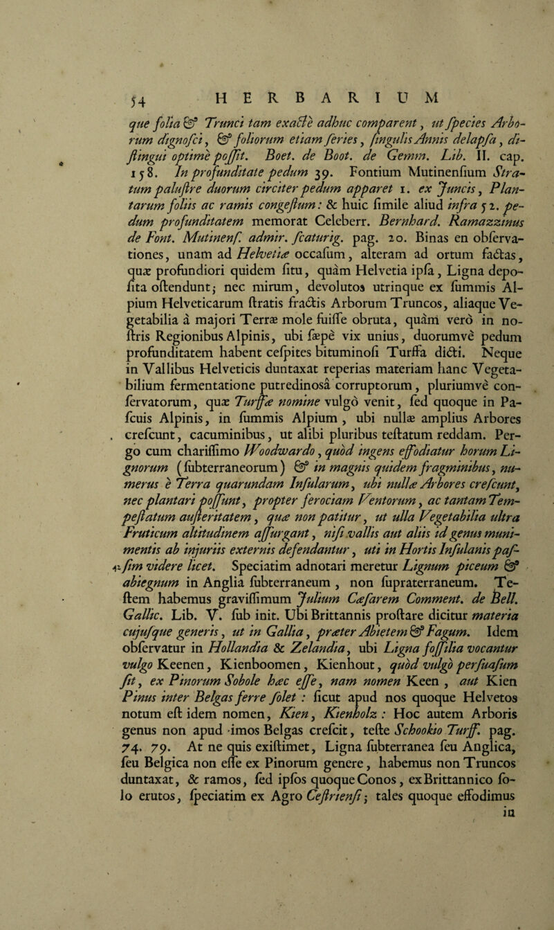 que folia @ Trunci tam exaBe adhuc comparent, ut fpecies Arbo¬ rum dignofci, & foliorum etiam feries, fingidis Annis delapfa, d/- flingui optime pojfit. Boet. */<? Boot. de Gemm. Lib. II. cap. 158. In profunditate pedum 39. Fontium Mutinenfium palufire duorum circiter pedum apparet 1. ex Juncis, Plan¬ tarum foliis ac ramis congejlum: & huic fi mile aliud infra 52. profunditatem memorat Celeberr. Bernhard. Ramazzinus de Font. Mutinenf admir. fleatur'tg. pag. 20. Binas en obferva- tiones, unam ad Helvetia occafum , alteram ad ortum fadas, quae profundiori quidem litu, quam Helvetia ipfa, Ligna depo- fita offendunt; nec mirum, devolutos utrinque ex luminis Al¬ pium Helveticarum ftratis fradis Arborum Truncos, aliaque Ve¬ getabilia a majori Terrae mole fiiifle obruta, quam vero in no- ftris Regionibus Alpinis, ubi faepe vix unius, duorum ve pedum profunditatem habent cenites bituminofi Turlfa didi. Neque in Vallibus Helveticis duntaxat reperias materiam hanc Vegeta¬ bilium fermentatione putredinosa corruptorum , plurium ve con- lervatorum, quae Turffa nomine vulgo venit, fed quoque in Pa- fcuis Alpinis, in fummis Alpium , ubi nullae amplius Arbores . crefcunt, cacuminibus, ut alibi pluribus teftatum reddam. Per¬ go cum chariflimo Woodwardo, quod ingens effodiatur horum Li¬ gnorum (lubterraneorum) fef in magnis quidem fragminibus, nu¬ merus e Terra quarundam Infularum, ubi nulla Arbores crefcunt, nec plantari poffunt, propter ferociam Ventorum, ac tantamTem- peflatum aufleritatem, qua non patitur, ut ulla Vegetabilia ultra Fruticum altitudinem affurgant, ni fuvallis aut aliis id genus muni¬ mentis ab injuriis externis defendantur, uti in Hortis Influlanispafl- 41 fm videre licet. Speciatim adnotari meretur Lignum piceum abiegnum in Anglia lubterraneum , non fupraterraneum. Te- ftem habemus graviflimum Julium Cafarem Comment. de Bell Gallic. Lib. V. lub init. Ubi Brittannis proftare dicitur materia cujufque generis, ut in Gallia, prater Abietem & Fagum. Idem oblervatur in Hollandia & Zelandi a, ubi Ligna foffilia vocantur vulgo Keenen, Kienboomen, Kienhout, quod vulgo perfuafum fit, ex Pinorum Sobole hac effe y nam nomen Keen , aut Kien Pinus inter Belgas ferre folet : ficut apud nos quoque Helvetos notum eft idem nomen, Kieny Kienholz : Hoc autem Arboris genus non apud imos Belgas crefcit, tefte Schookio Turff. pag. 74. 79. At ne quis exiftimet, Ligna lubterranea feu Anglica, leu Belgica non elte ex Pinorum genere, habemus non Truncos duntaxat, & ramos, led iplos quoque Conos, exBrittannico lo- lo erutos, fpeciatim ex Agro Ceftrienfi, tales quoque effodimus in